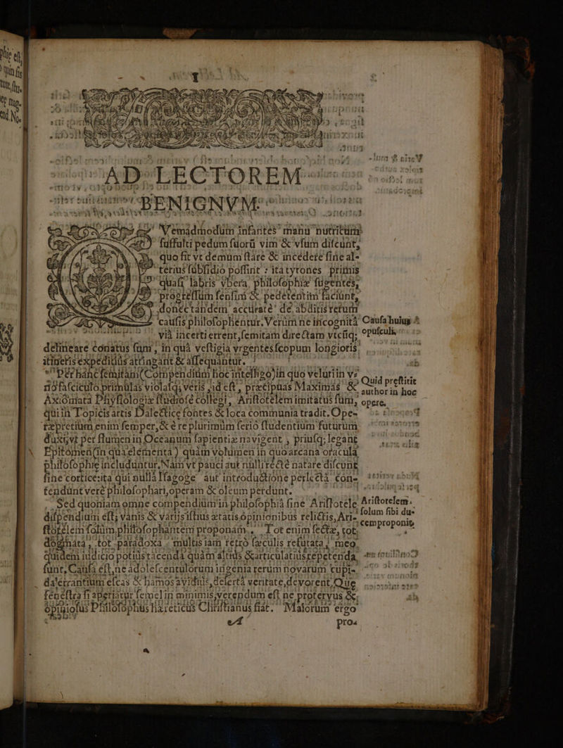 AD. LECTOREM- SBENIGNVM:: ütr£) so) b IV q.d ffl: SER forü vim &amp; vfum dione NS » quo fit vt demum fláre &amp; incedere fite al É I terusfübfidio poffint : itatytones primis quafz labris vbera, pbilofophiz füzentes, Pprogreffum ! fénfini &amp; pedetentim. Bclünt, donec tandérn. accurate de, abditis retur 'caufis phillofophennir. Verüm ne ificognità : vià iáücertierrent,femitam direCtam vtcíiq: delitieare conatus (um , in quà veftigia vrgentes fcopum longioris; itineris éxpeditiüs. attingant &amp; affequantut. Peérhanc feinitàni( Compen dítim hoc intelligo)ih quo veluriin v7 ij fafeiculo primulas violafq; veris jid cft, praecipuas Maximás &amp; Axióniata Phiyfiologix (todrofé collegi, Atifictelem imitatus für, quiin Topicis. artis Dilettice fontes &amp; loca communia tradit. Ope- fxpretiüm enim femper, &amp; é re plurimum ferio fludentium futurum daüxivt pet flumeni in Occanum lapientizr navigent , priufq; levant Epitomeü(in quaelementa ) quát: volumen ii quoarcana olaculà philofophie includuntur,Nám vt pauci dut nülliré&amp;te natare difcunte fie corticesita qui nullálfagoge áut introductione perlcétà cone tendunt vere philofophari, operam &amp; oleum perdunt. Sed quoniam omne compendiümin philofophià (ine Arillotele difpendium éft; vanis &amp; vàrijsifTius xtatis ópinionibüs relictis, Ari-. ftofélem folüm, philofophantem proponám. , lotenim fedt, tot; inh tot-paradoxa . multis iam ferro (culis refutat, | meo.  | funt, Caufa eft,neadolefcentulorum irigenia rerüm novarum cupi. da'érrantium efcas &amp; bà imos avidius, d defert veritate, devorent, Que fénéflra fi apetiatur feimelirn minimis verendum eft ne proteryus R Spüpiofüs Pt itlofophis lizreticus Chibi ianus fiat. Malorum ergo e/1 proa Quid Ps author in hoc opere. folum fibi du« cem proponig