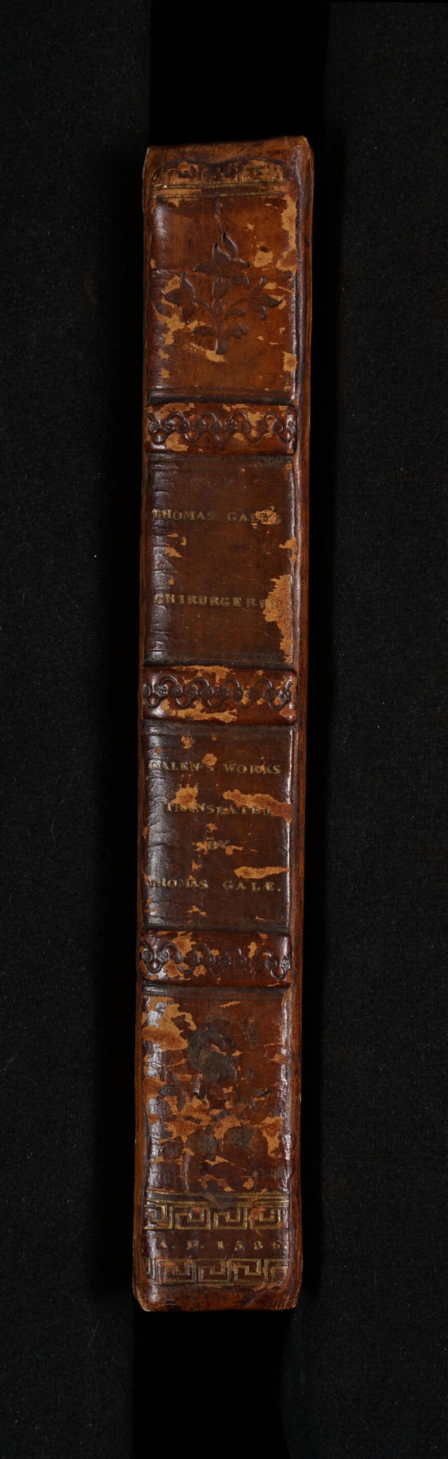 No text description is available for this image