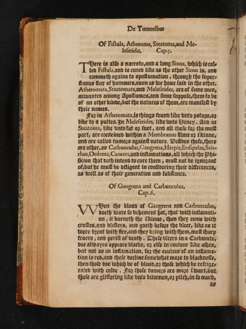 Of Fiftula, Atheroma, Steatoma,and Me- leferidis, Cap.5. ere ts alfo a narrow,and a long Sinus, twhich iscale OA fed Fifula,and ts cured like as the otber Sinus is, ans ¢ommeth againe fo apofumation , though the tapers finous flur of bumours,cuen as toe baue (aid in the otber. Atheromata,Steatomata,and Melefirides, are-of fome men, accounted ainong Apoames,and fome (uppole,thent fo be of an other kinde, bat the natures of them,are manifed by their names, 30) in Atheromata,ts things found tike onto potage,o:: itke fo 4 pulfes.gn Meleferides, like vnfo Boney. And i Steatoma, tke bntofat ο) fet, and all fhele for the mo part, are comteined within a Membranus filme ο) {kinne, and are called fumozs again€ nature. Weffdes thefe,there are ofber,as Carbunculus,Gangrena, Herpis, Erifipelas,Scre rhus,Ocedema, Cancers,and inflamations, all tobich the 1904, ficion that toth infend fo cure them, maf not be tanozant ofjbutbe mut be otligent tn confioering (δείς differences, as Well.as of their generafion and fubfance, Of Gangrena and Carbunculus, Cap.6, Ben the bloud of Gangrena and Carbunculus, VV σον ware fo bebement hot, that with inflamatis on, it burneth the Ckinne, then they come with cruffes,and bliffers, and qoeth before the bicer, like as it were bent toith fire, and they bring with them, mol harp feucrs , and perill of death. Dhele bicers ina Carbuncle, due aliwapes appeare blacke, 02 ele in coulour like afbes, buf ποί as an tnflamation, {ου the coulour of an inflamac fion is red, and thefe decline fome what moze fo blacknefle, fhen (hole doc which be of bloud,o2 thofe iwhich be refriges rafed {with colbe . {ο} thole tumozs are nio2e {Martjbug. thele are glifering like bnfo bitamen,o: pitch,in fo mach, | ag