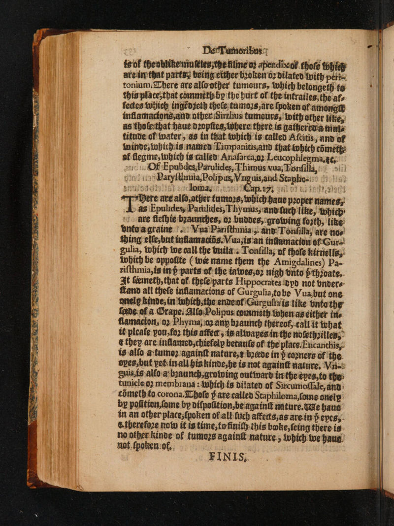 - ων ο. ον εν ny rg ts ” ~~ ιν. ne = , ( eT umoribus:: feof theoblikenintles;thefiline od apendicoe thote 18] arcimthat parts, being etther bioken'o2 dilated thith Ρέι tonium, 2Dhere are allootier fumours, twhich belongeth (6 this place;tbat commetbp the burt of the intratles, the afs foctes tubicl tngrozeth thete; tumozs,are (poken of athonalt inflamactond,ane other Sirshus tumours, toith other Wke, as thofe:that haue d2opficg, where there.is gatherova ties titude of twater, as tn that tobich is:called Afutis.; anv of ininde; iobich:is named Tampanitisand that ivbich δις of fieqme, which ts called: Anafarca,o2 Leucophlegma,g¢;.” orcs. OF Epulides,Parulides, Thimus vua; Ponfilla,? ο) «οἱ asDaryfthmia,Polipas, Vinguis,and: Staphiesi: / srpadiie {Riad ‘loma; lett: Cap.173 (As OF GF3RG Sisci ry Bere are alfo,other fumozg, which-haue proper names, 2 ἃ5 Epulidesy Parilides; Thy mus; ano tach lite, which '. ate flethte bgaunches, 02 buddes, growing foyth, like: butoagraine | 2° Vua'Parifthinia:, any Tonfilla, are nos’ sing elfe,but infamaciis.Vua;is'an thtamacion of Οκ’ gulia, tobich toe call the buila:s Tonfilla; of thofe kirnells;- Inbith be oppotite ( tose mame them the Amigdalines) Pa- sifthmia,is in-p-parts of: the tatwes;o2 Nigh Dnto pthioate,. He (emeth, that of theleparts Hippocrates ‘nyo not bndere- Hand all thefe inflamacions of Gurguliagobe Vuabut sng onely kinde; tr whith,the endeot'Guroulivis like vntothe fede. of α Orape. Alfo-Polipus: coummeth when ag either tre flamacton, ο) Phyma}io2 any bzaunch thereof,-callit what tf pleate pou,fo2 this after , is altvapesin the nofethsilles,: ¢ they are inflamed,chiefely betaute of the place:Encanthis,. is alfo a-tumoz-againt nature,¢ boeede inp comers of the. eves, but peé-itrall biskinde,be is not ayaint nature, Vier gusts allo a beaunch,grotwing outivard irethe epes,to the: tunicle.o2 membrana : which ts dilated of Sitcumoflale, ang cometh £0 corona. Zhofe $ are called Staphiloma,fome onelp’ by pofition,fome by difpofition,be again nature.vae baue- tt an other place;(poken of.all (uch affets as are.in Peves,- e.therefoze notu it is time, to finith: this boke, fetng there is: no ofber kinde of tumozs again&amp; nature, which. te baug. not. fpoteens:of, FINIS,.