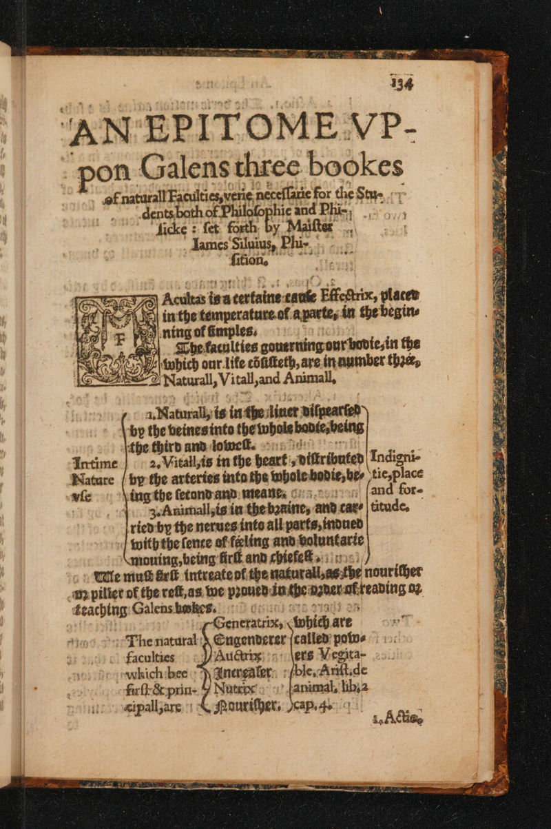 | 134 ‘AN EPITOME VP- - pon Galens three bookes ‘of natarall Faculties, verie neceflanie for the Stays... ~~ dents bath of Philofophie and Phi-, ο μάς: fet: forth: by Maifter nl | - James‘Siluius, Phir. - Ποπ, is ο ιὁ | * =&gt; Acultas toa certaine-cante Effettrix, places inthe temperature of aparte, in the begine + ning of Emples, : ἂν be faculties gousrningourboviestn the Bel Mabich onr Lite cotteth, are inapmber thee, 9) Natural, Vitall,and Animal, a,Maturall, is inthe liner Bifpearted \ ‘bp the beinesinto the twbole banie;being the third and dower. cnn di Intime |» 2. Vitalis in the beart:,diftributed | Indigni- Wature | by the arteries inte the wholebovie, ber tic,place whe ing the econdand:wieatits ο στι η [and fore τος νι geAmimhallyis te thebanine, and cate | titude, ried by the nerues inte all parts, frdued [ttt fence of feling and oluntaric motitn, being fir and chiefe® ss tr: Wile πιαᾶ Gelt intreateof the naturall,aethe nourither mp pilier of the reft,as we proucnduthemznerafteabing o2 éeachtng: Galensibeskess ο win Pig) on LER EIEENN Ve Ε / 2 ba : ελ η x ΄”. “Phe natural: ο: faculties swhich:bee : ’ πι &amp; prin- αρα] ας ic ’ anual,’ lib,2 ο ο a ae