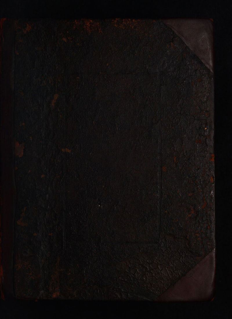 No text description is available for this image