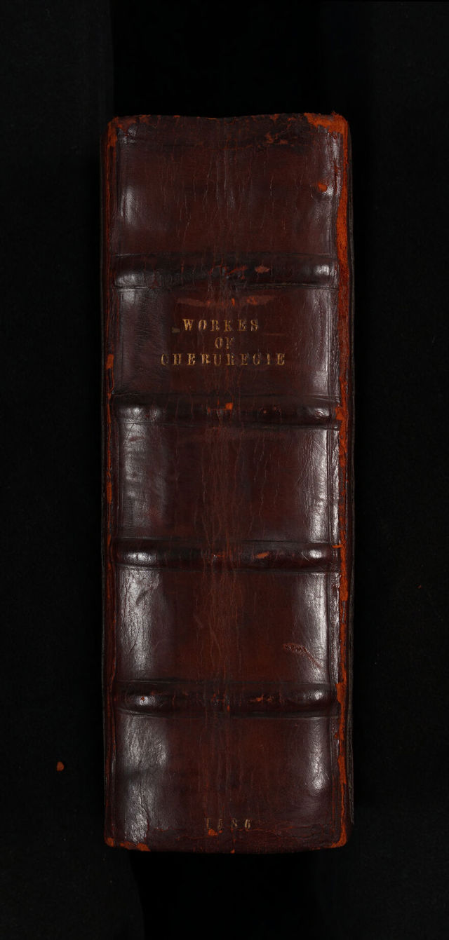 No text description is available for this image