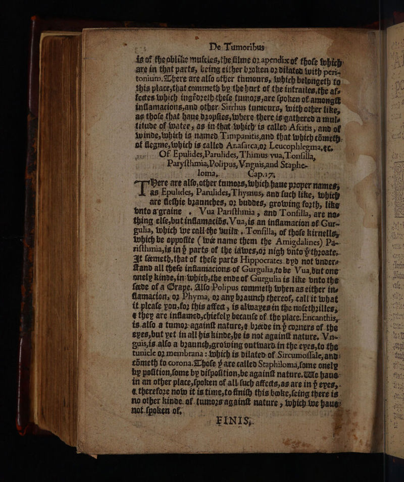 — — — — αμ — — — — ene name fectes which ingẽdꝛeth thele tumoꝛs, are ſpoken ol amongſt inflamacions,and other Sirrhus tumours, with other like, as thole that haue dꝛopſies, where there is gathered a mul⸗ Winde, which is named Timpanitis,and that which cometh: ol llegme, which is called Anafarca,o2 Leucophlegma, c. 8 Of Epulides, Parulides, Thimus: vua, Tonſilla, Paryſthmia, Polipus, Vnguis, and Staphe- loma, Cap.. e Here are alſo, other tumoꝛs, which haue pꝛoper names; . Epulides, Parulides, Thymus, and ſuch like, which are lleſhie bꝛaunches, oꝛ buddes, growing forth, like vnto a graine . Vua Pariſthmia, and Tonfilla, are nas thing elle, but inſlamacids. Vua, is an inflamacion oł Cur⸗ gulia, which we call the auita-.. Tonfilla, of thoſe kirnells, riſthmia, is in h parts of the iawes, o: nigh vnto pthꝛoate, It ſeemeth, that of theſe parts Hippocrates. dpd not bndere and all (θείο inflamacions of Gurgulia to be Vua hut one onely kinde, in which, the ende of Gurgulia is like onto the fade of a Grape. Alſo Polipus commeth when as either in⸗ flamacion, 02 Phyma, ϱ) any bꝛaunch thereof, call it what € they are inflamed, chiefelp becauſe of the place. Encanthis, is alſo a tumoꝛ againſt nature, x bzœde in p coaners of the epes, but vet in all his kinde, he is not againſt nature. Vine: guis, is allo a bʒaunch, growing out mard in the eyes, to the tunicle 92 membrana : which is Dilated: of Sircumoſſale, and hy pofition,fome by dilpolition, be againſt nature. Me haus 4 therefoze now it is time, to Επί this boke, ſeing there is no other kinde af umoꝛs againſt nature, which we haue not ſpoken or. 1 | EINIS;. 28. * * * „ — = = —ũ — — — — — A 2 N — νο — . — 2 3 4 4 2 na — 2 == = - l — =. : * : * αν τε κοκ,