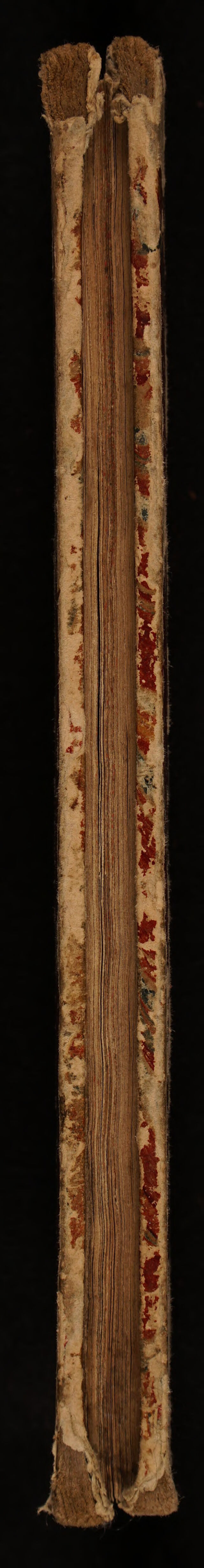 No text description is available for this image