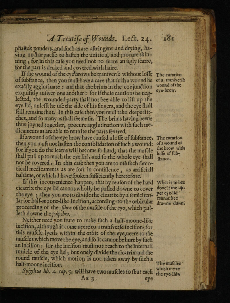 phalick pouders,and fuch as are aftringent and drying, ha¬ ving no fharpnefle to hafteq the unition, and procure skin¬ ning 5 for in this cafe you need not to feare an ugly fcarre, for the part is decked and covered.with haire. If the wound of the eyebrows be tranfverfe without lofte of fubftance, then you muft have a care that fuch a wound be exa&ly agglutinate : and that the brims in the conjun&ion exquiiitly anfwer one another: for if thefe cautions be neg¬ lected, the wounded party (hall not bee able to lift up the eyelid, unleffe he ufe the aide of his fingers, and the eye fhall Hill remaine fhut. In this cafe then you muft take deepe flit¬ ches, and fo many as fhall fee me fit. The brims having beene thus joyned together, procure agglutination with fuch me¬ dicaments as are able to reunite the parts fevered. If a wound of the eye brow have caufed a lofle of fubftance, then you muft not haften the confolidation of fuch a wound: for ifyou do the fcarre will become fo hard, that the mufcle fhall pull up to much the eye lid 3 and fo the whole eye fhall not be covered • In this cafe then you are to ufe fuch farco- ticall medicaments as are foft in confiftence , as artificial! balfame, of which I havefpoken fiificiently heretofore. If this inconvenience happen, that by reafbn of the hard cicatrix the eyelid cannotwholly be pulled downe to cover the eye ; then you are to di vide the cicatrix by a feraicircu- lar,or halkmoons-like incifion, according to the orbicular proceeding of the fibr<e of the mufcle of the eye, which pul¬ let h downe thepalpebra. Neither need you feare to make fiich a half-moone-like incifion, although it come neere to a tranfverfe incifion^ for this mufcle lyeth within the orbit of the eye,neere to the mufcles which move the eye, and fo it cannot behurt by fuch an incifion: for the incifion muft not reach to the internall tunicle of the eye lid; but onely divide the cicatrix and the round mufcle, which motion is not taken away by fuch a half-moone incifion. Spgdm lik 4. caf, 5, will have two mufcles to (hut each Aa 3;. eye The ctiration of a tranfverfe wound of the eye* brow. The curation of a wound of the brow with Ioffe of fub¬ ftance. What is to bee done if the Up¬ per eye) id ' cannot bee drawne down* The mufcles which mere the eye. lids*