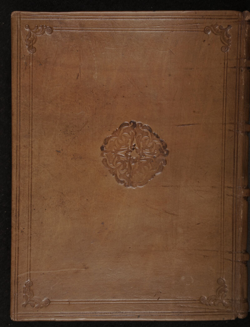 No text description is available for this image