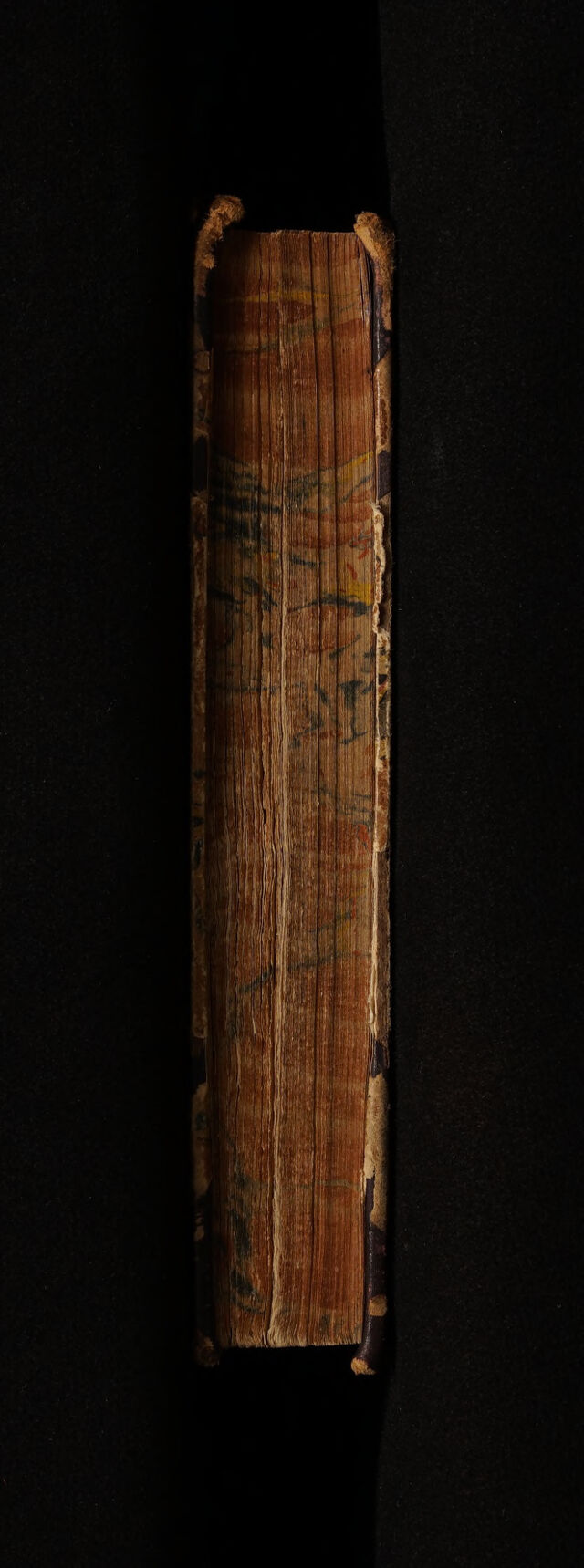 No text description is available for this image