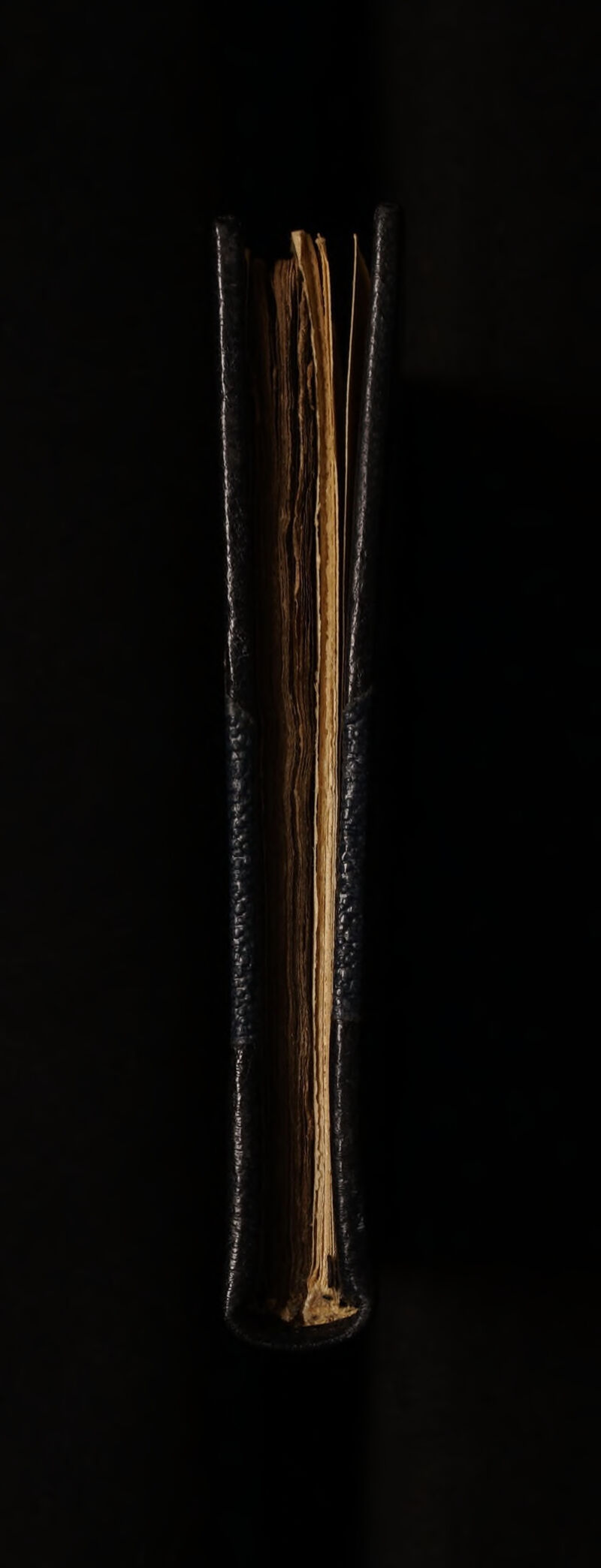 acl ede SS Seek hac leka a Rebs Sine NINO es