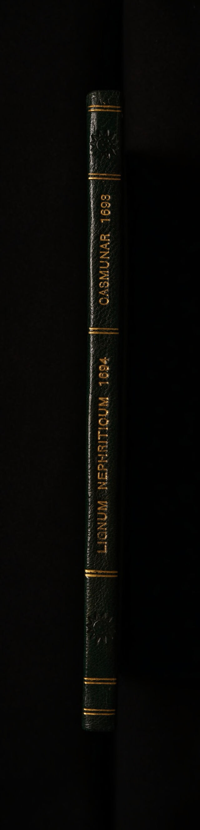 No text description is available for this image