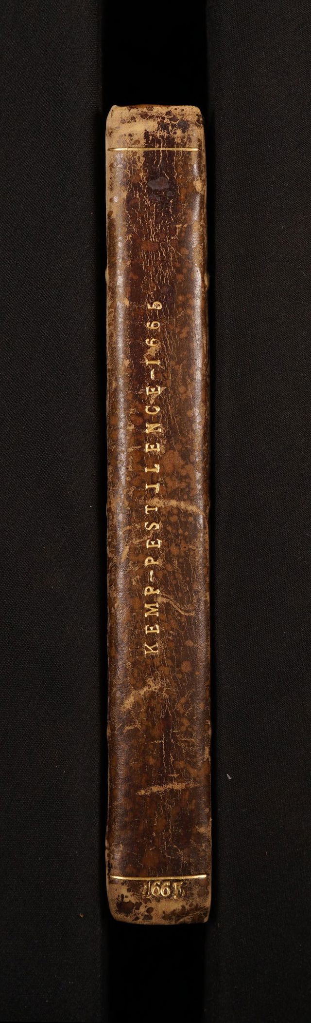digitised image 2