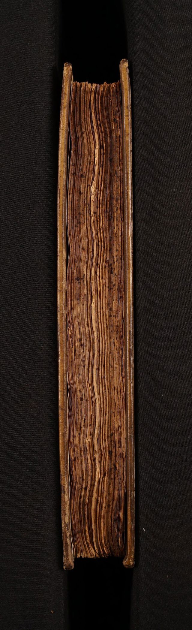 digitised image 3