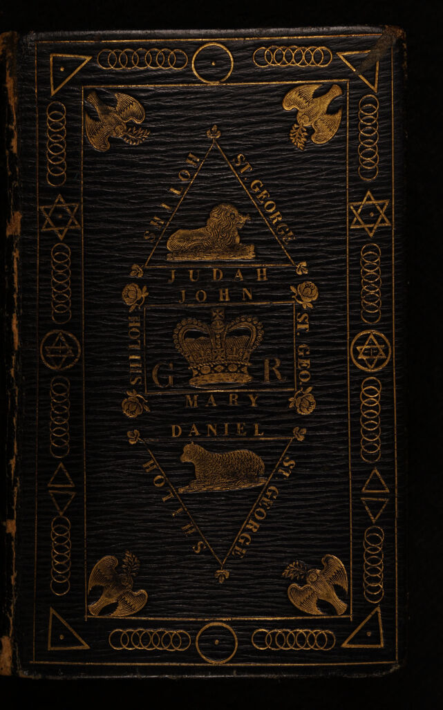 No text description is available for this image