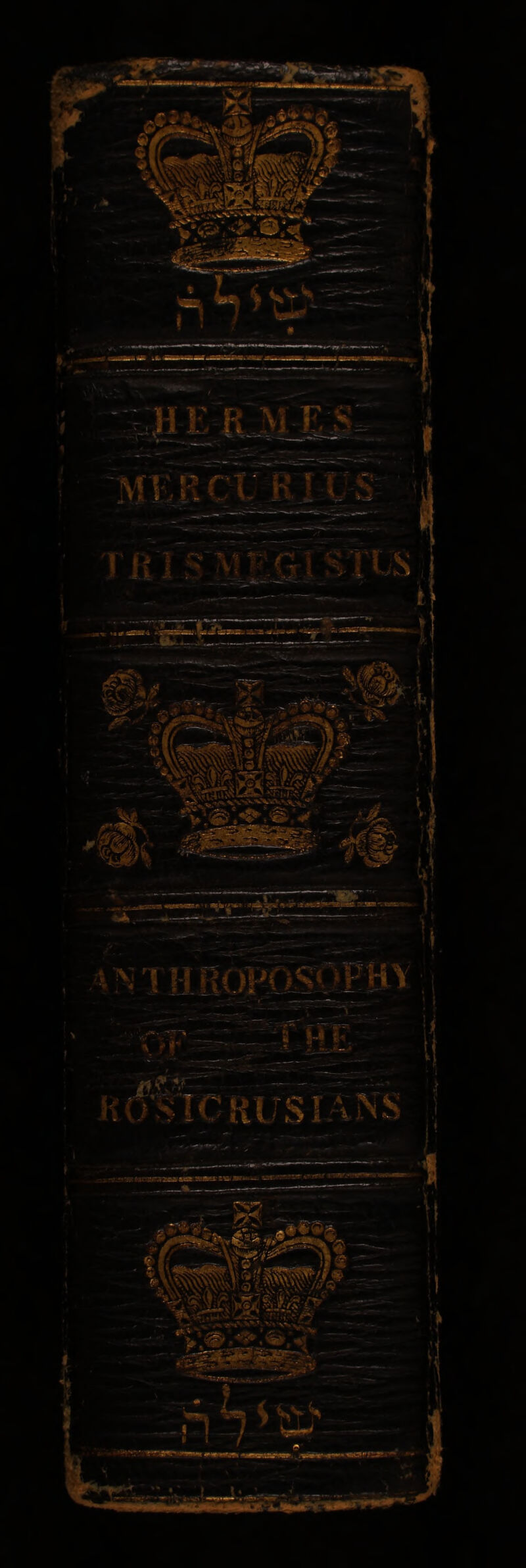 No text description is available for this image