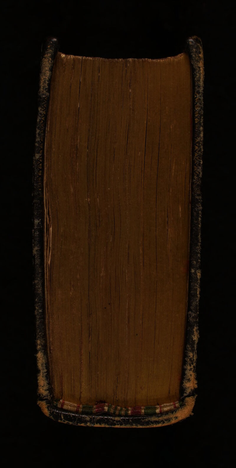 No text description is available for this image