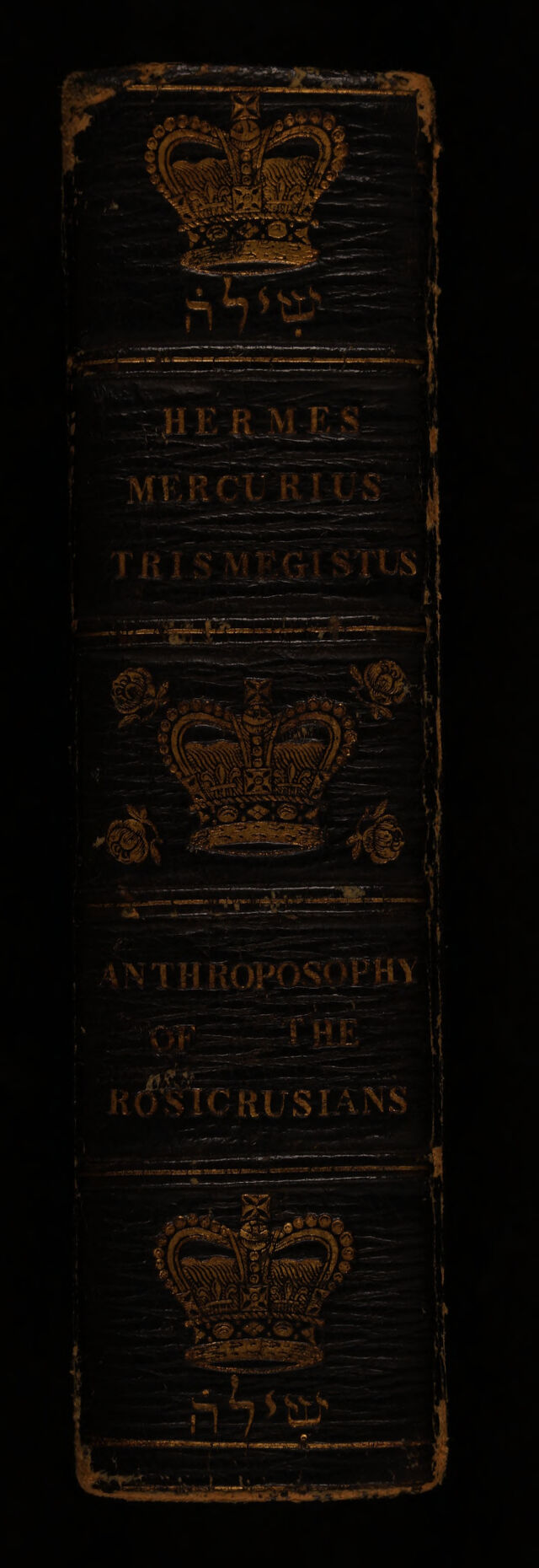 No text description is available for this image