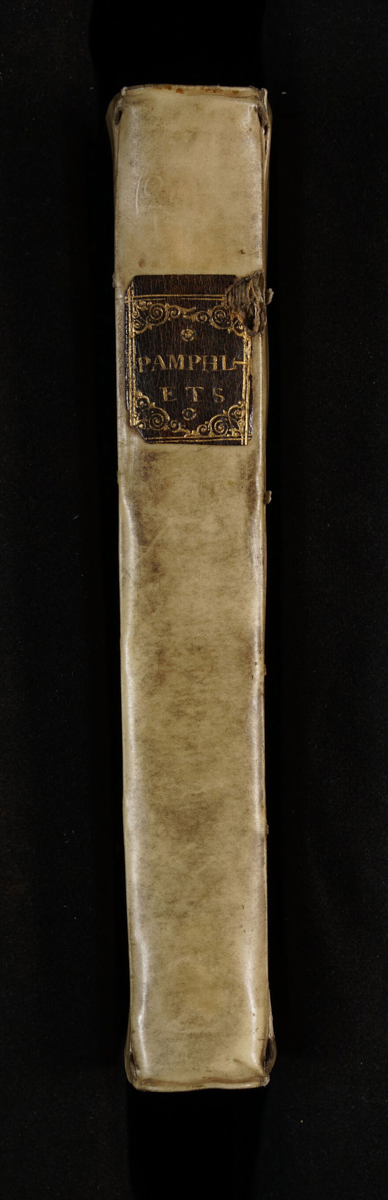 No text description is available for this image