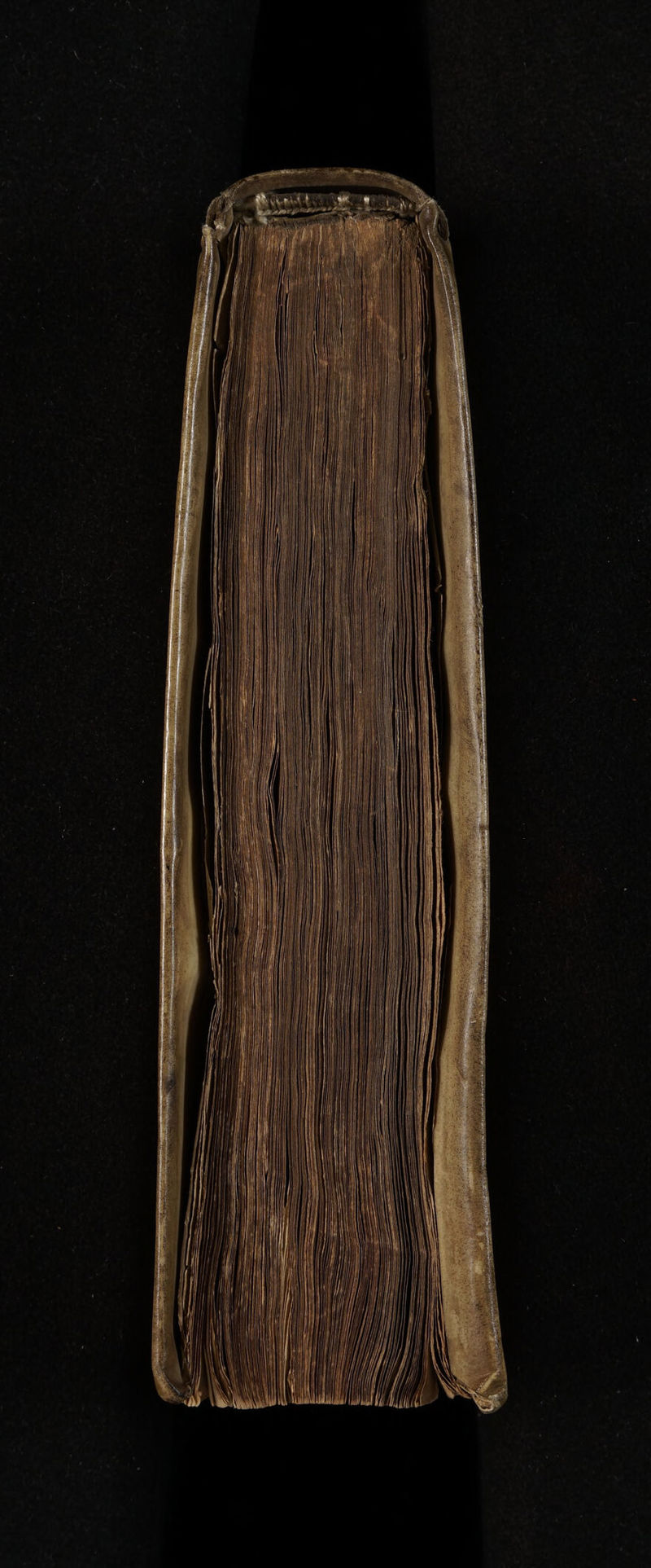 No text description is available for this image