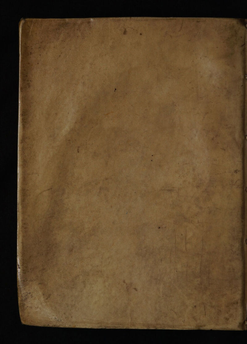 No text description is available for this image