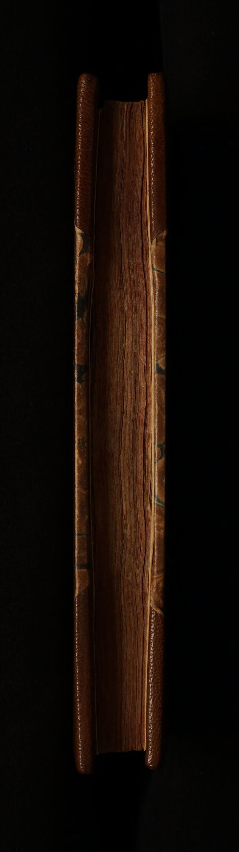 No text description is available for this image