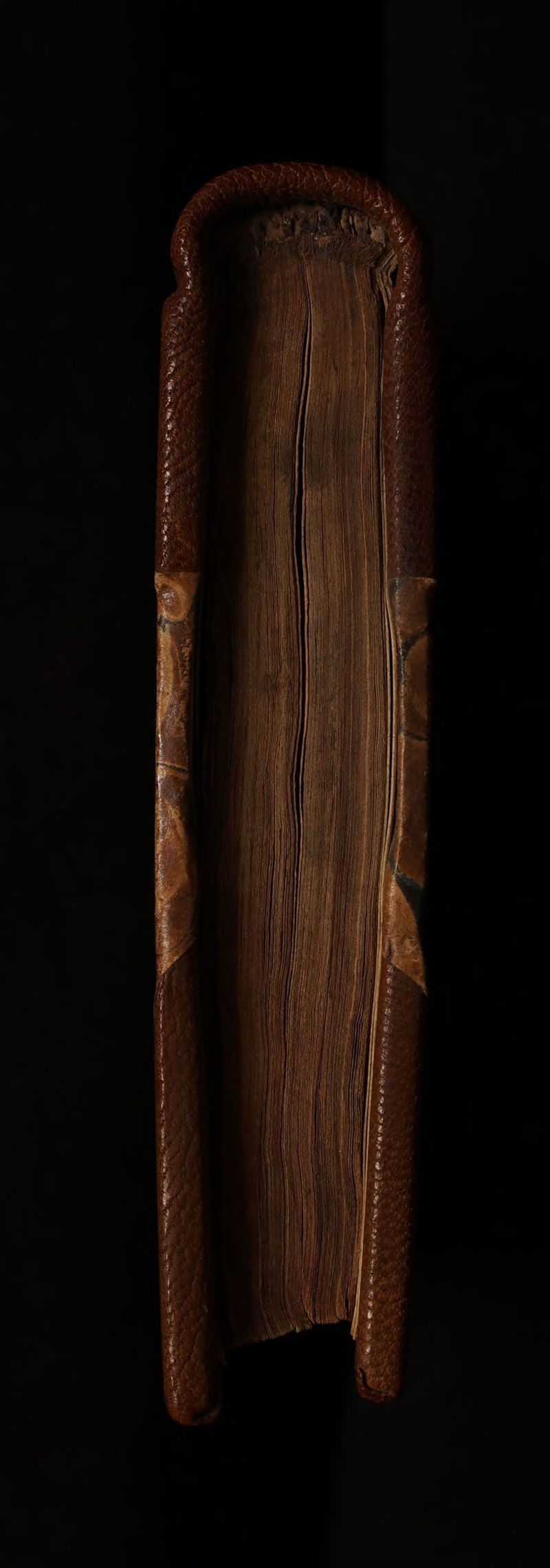 No text description is available for this image