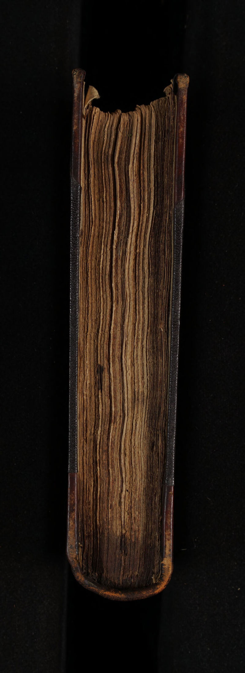 No text description is available for this image