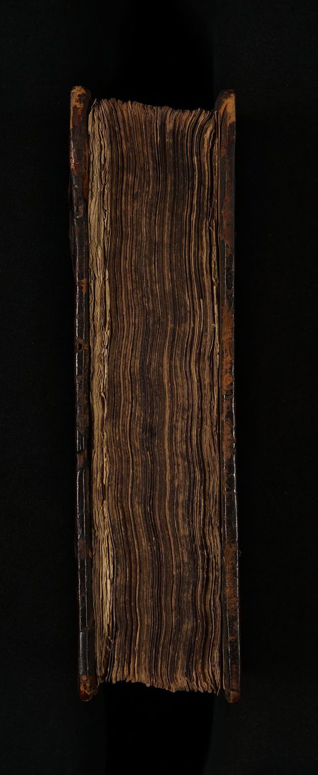 digitised image 3