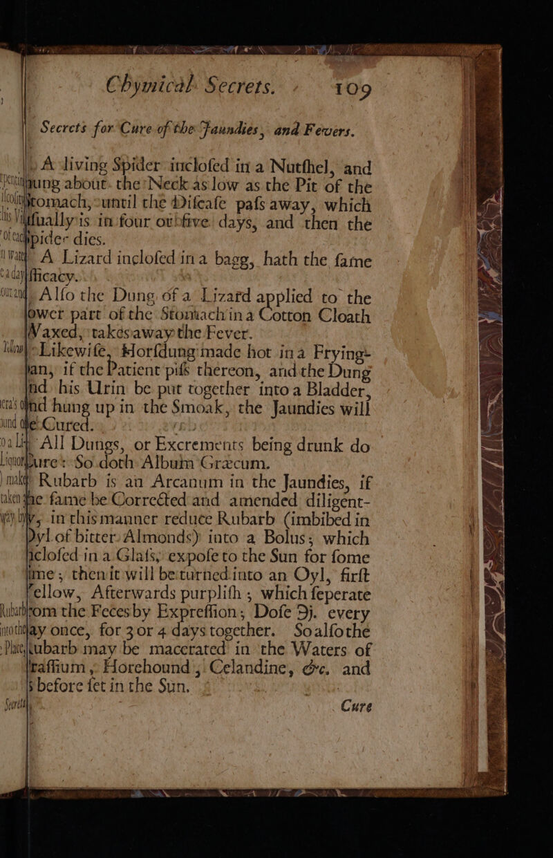 PRI MNP BAL MAGE Chymical. Secrets. 109 Seercts for Cure of the Faundies 5 and Fevers. |) A living Spider inclofed in a Nutthel, and MMttigung about. the Neck as low as the Pit of the zz le tomach,°unvil the Difeafe pats away, which | Sie yt, yt : ps ‘NVittfuallysis in:four otbfive’ days, and then the Oeachpider dies. ‘nt! A Lizard inclofed ina bagg, hath the fame ‘a daylicacy. a Ma Alfo the Dung of a Lizard applied to the Ower part of the Stoniachina Cotton Cloath Waxed, takesaway the Fever. »Likewife, Horfdung:made hot ina Frying: lan, if the Patient pifs thereon, andthe Dun nd his Urin be put together into a Bladder, cai dind hung up in the Smoak, the Jaundies will und We Gured. rR valiy All Dungs, or Excrements being drunk do Liqoure: So.doth: Album’ Grzcum. mkt! Rubarb is an Arcanum in the Jaundies, if uktt ae fame be Correéted and amended. diligent- ye Ws in chismanner reduce Rubarb (imbibed in yl of bitters Almonds) into a Bolus; which hiclofed in a Glats, expofe to the Sun for fome | ime, thenit will beturnedinto an Oyl, firft | fellow, Afterwards purplith ; which feperate | \attom the Feces by Expreffion; Dofe 5j. every itothtlay once, for 30r 4 daystogether. Soalfothe Phitubarb may be macerated’ in the Waters of | raffium , Horehound ;.Celandine, &amp;c. and | § before fet in the Sun. Sorell om lilo Cure