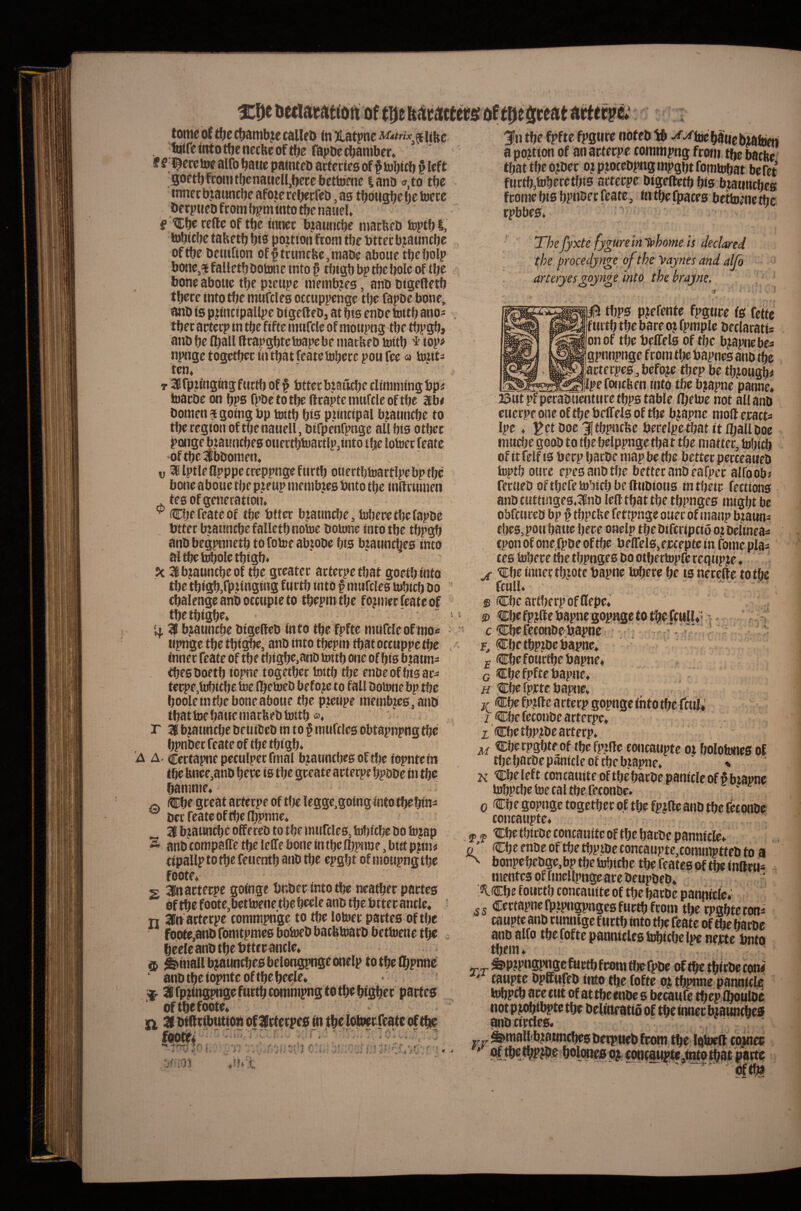 tome of t^e ctjambjie calleD (nXatpne Matrix* iifte tqtretntotbenectteoftbe fapbetbamber» S ff 'l^ecetoe aifo battc pafnteb arteries of ^tobicb § left Soetbfromtbenawcll,berebetb)ene lanb <T,to tbc inner bjaunebe afojie reberfeb, as tbougbe be toere berpiieb from b^m into tbe natieU f ■'Cbe rede of tbe inner bratmebe marbeb toptbl, tobicbe taHetb bis portion from tbe btterbjanntbe of tbe benifion of f truntbe,tnabe abotie tbebolp bone,^ falletb botone into § tbigb bp tbe bole of tbe bone abonc tbe pieupe meinb?es, anb bigeftetb there into tbe muffles ocftippenge tbe fapbc bone, anb is prtncipallpe btgefteb, at bis enbetottb anO' tber arterp in tbe fiftc muffle of moupng tbe tbpgb> anb be (ball Krapgbtetoapebe macbeb mitb ^ top# npnge together intbatfeatelnbercpou fee« tortt- ten» T SBrprt'ugingfuctb of ^ btterbiStttbe elimmingbp# toaebe on bps fpbetotbe llrapte muffle of tbe aib< bomen ? going bp tottb bis ptintipai bjaunfbe to tbe region oftbenaucll, bifpenfpnge alibis other ponge brauntbe s ouertbtoattlp,mto the lotoe t feate •oftbelbbomen, u llptlellpppefreppngefurtb ouertbtuartlpcbptbe bone aboue tbe p?eup membjes bnto tbe initrumen tes of generation. Cbe feate of tbe btter bjiauntbe, toberetbefapbe btter brauntbe falletb notoe botone into the tbpgb anbbegpnnetbtofotoeabpbe bis b^tauntbesinto al tbe tobole tbigb. 5c aibjauntbeof tbe greater arterpetbat goetb into tbe tbigb.fp.tirtgtng furtb into f muffles tobifb bo cbalenge anb Of fupie to tbepmtbe former feate of tbetbigbe. •  if. 3 bjatintbe bigelfeb into the fpfte muffle of mo< tipnge tbetbigbe, anb into tbepm thatoctuppetbe inner feate of the tbtgbe.ano tottb one of bis b]taun=! tbesboetb iopne together tottb the enbeofbtsar^ terpe,tobifbe toe Ibetoeb befo^ to fall botone bp tbe booletn tbe bone aboue the pteupe membjes.anb that toe bane marbeb tottb «. r IK btauntbe betitbeb in to § tnuffles obtapnpng the bpnber feate of the tbigb. 'A A- certapnepetulperfmal bjauncbesoftbeiopntein tbe bnee,anb here is the greate arterpe bpbbe iti the bamme. ^ (©be great arterpe of the legge.going into tbebin^ ^ ber feate of the Ibpnne. ^ IK bjauntbe offereb to the muffles, tobiebe bo tojap A anb f ompalTe the lelTe bone in the ibpnne, but pjtn# fipallptotbefetientb anb the epgbt of moupngtbe foote. 2 3In arterpe goinge bnber into the neatber partes of the foote,bettoene the beele anb the btter antle. n 3fn arterpe tommpngc to tbe lotoer partes of the fottfe.anbfomtpmesbotoebbatfetoarbbettoenetbe , beele anb the btter anfle. ct ^mallbjauntbesbelongpngeonelp totbelbpnnc ‘ anb the iopnte of the beele* ■f. || fp^ingpnge furtb fommpng to the bigber partes oftbefoote* . - 3t bfdribtttion of Irterpes in tbe lotoerfeate of tbe footed - .r-v :■■■■ - V . t S V f i r i - • . I r ■i a portion of an arterp e commpng from tbe batbe ’ that tbe o?ber ojpjtofebpngmpgbtfomtobat befet furtb,toberetbis arterpe bigedetb bis btauntbes frome bis bpuber feate, in tbe fpaces bettome the rpbbes. ■ Thefyxtefygurein'i»homeis declared t.he procedynge of the 'Vaynes and aljb arteryes gojnge into the brayne. 0 tbps prtfente fpgure is fettc furtb tbe bare 0? fpmple betlaratis on of the belTels of the bjapnebes gpnnpnge from tl;e bapnes anb ibc aeterpes,befoje tbep be tb^ougb^ Ipefoiifben into tbe bjiapne panne* ■* ^ . t .'!.i JSutpfperabuenture tbps table ilKtoe not all anb euerpe one of the belfels of tbe bjapne mod eratfs Ipe . ^etboc ^Itbpntbe berelpctbat it fljallboe mtirije goob to tlje belppnge that tbe matter, tobifb of it felf IS berp barbe map be the better perteaweb toptb ourc epesanbtbe better anb eafper alfoobj feriieb of tbefe tobifb be dubious in their feetions anb futtinges.lKnb led that the tbpnges might be obff ureb bp § tbpf be fettpnge oner of manp btauns f i)es, poti baue here onelp the biff ripfio ot beiineas eponof one.fpbeoftbe beireis,erfeptein fomepla^ tes tobere tbe tbpnges bo otbertopfe requprt ♦ r ^bc inner tbjote bapne b^e be ts nerede to the ffUll. ffi ©beariberpofdepe* s> Dbr fp^de bapne gopnge to dull*! c ©befeconbebapne.»' , ” F, die tbp.ibe bapne* £ Cbefourtbe bapne* G €be fpfte bapne, H de fprte bapne. r €be fp?de arterp gopnge into the ffui*' I Cbe fefonbe arterpe, iCbetbP^be arterp. ^ ©berpgbteof the fptde eontatipte oi bolotones of the barbe panifle of the btapne. ' % K tcbeleft tontauiteoftbcbarbepanifleof^btapne tobptbe toe fal the feeonbe. 0 Cbe gopnge together of the fp|de anb the feeonbe fontaupte. IP p die tbirbe toncauite of the barbe pannitle* G' Cbe enbe of the tbpibe font aupte,commptteb to a ^ bonpebebge.bp the tobifbe the feates of the indwis mentes of Imellpnge ar e beupbeb* XCbe fourth tonfauitc of the barbe panpitle*' ^5 Certapnefpipngpngesfurtb from the rpgbtecon^ caupte anb runnige furtb into tlte feate of the barbe anb alio tbe foftcpannifles tobifbe Ipe nejrtc bnto them. ^P?Pb0l^gc furtb from tljefpbe of the tbirbe con<i ' taupte bpdufeb ittto tbe fofte oj tb^ne pannitle tobptb ore tut of at tbe enbe s becaufe tbepX^utoe notpit^bptetbe belineatio of tbe inner btauntbes ^madbiaunebes berpueb from the latoed wjnec » (OtlfgUpte,itttOtb8t p8rtO oftfg