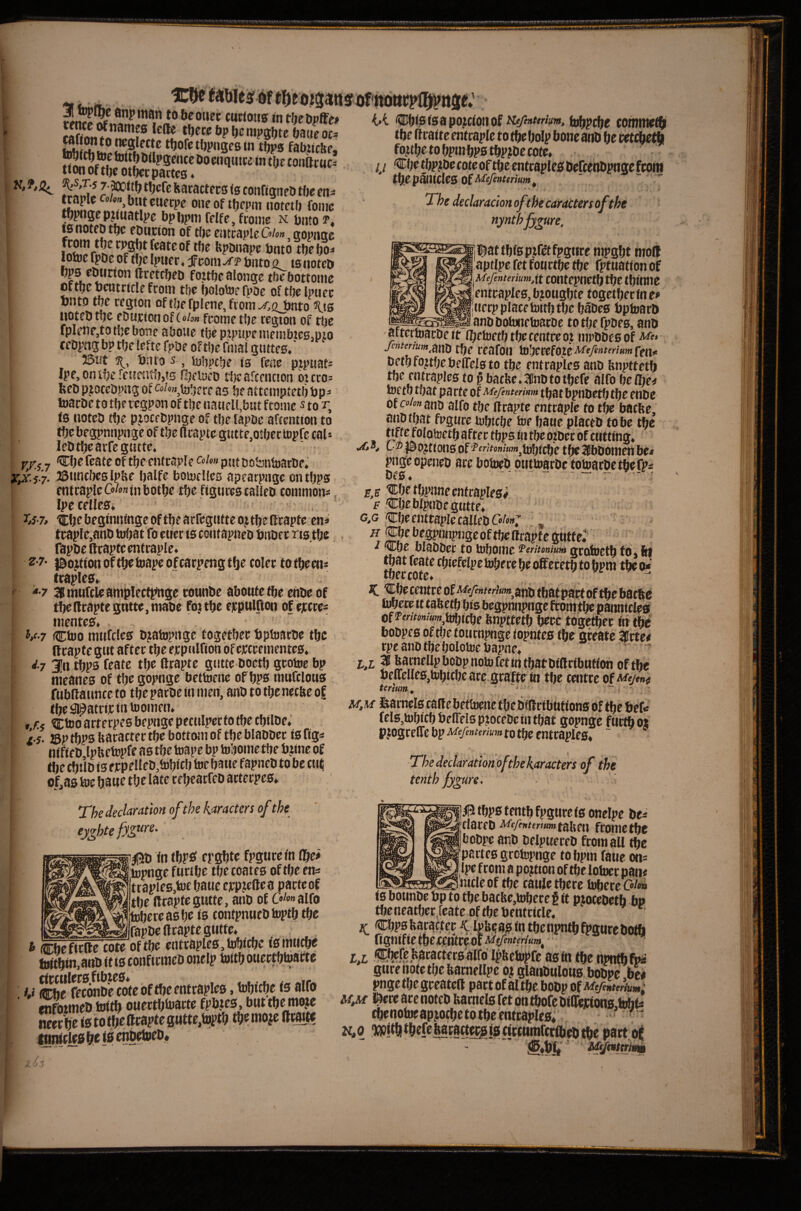 flnptttan tobeoucc cuctotis intbebpJFe# tlJCKftpbcnipgbtebatieocs feb ttJOfctbpngcBin tfjps fabiicbr, H iXlPScncc Do cuquite in t [j e tonftcttc* tion of tfjeotbcc partes. Jr'S Haractccs is configneD tbe en^ oncof ttjfpni iiotctf) fomc ^pnge pttuatlpc bp Ijpm feife, fronie n; puto ?« t0 noteb tbc ebweion of rtjc oitcaple G/on, gopnge from tberpgbtfcatcof tbe fepbnape Pmo^bo^- lotocfpDcoftljejpiier. jFconi^i?biitoo tsiioteft ftrctcbcb fottbe alonge tbe bottoiitc ottfjcPcatncIefcoui tbe bolotof fpDc oftbclpiiec fjnto the cegtoii of t!;f fplene, from ^,(i^nto '^ts tiotcD tpe cDuirtoti of (o/oM fcomc tbe regton of tbc fplrnpjtotbcbonc aboiic the pipiipcmptiibiesmio fcDpng bp tfjc lefte fpoe of tbe filial gtutes. ‘ 25ut 3^, Piiro 5, iBbpcbe is fene pjptiat- Ipe.ontbprcueatlijts fljeluPD tljcafcennon oicro- feeb pjoccbpng of cohn^ta’jetc as b? attcmptetii bp^ toaebe to tbe tegpon of tbc natieli,but ftomc 5 to r fB iioteb tf)e pjocfbpnge of tbc fapbc afeention to tbebegpnnpnge of tbe acapte guttCjOtljcrtopfc caU lebtbearfcgtutc, 'Cbefcateoftbccntcaple^<’^<’«putDofcniijarOe. xiic.s'?- 23HncI)es Ipbe balfe bouicHcs apearpngc on tbps cntraplcCo/oninbotbc tbc figures calleb commons, IpecdleB. ^,S7, ticbcbeginningeoftbearrcgutteottbeRrapfc cn* traple,anb tobat fo euer is contapneb bnbcc xtB tbe rapbcftcaptcentraple. Z7- |3ojttonoftbcl»apeofcacpfngtf)e colec totbeens ttapleB. ' * 7 ^mufcleamplectpnge totmbe aboutetbe cnbe of tbe(lcaptegtitte,niabe fojtbe ejcpulRoo of ejccres inentcB.  V-7 Ctoo mtifcles bjabjpngc togetbet bplaarbc tbc flrapfe gut after tbe ejcpulfion of cjccrementeB. d.7 jn tbps featc tbc Rrapte giitte boctb gtotoe bp tiieanes of tbegopnge bettuenc of bps mufclous fubllaunte to tbe parbe m men, anb to tbe neebe of tbe^atrieinVDomeu. t.r.f Ctoo arterpes bepngepecuipcefotbe cbilbe. i j. JBP tbps bacacter tbc bottom of tbe blabber is figs nifieb Ipbefepfe as tbe toape bp tobome tbe bjine of tbe cbi’lb is erpeUeb,tobicb toe bawe fapneb to be cuf of,as toe baue tbe late rebearfeb arterpes* The declaration ofthe karacters of the ey^hte ’^b in tbP^ ei’0l)tc fpgurcin ©e# topnge furibe tbecoates of tbe ens trapieBjtoe baue ejrp.teftca parte of % tbe ftraptegutte, anb of C»^»»alfo tobercaBbe is contpnuebtoptb tbc fapbcftraptegutte* i Cbeftcfte cote of tbc entraples.tobicbe tsmti^c toitbin,anb it is conftrmeb onelp tottb ouertbMtte fd (Sc fSnbSfe of tbe entrapIcB, tobicbe ts alfo wfotmeb toitb oueetbtoarte fpb.tes , but tbe moje neerfje istotbeHcaptegutte^toptb tbemojc (tewte ignjctesb^fscnb^eD* i-i Cbis ts a pojcioti of tobpebe (otnntcfb tbe (traite entraple to tbe bolp bone anb be reteb^ fojif be to bpm bps tbpjbe cote* / / Cbe tbptbe cote of tbe cntraples befcenbpnge from The declaracionofthecaractersofthe nynthff^ure. ftattbisp.tre*tfpgtire nipgbt moll aptlpe fet fourtbe the fptuation of Mefintenum.xt coutepnctb tbe tbiuiie entraples, b?ougbte together in t* uerp place tottb tbe babes bptoarb _—anb botonetoarbe totbefpbes, anb attertoarbe tt Ibetoetb tbe centre of mpbbes of jenter/um^^uu tffc reafoii tobecefote-^^A”^‘''’'«”*ren!' bethfottbebelTelsto tbe entraples anb bnpttetb tbe entraples to § batbe. ainb to tbefe alfo be fl;e^ toetb that pa rte of Mefmterinm tfjat bpnbetf; tbe enbe of colon jinp aifa tjjp dfaj^te entraple to t^ bacbe, anb that fpgure tobtebe toe baue placeb to be tbc . ^^^^P^t*toctb after tbps in tbe otber of cutting* -63* L®po?tionsof'^'>i»>'«Mjtobtcbetbe^bbomenbe« pngcopeneb ace botwb outtoarbe totoarbetbefps D^0« Cbe tbpnne entraples# F Cbebipnbegutte* c.G Cbe entraple caitebO/< ^be begpnnpngeoftbellrapfe gutted I Cbe blabber to toboine ferimium grotoetb to. fn |bot feate tbiefelpe tobece be offecetb to bpm tbe o* K. Cbe centre of Mejhttriimyaisy tbatpact of tbe bacftc tobece tt tabetb bis begpnnpnge fcomitbe pannicles of p#r/#w;«»,,ioi;,cbe bnpttetb berc togetbec in tbc bobpes of tl;c toticnpnge iopntes tbc geeate iirte# rpe anb tbe bolotoebapne* -- W I® bomellp bobpnoto fettn.tbatbiRcibnffon of tbc beirelleSjtobttbeare.grafte tn tbe centre of a*/«# Urtum^ * ' ^ ^ M. u fearnels caile bettoene tbe biRributions of tbe bcf.* felSjtobicbbeiTelsptocebeintbat gopnge ftictbos pjogrelTe bp to tbc entraples* ' The dectafation of the karacters of the tenth figure. B tbps tenth fpgure is oneipe bc^ rlaceb ii*/f»<fr»«)»taben frometbe bobpc anb beipwereb from all tbc partes gretopnge to bpm faue on= ipe from a pojtion of tbc lotocr pan# — ™._.^i'nicle of tbe caule there tobere C«/« is bounbe bp to the bacbe,tobece§ ft piocebetb bp tbeneatbec.feateoftbebentcitle. iC Cbpsfearacter ^ to&cas in thenpntbfpgnrc both fignif tc tbeetntrf ot M^mterium^ i,L i;i?efefeacactecs arfof Ipfeeto^e as in tbc npntbfN gure note the fearnellpc oj glanbulous bobpc be# pnge the greateft pact of al the bobp of Me/entcrium: MM l^erc are noteb bamels fet on tbofc biircjcton0.tobfo cbenotocapjocbc to tbc entcaplcs; ? f N,o. '^tntniuiit