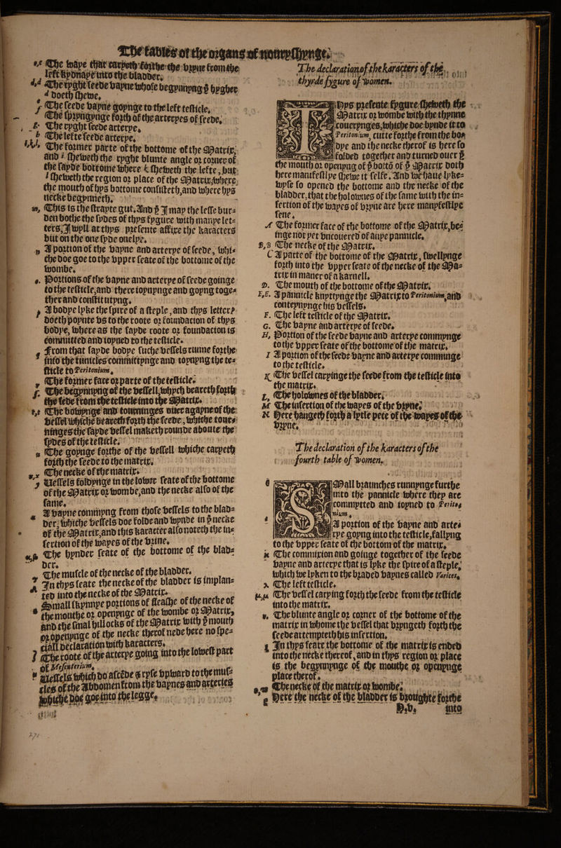 left trtto tbe Maobec* bj^ieftomiiie beg^ntipng^^ bFSbee •/ # w ipj?ngpt»ge fojtb ba tbpamppes of febe: _t‘ tCbct^SbtfceOcactcrpe* ' * CbdcftefecDcartetpe* W. tCbe former parte of tbc bottonie tftbc S^atrfp; ?!?V ^ *^P5bt blunte angle oj cojwcc of ^rapbebottOmetobere Ifbetoetb tije Icfte.bat M^chjctf) tbe region ot place of t^c sipatciritobecc, tlje tnoutbofbps bottonie conrufetlxanb tobecebps ttetbcbegpnnetf)* m, Cbts is tbc llcapte gtit.3inb § 1 map tbe leffc bur- benbotljc tf)C fpbes of tbps fpgure ujttb manpe let=. tcc0,3! toptt at tbps ptefente affijee tbe feacacters but on tbe one fpDe rnielph „ apouionof tbe bapne anbarterpeoffeebe, l»bi* cbe boc goe to tbc bppe c feate of ibc bottome of tbe foombe. t. pojtions of tbe bapne anb acterpe of feebc goinge to tbe teftttre,anb there iopnpnge anb gopng toge* tbeeanbconllitutpng* * Ibobpelpbetbefptreof afteple,anb tbPS letterJ> bbetb popntebsto tberoote oj f otutbacion of tbps bObpe, tDbeteas tbe fapbe robte o^ fotinbation is Pomnittfeb anb'iopneb to tbe tellicle* - ^conitbat fapbe bobpe fucbebrffelsrunnefojtbe ’ fnfotb'etnnicfeseomrnittpngeanb lopitpngtbe tea ittfCle - Cbe taitiier face 6% pa tte of tbe tefticle* f (pfebe mmtbeteffttiefmb tbeS^^ t,t... „ _ lifff^a^eBtawtbfogiibtbefeebe .tobfebe to»w bfitgestbe fapbetiefEel mabetb counbe aboute tp rpbesoftberemtie;^'^' ^ ^ ft iCbe go^ge (ot0c of tbe beflell lobitbe taepetb fbjfbtbereebetdtbeinatciic; > ■: ‘ ,, Cbenetfeeaffbeniatrliti ^ ^'i-' * JUelTelsfolbpHgeintbelotoec feate of tbe bottome oftbcijpatrijcojtoombe.anb tbeneebe alfooftbc ^ bapiie commpng from tbofebelTels to tbe blab* bcriwicbebeffclsboefolbeanbtopttbe mpnecae of tbc !^atcir,anb this fearacter alfonotetb tbe tn^ fertiort of tbe toapes of tbe bjine* ,^ iLfk CP bpnber feate of tbe bottome of tbe blab« Dcr ^ Cbemutcle oftbeneebe omeWabben , I “Jn tbps feate tbeneebeoftbe blabber fs iniplan* ^inallfftpnnpe portions of fleafbe oftbeneebeof • Soiitbcoi open^gc of tbetoombe o^atri^^^ KeSiarbtUotbB of tbe^atrtp tottbpmoutb SSge of tbe neebe tberof nebebetc no fpe^ L> }{ mo jrar^$% l^psp^efeote fligttte (befoe^ fbe ^atnic o; taiombe toitbtbe tbpnite couerpnges,lobicbe boe bpnbe ft to firitomwn^ ctttte fo^tbe from tbe boa bpc anb tbe neebe tberof is beeef® __folbeb togeibee anb tiirneb oner g tbemotitbot openpngof # bott6 of § d^ateiF bstb beremantfedlpe Qjete it felfe.lfnb Ibebauc Ipbe^ lupfe fo openeb tbe bottome anb tbe neebe of tbe blabber.tbat tbe fwlousies of tbe fame toitb tbe tn« fertion of tlje loapes of bipne are here manpfelMpc fene, j{ Cbe former face of tbe bottome of tbe ^l^attfic,bc« inge not pet bneouereb of anpe pannicle, Cbe neebe of tbe #atrir« C 31 parte of tbe bottome of tbe fl©atrfjc, ttoellpnge f o^tb into tbe bpper feate of tbe neebe of tbe #as fctrinmanerofabarnell. ©. Cbcmoutb of tbe bottome oftbe#atcf)r, 35 pannicle bnpttpnge tbe iipateijCto *’»«><»«««,anb eontepnpnge bis bclTels* f. Cbe left tefticle of tbc spatrit* G. Cbe bapne anb arferpe of feebe* B, l^ojtton of tbe feebe bapne anb acterpe commpnge totbebpperfeateoftbebottomeoftbe matrtir» 131 portion of tbe feebe bapne anb acterpe commtnge totbetcRicle. ^ Clie belTel carpinge tbe feebe front tbe teff icle (nto tbe matriic* t, if^boiti^esiiftbcblabber* • M cbefnfmioiioftbebiapesoftbeft^* i^ere bangetb fii iptir pete of tpiN .. ■r'il ■•j'; '-(J 'f < 5 - t> ^ ■ .T-T) f \3' < ■ t X The declaration oFthe karactersdfthe omen. * ' Jt • • hi 9 0 ^$11 btatinebes tunnpngefttctbe into tbe pannicle toberc tbep are commptteb anb topneb to ^<ntu nium^ 'M position of tbe bapne anb atte« 'tpe gopnginto tbc tefticle>fallpng to tbe bpper feate of tbe bottomOf tbe niatrijr* it Cbe commijrion anb goinge togetber of tbe feebe bapne anb acterpe that ts Ipbe tbe fpire of a fteple,' lobtcb foe Ipben to tbe b^abeb bapnes calleb Pkmts^ X Cbe left teftitle* ft,(« Cbe beffel carping fojtb tbc feebe from tbe tettf de into tbe matrir* V. Cbe bliinte angle oji corner of tbe bottome of tbe mattijr in tobome tbe belTel that b^pngetb fo|tb tbe feebeattemptetbbis infertion. 13|n tbps feate tbe bottome of tbe ntatripfsenbeb tntotbeneebetbereof^anbintbps region eg:place is tbe begpimpnge of tbe tnotitbe o; opti^ige piacetberof* • « Cbe neeb^ Of tbe matt bi eg biOiMbe^ * g ]@ete tbe nj^tbe of tbe btaboce b|oM^ ^o^tbe Sit* ftitg / 'N