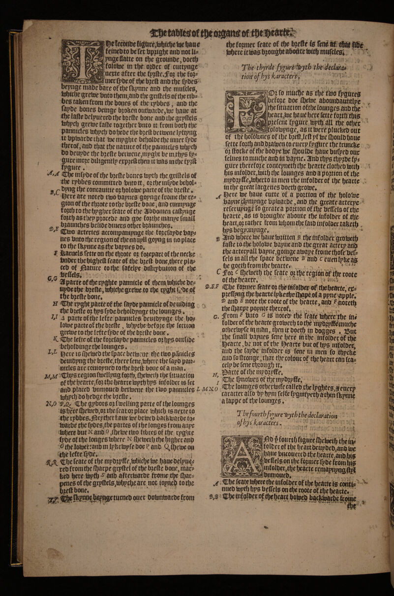 TefoHbe Kj|tire,tt)ibtcbe toe bdtt« fetnebto befet bpjiigbt anb not lt« Itigeflatte on tbe stounbe,Doetb foioine in tbc bjDcc of cuttpnge ;nc]ctc aftec tbc fpjfte.jfoj tbc fot^ —^..^^^^uicrfpDcof tijc bjeft anb tbc fpbcs ^ngc mabebarc oftbtfbpnnc anb tbc mtifclcs, ^tcne gr ctoe bnto tbtnijanb tbc gciftcis of rt)C ribs bc6 tabcnfconi tbc bones of tbe tpbbes, anb tbe lapbc bones beinge bwHen otittoacbe,tue Ijaue at tt)e la|le belpueceb tbe beetle bone anb tbe gcpifels h>f)j>cb greioe fa(te togetbet bnto tt fconi both tbe panniclcs tobpcb bo bebe tbe bjeft be ttocne Ipttpng ttbploacbctbat toenipgbte bebotbetbeinnetO’bc tbecof, anb that tbe natnte of tbe pannicles tobptb bo beupbe tbe b?efte bettocne,ti)pgi)t be tn,tbps fp< guee moje biligentlp ejepiefttben it toas in tbe fpift , fpgute ♦ Cbe fnfpbe of tbe bjcfle bones toptb tbe griftels of tbe rpbbes coiTimitteb bntort, ojtbeinfpbebebols j P bpng tbe contauitte oj bolotoe parte of tbe bjiefte ' i^erc ate noteb ttoo bapnes gopnge fpome tbe re=» gfon of tbe tbiote to tbe bjefte bone, anb cunnpnge f ojtb to tbe bpgbec feate of tbe Sttbooinen caftpnge fo^b as tbep piocebe anb goe fojtbe inanpe fmall bjiauntbes beftoe binecs otbec b.iauncbes* ' duo arteries acconipanlpnge tbe fojefapbebap^ nes bnto tbe region of tbe na tipll gopng in no place to tbe (ftpnne as tbe bapnes bo* f l^arnels fette on tbe tb.iote oj foJicpartoftbenecfec bnber tbebigbell feote of tbe bjell bone,tbcre pla;* ceb of ;il5ature to tbe. fafelpe biftri’bntton of tbe gg beffels* _ :'. . - . : ' 18 parte of tbe rpgbte pannlcle of them tobitbe be? upbe tbe .bjefle^ u^icbe grebie to tbe tpgbt ipbe pf tbe bjeftc bone* . ; F H Cbe rpgbt parteof tbe fapb'epanntcle of benibing tbe bzelfe oi bps fpbe bebolbpnge tbe lonnges * * 4 parteoftbeleftc paanitles'benibpnge tbe bo? lotoepatteoftbebjcftc, tobptbebefpietbe fection gretoe to tbe leftefpbe of tbe bjiefte bone * K €fje lefte of tbe fo^eiapbe pannicles oj bps ontfibe bebolbtnge tbe lounges* r ]^ccet6fi)etoebtbefpacebettorne tbe ttoo panicles bewibpng tbe bjelte,there fene,toberc tbe fapb pan^ Bitlesate toniopneb totbeb^efl bone ofa man* A/fAf ■ Cbps region ftoellpng fojtb, Ibetoetb tbe fttnacicn of tbebearte.foitbebeartetoptbbps tnfoloet isfet tbe former feate of tbe bjede fs fenotf: tftfjf Rb'c tobcrc ittoas bjongbtabodt^ toitb tntifclesi ^ “ T/’e tfyy'cfe fygiire >^yth the t^eclara* tidri ofhyi karacter'S'^ ' 4 / f'-.. ^tfo tiiucbe as tbe ttoo fpgtires before boe Ibetoe abounbaufttlpe tbe fitnatlon oftbe lonnges anb tbe beact,toe Ija ne here fette fo?tb. tbis piefcnt fpgnre toptb'all tbe otbec __[fplotopnge, as ittoere plncbeb out of tbf bofotones of tbe b?eft,le(t pf toe Cbotilb bane bi ifocbe of tbe bobpe toe Iboulbe bane bufpeb our feliies to nuicbe anb In bapne. 3nb tbps tbpjibe fp? gtiretberefoje cootepnetbtbe bearteclotbebtottb bis tnfolbec,toitb tbe lounges anb a portion of tbe .mpb?pffe,toberfo in men tbe infolber of tbe bearte in tbe great latgenes boetb grotoe* j; l^ere toe bane cutte of a poitfon of tbe bolotoe bapne clpnipnge bptoarbe ,ano tbe gccateatterpe ' reretttpngl fo greatea portion of tbe belTels oftbe bearte,as is bjougbte abonte tbe infolber of tbe beart,oj ratber from toljom tbe (atb infolber tabetb bps bcgpanpnge* ! . * g ^nbtoberetoebanetoiftten ® tbe infolber grotoctb fatle tb tbe bolotoe bapne anb tbe great arterp anb fels in all tbe fpaee bcttoenc ® anb eenenlpbe ^ be goctb from tbe bearte o ..J C fat c fbctoetbtbe feate oii tbe reglbh'ijft^ roofc oftbebeartr* . 'j'..;. vj s>.E.F (tcbe fo^ner feate ot tb^ftifoiberof tf^beatfe,’ eb= pieflffMig tbe bearte fpfeetbctt)@piof a ppne'^ppie*’ ® anb E note tbe roote of tbe b'eatte,anb f hotetb tbelbatpepopntethereof*,...‘ > . :; G. Jfcom f bnto G10 liofeb' the feate tobetctbe in? f olbcr of tbe bearte grotoetb to the inpfbpff^jnncbe otbertopfe in man, then It boe0 in bogges * 25ut the fmall bapnes fene here lb'the Infolber of the :|^eacte,be not oftbe l^aite bttt of bps infolber anb the fapbe lnfolber is fene in men fo tbptlte ano fo Rronge •; that tbe colonr of the heart can fta= celp be fene tb.roiigb it* ' - ^ ISacte oftbe mpDipffe* ' Cbe Q'notoes of rtjc tnpbzpffe.' anb plateb bnmoueb bettoene the ttoo pannicles ^ tuisco tobPcbbobebgetl)eb?e(le* caracteralfo bpbpnjfclferpgmfpetbatbinft^^^ tobPtb bo bebge tlje b?e(le Ko ttbe gpbots otftoelltng parte of the lonnges ■isbere{betoeb,oubefrato.iplace tobttb isnetteto tberpbbe8*|3eptl;ert:atfc toe betor b batbtoarbe to? toatbe the fpbeSjtbe partes oftbe longes from anpe tobere but ^ anb o ,n)etoe ttoo fibres of the rpgbte fpbe of the longes tobere ^ fl)ftoeibtbebigbecanb 0 the totoecjanb in Ipbctopfe boe p anb Q, (betoe on tbHefte fpbe*. ; SIX ttbt ftate of the mpb?pffe,tobtcbe toe banebclpne/ reb fromtbe Ibarpe gcpllel of the btcfte bone, inat? feeb here Ibpft brtb aftertoarbe frome tbe Chats penes of the grp(lels,tobpeb^dt^ not iopneb to the bjeftbone* ^ f buet botontoatbe froni -» r  y a lappe of tbe lounges Tk fourth ft^urelpyth the declaration ofhys karacters-. ■ « *, > ' ' 5 f olCer of the heart bcupbcb[anb toe ba w toncotieccb the beacte,arib bis mf olbcr, the btarte temapnpnglM ybnmoueb* ^ ^ ” ^. .Tjnic wave royer*: me mtoioet or the bearte fs contfc ntteb toptb bps b f (Tels on the roote oftbe bearte* ' ®,s ofibtbeartbbtocb bacfeb)aEbf.^(^ ^ ' T'v-.-a-f