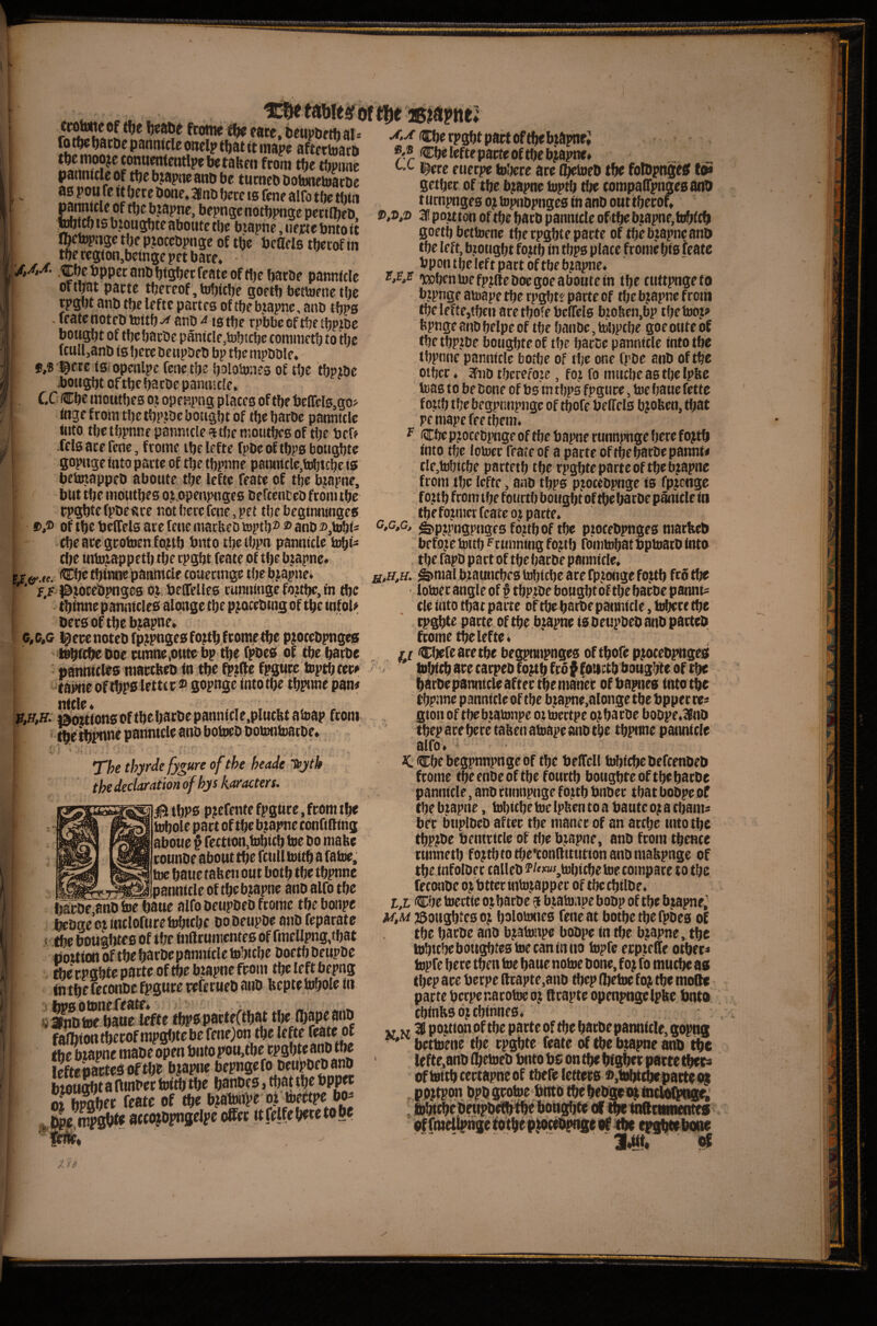 •• •^ f« «r« ^^ < • f *2^1®!^^ ftome Wte. bcMpDethal* ft ftacDe pannicle onclp ftat it inape afte ttoarD tftcmoojeconuenfratlpf bctaftcu from ttje thwine pannicie of tfjt bjapns atiD be tutneo DoimeivatDc ^ 68 poute It (jete Done* mb bete is fene alfo tftc thin pannicle of tljc b japne, bepngc notbpnac pcctObeo IS biougbte abontc fte biapnc, ncicte bnto it ftetopngc tljc pjotcbpngc of tbe beads thetof m tbe region.betngc pet bate* Cbebppcranbbigbecfeateoffljebatbe pannicic ortpt patte thereof , tobicbe goetb bettoeiietbc rpgbt anb the leftc partes of the biapne, anb tfjps . ft^tc notcD iiittft ^ nnD ^ is tf)c rpbbc of tbe tbpjbc bought of tfjcbarbe panicle,tobtebe coniinetb to the fcuU,anb is here benpbeb bp the nipboie. f,® lietc is* openlpc fene the halftones of the thprbc bought of the hacbepanmcle, , CC (Che niottthes or opcRpng places of the beffels.go^ inge from the thproe botight of the harbe pannicle into the thpnne panntcle ^the mouthes of the bef? feIs ace fene, frome the lefte fpbe of thps boughte gopnge into parte of the thpnne pannicle,tohtche.is betoappeb aboute the lefte feate of the bjapne, but the mouthes or.openpnges befeenbeb from the rpghtefpbeare not here fene, pet the beginninges ®,® of thebelfelsarefenemarbebte)pth®®anb»,tohi- che are grotoen fo^th bnto the thpn pannicle laobi- cf;e intojappeththe rpght feate of thebrapne* El ®he thint^ pannicle coueemge the bjaphe; ' i,i jbeebpnges bj. beffelles ranninge ftitpe, in the thinne pannicles alqnge the pfttebtng of the infoU bersoftheb^apne» c,ofi l^eeenotebfp^pngesfonthfromethe pftcebpng^ t^fcheboe runneiOUte bp the fpbes of the harbe • panntcles mactfeeb in the fpjfte fpgure topth fer» -tapneof thps lettcr fi gopnge into the thpnne pan# Smtionsofthehacbepanntcle.pluclitatoap from ■ ^e thpnaf Che rpght part of the btaptir; Chelefteparteofthebiapne* tx gjp ^toeb the folbpngeff gether of the b;apne topth tlie compaapngesanh t umpnges o? topnbpnges in anb out theroC ®,o,® 3 portion of the hath panntcle oPthe b.iapne,tth{ch goeth betinene the rpghte parte of thebjapneanb the left, brought forth in thps place frome his feate bpon the left pact of the bjapne. 'Kohen toe fpjfteboegoe aboute in the cuttpngeto brpnge atoape the rpghte parte of the bjapne from the lefte,then arethofebeffels biohen,bp thetooj# fepnge anb helpe of the hanbe, tohpche goe otite of the thp.ibe boughte of the harbe pannicle into the thpnne pannicic bothe of t he one fpbe anb of the other ♦ 3Pnb therefore, for fo mtiche as the Ipfte teas to be bone of bs in thps fpgure, toe haue fettc forth the begptmpnge of thofe beffcls bjoUen, that pc mape fee them. ^ Che pjocebpnge of the bapnc rnnnpnge here fojth into the lotocc feateof a parte oftheharbepannt# tle,tohiche parteth the rpghte parte of the bjapne from the lefte, anb thps pjocebpngc is fpjenge fo.rth from the fourth bought of the harbe p^itle in the former feate oj parte* P,c,c, ^pjjjngpngesfo^thof the procebpnges niarlieb before toith f cunning fo^th rdmtohatbptoacb into . the fapb part of the harbe pannicle. ^mal braunches tohtche arc fpronge fo.tth fro the lotocc angle of I thpibe bought of the harbe pannis cle into that parte of the hatbe patmicle, b^re the , rp^te parte of the b^rapne tsbeupbeb anb pacteb frome the lefte. Lc etjefe are the begpnnpnges of thofe pftcebpnges (theth^ne • * j. The thyrde fygure of the heade ffjth the declaration of hys karacters. 0 thPS p?efente fpgtirc, from the tohole part of the b.rapne conaatng aboue § rettton,tohich toe bo matte rounbe about the fcull toith a fatoe, toe haue tafecn out both the thpnne xTXJsJpsnnitle of theb?apne anb alfo the Ijarbf,anb fee haue alfo betipbeb frome the bonpe tebgecrinclofuretohiche bobeupbe anbfeparatc < the bougfues of the infttumentes of fmellpng,that portion of the harbe pannicle tehiche boeth betipbe the rpghte parte ofthebrapne from the left bepng ft thefeconbefpgure referuebanb beptetohole in sj ambtoe haue lefte thP&pacrtCthat the <hap«a«2 faflbiontherofrapghtebefenejon the lefte feate of the^apne mabe open bnto pou,the rpghte ana the leftepartes of the bjapiie hepngefo^beupbebanb btought a ftinber feith the hanbes, that the bpp« , accojapnaclpe offet itfelfehetetohe harbe panntcle after the nianet of bapnes into the thpnne panntcle of the b,rapne,alonge the bpper te« gton of thebtatonpe ottoertpe oj harbe boDpe.3Snb thep are here taben afeape anb the thpitne panntcle alfo. - • K. Che hegpnnpnge of the beffcll tohtche befeenbeb frome the enbe of the fourth boughte of the harbe panntcle, anb rnnnpnge forth bnber that bobpeof the brapne, tohtche toe Ipben to a bautc o; a thaiib bee bnplbeb after the mance of an arche into the thprbe bentrtcle of the b.rapne, anb from thence runneth forth to thetonattution anb mabpnge of the infolbec tallcb 2>/«wi,tohtche toe compare to the freonbe or btter tntorapper of the chtlbe. t,L Che tocctie or harbe 5 b.ratonpe bobp of the brapne^ M,M rsoughtesor halotones fene at bothe the a>be0 of the harbe anb bratonpe bobpe tn the brapne, the tohichebottghtestoecaninno topfe erp.reae other- topfe here th^en toe hauenotoe bone, for ft muche as thep are berpe acapte,anD thep (betoe for the moRc parte berpe narotoe or Qrapte openpugelpbe bnto chinbs dr chinnes. V V portion of the patte of the hatbepannicle, gopng ^ betto'ene the rpghte feate of the brapne anb lefte,anb dhebieb bnto bs on the higN patte theta offeithcertapneof tbefe letters ®,toht^batte<g X'c