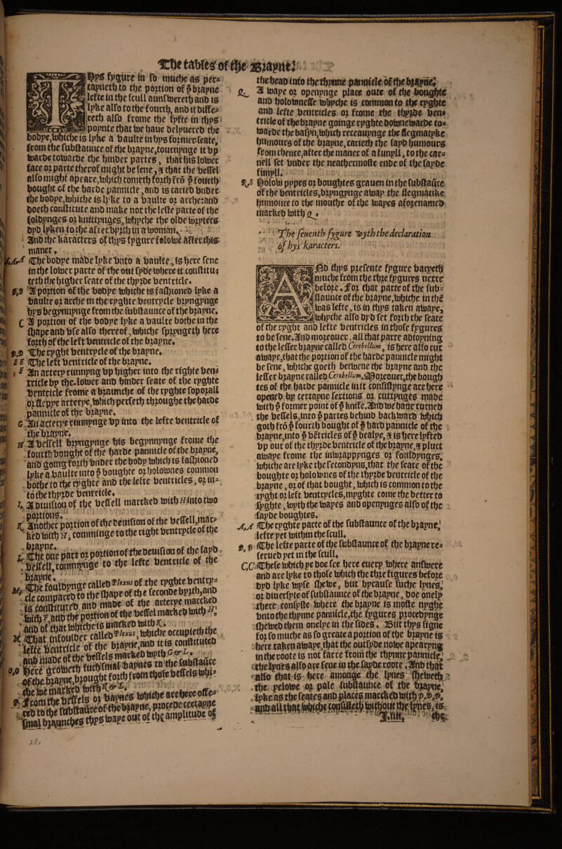 ' 1; I', mancr * j .. - ,, Cftf boDpe nill)elpfee1)ntb a l)atHtp,,(0l^ecefenc I i tf tl) t|jef)igl)ec feate of tftc t^jpiOc bentticle- ftB '3 pojttcrti oftftc tJODpe tol)tcf)e ts faOjioneO Ip&e a Ijattitcoj accfje in tijc tpgDte tentcpclc bipngpnge l)ps begf>tiupnge from rtie fubflaimcc of b japne* C SB portion of tbe boBpe Ipbc a Paalte botbe in ttjc i^pcanbbfcairo thereof, tobtcbe rpjpngetb bccc lotti) of tbc lett bmtricle of tfje brapne. ’Cfjccpgbttjentrpclc of tijr bjapne,, ee (CbclefttJentricleoftbcb.iapne* i ^ SBnartrrprunnpngbpbio^ft into tbrrigbicbcni tricicbp t!)C.lob)cr ano binbrr fcate of tbe cpgbtc tlpntricle frotne«bj;auncl)e.of tbccpgbtcfopojall o>a;eppr att?tpc,ti^icr) perfetb tbjtmgljc tbr batbc GStactfinto tbe Icff c bflitrwlr of ff JTjdrcIl Wgprfge bis begpmipngc freme «)c :foiirt6tro«gbtoftbf barbe patmicleoftbebjapnc, anb domgi^itb bnbef tbc bobp tobteb ts faOjtoncb Ipbf abaultniuof bougbte ojbaloiones common . botbe fo tbe i^Sbte anb tbcMtc bentriclcs, oj m-. tbfbetbwbcbcntricle* . . SbiSof tbe beffcll martbeb toitbHintottoo <Slfej;ps»s^ f I' 1 * in To iiiucbo as pBr« tapnctbto tbe portion of§b,tapne Mte in tbe fctill aunftoeretb anb is Ipbe alfo totbefoiictb, anb itbiffe? retb alfo frometbc fpftc in tbpS' . ^ J popnte that bjc banc belpucrcb tbe bobpe,b^icbcis ipHc a baulteinbpsfoimcpfcate,' ftomtbefubllaiuiceof tbebjapne,toutripngc it bp toacbetobjarbe tbe binbcc partes, tbatbislobiec face oi parjtetberof might be fene ,a that tbe beffel alfo might apeare,itibitb cometb fojtb fro ^ foitrtb bought of the barbe pannicle ,anb ts tarieb bnbee the bobpe,tobicbc is Ipbe to a baultc or arcbetanb boeth conftitute anb mabe not the lelle parte of the folbpngesojfentttpngcSjhJbpclje the olbeiojptefs bpb.lpben tqtbe afterbpjtljin atooman.. huiiMr ano ills nmWtiilW 1 36 toape oj openpnge place oute of the botij^e anb bolobmeS'e tebpebe iS tommonto tb^ rp^te anb icfte bentcicles o; fcome the tbp^e bem; tticleof tbebjapne goingerpgbtebotoneloacbe to» toajpe the bafpn,bibtcb receaupnge tbe flegmatpbe bitmoursoftbe btapne,cacietb the fapbbumoues jffcom tbence.after tbemaner of a funpU, to the cars nell fet bnber the neatbermofte enbe of tbefapbe fitnpli; 0 ti,s i^blob) pppes ojt boitgbtes grauen in the fublfauce Of tbebentricies.bipngpngcatoap the flegmattfee btimonrc to the moiitbe of the toapes afojenameb marfeeb toitb ‘^ T^he feuenth fygure l^yththedeclaratiott '■\/ofhys''k.aracters. ” - 1 jl^b tbps pjtefente fpgtire barpetb jmticbe from the tbje fpgnres ncicte befoic .^oj that parte of the fobs fiatmee of the bjapne,tobicbc in tbf jtoas lefte, is in tbps taben atoape, ___Itolipcbe alfo bpb fet fojtbtbe fcate ofdjcrpgbt anb lefte bentricles in tbofe fpgnres to be renc*ainb mojeouer, all that parte abiopnfng to the lelTer biapne calleb OrthcUum, (g alfo cut atoape,tbat tije portion of the bacbc panniclemigbt befene^tobtcljegoetb bettoenetbe bjapneanb the opeueb bp cettapne fetttons 0.1. cuttpngOs tpabe the bettels,into Ppartesbebiob baebtoarb fobitb goth fro I fotirtb b ought of f barb pahnitle of i bjapne.into § betctcles of § bealpe, ^ isbere Ipfteb bp but of the tbpjbcbentricle of tbeb?apne,5pluct aioape fcome the into^apppnges bj fonlbpnges,' irbicbe are ipbe the feconbpns.tbat the fcate of the bougbte or boloirnes of the tbP.tbe beotricle of the bjapne, oj of that bought, tobteb is common to the rpgbt or left bentrpclcs.mpgbte come the better to $gbte,toptbtbelBape0 anbopcnpngesalfooftbe fapbe bougbtes. vf,x (Cberpgbte parte of tbe fubHaunceoftbebjapne,’ ;lef te pet toitbtn the fcull* 9 ® Cbeleftepatteoftbefubttaunceof tbebjapnece* fetiiebpetmtbefculU CCiCbPfeb^icbpeboefce here eUetp tobere anfteece anb ate Ipbe to tbofe tobicb the tb^ffgures before bpb Ipbe topfe fbebse, but bpcaufc fuebe Ipnes,’ 0? biuerfpteof fubtlauncc of ftebjapne, boe onelp .there, tonfpfte tobere the bjapne is mpfte npgbc into the tbpnne pannicle,the fpgutes pjbcebpnge (betoeb them onelpe in the fibes ♦ ffiiit tbps figne for fo muebe as fo geeate a portion of the bjapue is intberoote is not facte from the tbpntiepanniflc,' ribe^nesslfba^i'ftfxwtbefiipbeccrotev^' ■ ^atto ^Hs-here amouge we Ipnes . the pclotoe pale Tubatiubce of tbe hjaptie'’