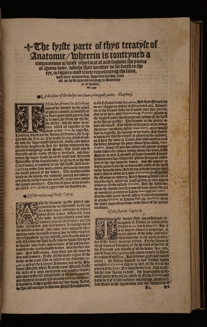 f^0 parte oftlipsi treatpftof ^natomie/tolerem is tontemu a compcnutoas ot b?cefe reDerfal of al of j^ans bobp, Wc^e tbaii Derafter be f^ m, <n ftfiures moft ipueip reptcfcntpnjj tDe fame, tdtti) rtjeit pjopoutonSjf^apeanOfattonSjCttni all as bptbep^actirecuttpnsein^lnatonria it ts founPr* ^f^AitnpfiK ofthe hodve intofoureprinc^judlpartes. Chapitu.j. He hodye ofmanfin defcribyng 0? eisf fceW «cmc ESirSctifi hSn S me of tt)e feconbe boUOfs bembeb ftito me partem, SSafiS to me,intOffyJ>MruOt l^rec.rJUMtmtg S StStpeVftte: CDefeconbe is m pawes a- h«?t& au towSeJ n Se botittSnattcU: (CbetWrbeistbepaetenejseabowc frrssMSSi • be necbe begpnnetb^ljnl' SSKft SwJ^bepacttb intottoo coUatctall partes bcpnge ' lactesbelongpnge tofte ^oul^Cpe 2B}ett,tobpcb |,flti,gh?tf,„tijei:«i,j,e0,lpengcabottetbelpuec,6i^ bepalfotaltbempbleiBealpoj^futncle,feDleneotmpltXpfettoiftt^fpattbcneatb^naupt pmestbebpperbealpCasmtbeepsbt feKmtottoocollatecall pactesl^enseoti cttbct fpbottthie oftbe feuentb bobe)be8pmietb at tbc t^ f^ aiiO tbe eraptpe oj raupl bones,^ ?LSSiSth comepne Sopbc paete ftom tbe neitbeenioae cpbbe oftbe bjdl lofeD oneptfjeefpoe «S &intbcbone.3nDtbetinUetbtbebon3tpi^:^ hcbitall partes of t^e boopt^ ^Cije ueptbceittoue rttai-tariiiigii» tl),»oettteacIitfromtbemH)ti9t,to^tbo»e«M^ IreScSeealUotS tmll8»t«5,bettiiT»!«b w piiupe memb jes •53JC ‘LPlKir Scn mS:ebe calletb Khtnm*!, 3inb tbe mpDlr be<s a caileb ts tbe jLeggcs anb tbe i^anbes^c ♦ ‘ j. _ entcelles anb tbe bone aboue tbe pji tip inenibtesjs calleo in Itatpn anO airtO tbe lafte paete tbeeof. tobet/ it enoetb ts naineo «, (iBPgfcggbWi^iw, (nXatpne?^®^ 0t fot fo Srtft/SflhS ttft place neicte aoiopnatmt to tbe beere of tbe piiupe tcpneo in tbe neptbetmofte beaip can ' ^u,-g jiiKOtopfelcitge ' Ofthejkyme. Cafitu.ij. jl^e ffepnne,tbat compaffetbanO eti' ujiappetb al§boDpe,ts calleo of tbe i<I5ccfee6©fn>i4,fttilLatpne«»«-3no it tsof otuees natute* ptopectpe, iti cetten places oftbeboop,anobari- 'etb atcotOpnge to tbe pacte o^meni^ i9-\0f the nethermofi healy. Cnpi.j. iDbaneipfcssonce OtfleuerpO fconi i ibe boop, tottboitt ftpntfe ^ nop onic -,tt2sJ'auour0,tobeeof oftentnnes atp etb ano lotbromnesjocontagjonsto «ebanOlers tbeeof, tbat none niape appjovbe tbec- nto to niabe OemonUeacton of anp me nibze ot paete rawwbtt inof,tDptbotrt 6teateDireaie,nioincauuua.i^ )^^:^^’etbatco:opnge to tbe pacteotmenii UtCbecfojetoelbaUfpjUetafeein b^^ to’)ece6n itlpetb .^ojtbeffepnneof too^tcbe otiee feate, an®IvrbJtheic na- # ^hnes of ? banoes,of tbe &ooles of Je fcte.of pneointbe tbefozebcao,aaoalmoUeofalltbebzbole fate pea, [ee, tbeie Otfferences, tbeic Uatc anO bft mape oe ^ ne ano bnotoen. pm aU ^ v S^lJ Z b? eeafon oftn-ircles. nm tcnoons gcaft anO toot^ ;alp ontbe ontec fpoe is mUeo ot tne ®ceciaus ; bo^e; «wLano of rtelatpncs J^omwt airt of M tbatts to fape.of tbebTeof tbe ans a^teacb.tobic® »ta®»an nmiie^^i^ j^j^g of tbe bjop.lno tbpa flwnneit is, tbat ts cal* Uacbeof a mojeconuement^Ope^ (fepnne tnoeoe, «je bppeemofteotb^ iotbantofleetbeteoiourneffeofctecunilo^^^^ moUe pacte U>beceof,t3 calleO tn ^ccbe^fffe^f^iSnp' tDSp?®clp,becaufeifts£ceaopaw^ batbefiittofttfelfenoteacenojfelpim,|?t;5to^^