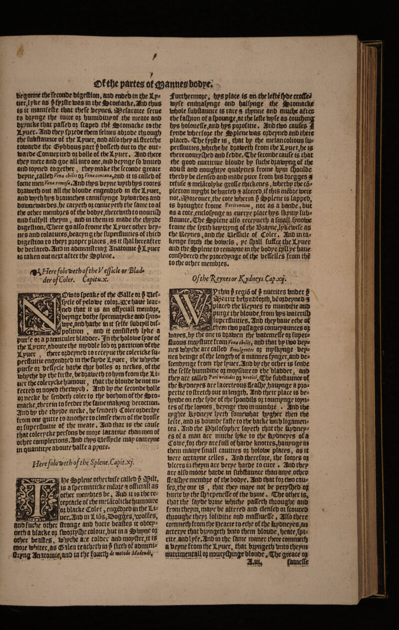 y eftDe pdtteg or tfeisohitr t^fecotibe DigeRfoti, ano rtttei) in uer,lpl(e as $ l»as tn tf^e ^totl^actte,3RiD t^us (s it manifefte t^t t^rfe ibepncft ^efaraice fecue to btpnge t^r iuice t^umibitia^of tbe meate anb t);iPncbettiatpafrrbo.t Tcapeb titt ^tomacbe totbe ^uee«3nl) tf)ep (l)ieDe t^m felties ab^tobe tl^jioug^ tbe fubflaunte oC t^e )lpuer, anb alfo tbrp al Qeetcbe totaaebe tbe (Spbbouspartf boITetbdutto tbe out' toacbe ConucFiteb ot bolle of tbejlpuee. ^inb t^ere tl^ep mete anb goe all into one,aiib bepnge (b bmteb aiibiopneb togetbee, tbepmabetbefeconbegreate ljcpne,callcb cfc/V)jojr<»<i:o«c4tM,8nb ittscallebof forne me>i '•‘«e/s.anb tbps bepne toptb bps cootes D^ametbout alltbeblotibe engenbteb in tbeXpuec, anb toptb bps bjiatintbes eamtfipnge bptoarbes anb botonetoacbes,be tarpetb oz comiepetb tbe fame to al tbe otbet memb^b of tbe bobpe,tbecetottb to nourilb anbfulfpli tbepnt, anbintbemis mabetbe tbpi^be bigedion.Cbere go alfo frome tbe Xptiec otbee bep^ nes anb tolatutes,beatpngtbe ntpecfltiiiies of tbitb bigeftton to tbept p.topee places, as it ibalbeceaftee bebeclaceb.3(ib tn abmtmdcing Inatomie §)lpuee ts taben out neict after tbe ^plette* jfuttbermojie; bPb iS oh tbe leftel^be ttpiUi tepfe embtafpnge anb balfpnge tbe ifetothacbr tobole fubftattnce is cate 9 tf^nne anb mticbe aftec tbefalbion ofa(bounge,attbelelletopreas tbucbmj bpsboloneirr,anbbPSpo;oritie« 3ltibttoo caufes fpnbetoberfo^ tbe #plenetoas o^bepnebanbtbere placcb. Cbefp^fteis j tbat bp tbe melancoliousfus perhuittes,tobicbebe bjtatoetb fromtbe]Lpuet,beis tbere noucplbeb anb febbe.Cbe feconbe tatife is tbat tbe goob nutticiue bloube bp fUcbeb^atopngof tbe abuh anb nougbtpe qualpties fcome bpm (botilbc tbecbpbeclenrebanbinabeptice ftom bibb^eggesf refiife ?fcmclatolpbe groiretbttfeenes,l»betbptbec6=» plejcion mpgbt be bucteb 9 alteceb,if tbis meb.te toece not.sjpojeoueCjtbe cote tobcrtn f Splene is lappeb, is bjou^te fcome not as abanbe,but as a cote/nclofpnge in euecpe place bps (fepmpfiibs llaunce.cbe splene alfo recepuetb arm^jf .fpnotoe fcome tbe fpictbbnpttpng oftbe©?apne,lpbeb)ife a6 tbe iSepnes, anb tbe tUelficle of Colee» 3fnb tn ta^ fepnge fojtb tbe botoels, pe Iball fuffcctbeXpnec erefoloifethoftheV effteU or ^lad» H.X. j0fotofpeabe of tbe (dalle ot $ tUef^ |fpcle of pelotoe tolo;.3ocebaue leae- 'neb tbat it ts an offpctall memb^e, bepnge botbefpecmatpcbe anb fpnos tope,anb batbe in it felfe fubtpll bif- 'tinfition , anb it confifletb Ipbe a puefe ot a pamitculec blabbec. Jn tbebolotoe fpbe of tbei.puee,aboutetbe nipbble lobo^pattttionoftbe iipuee t^e ojbe^iieb to cecepne tbe colecicfee fu:: pecfluitteengenbjeb intbefapbejLpnec, tbetobptbe owcfeoi beffpcle batbe tbte bolles oj necbes,of tbe tobptbe bp tbe fiefte, be b jatoetb to bpm feom tbe %U «ec tte colecpcbe bumout, tbat tbe bloube be not m- fecteb 01 nopeb tbectoptb ♦ 3lnb bp tbe feconbe bolle otnecbe be fenbetb colecto tlje botbomoftbe^tos niaebe tfiecein to fecbec tbe fame ntabpng becoetton» ilnbbp tbe tbPtOe necbe.be fenbetb Colecojbeclpe fcom one gutte to anotbec to clcnte tbem of tliebtolTe otfupecfltiitte of tbe meate. 3lnbtbat is tbe caufe tbat colecpcbe perfons be moic laratiue tbaii men of orbet tomplejcion6.aiub tbpsmiclfpcle mapcaitepuc tn quantitpe abotite balf e a pptite. UerefoloTt>eth of theSplene.Capu.xj. l^e S>plene otbettoife talleb f il^ilt, ts a fbermatiebe m&je 9 officiali as btf;et membzes be. 3nb it ts tbe te= .ceptacle of tbe metacoltcfeebumotire ojt blacbe Colet, engcbjeb in tbe XLi= uet.3fnb in Uios»i conlpbcceb tbepjocebpnge of tbe bcffelles fcom tb^ to tbe otbee membjes. > •' , _ . - ■ • Ofthe^jKesor^dneys.Cap.xfi , ^tbtn f cegi6 of | nuteites bnbct f i^atctic bebpnbfojitb,beo^bepe&$ placeb tbeiSepnes to miinbtfteani» pticge tbe bloube,ftom bps toatettlQ fupecfluities.lnb tbepbaue ecbe ot tbem ttoo paffages conuepaunceso; toapes,bp tbe one is b|.atoen tbe toatecneffe 0^ fupec^ IiUQus mopff ttcr ftom %4 atib tbat bp ttoo hep* nesh^pcbe:acccallcb Emulgentes oi mplbpnge beps hes beinge of tbe lengtb.of a mannes fpngec,anb be^ fccnbpngc fcom tbe lptiec.3fnbbp tbe otbee ts fenbc tbe felfebumibitic ojmopliuceto tbe blabbec, anb tbep ace talleb oj >^w,(5[:be fubffaunce of Bnbfucbe otbet tttonge anb botte beaffes it obtep* hetb a blacbe oj Itooitplbe colouc,but in a Sibipne oj otbee beaffes, tobpcbeare tolbec anbmopftec,itis mote tobttec,as usalen teaebetb in ? ffttb of abmtnis ttcpng 3to3tomie.8no ia tb> pectie to ffcetcb out in lengtb. 3llnb tbete place is be:: bpnbc on rcbe fpbe of tbe fponbils 0^ toucnpnge topm: tes of tbe lopnes, bepnge ttoo in numbjie . Ifnb tbe cpgbtc lapbnepc Ipetb fometobat bPSbec tben tbe Iefte,anb is bounbe falle to tbe batbe toitb ligamen- tes. 31 nb tbe i^bifofopbec fapetb tbat tbe &pbnep: es of a man ace mttebe Ipbe to tbe Ibpbnepes ofa Cotoe,foitbep ace fnU of baebe bnotte^banpuge in tbemmahpermall cauities 0^ bolotoe places, as it toece qcctapne cclles. 3|nb tbecefo^e, tbe foo^rs of, blcecs in tbepm ace beepe baebe to cuce« 3btb tbep ace alfo mooK batbe in ntbffaunce tban anpe otbep Sealbpe mcnib^ie of tbe bobpe. 3tnb tbat f 0^ ttoo cau^ fes^tbeone ts , tbat tbep mape not be petpfbtb o|; butte bp tbe (barpeheffe of tbe bjune. Cbe otiier is, tbat tbe fapbebiine tobiebe paffetb tinotigbe anb fcom tbepm, mape be alteceb anb clenrebotfcout^b tbtougbetbept foltbitie anb maffitteffe. 3(Ifo tbere coinmei^ ftom tbe ^eacte to ecbe of tbe j^phnepes^an attetpetbatbi^pngetb bnto tbem bloube,beate,fpt:: rtte,anblpfe.3nbintbe fame manet tfietecommetb a bepne fcom tbe JLpuee, tbat bjpngetb bntb tbepm liuttimimfaU 0; noutpO|itn^blottbe * i^gceace oi