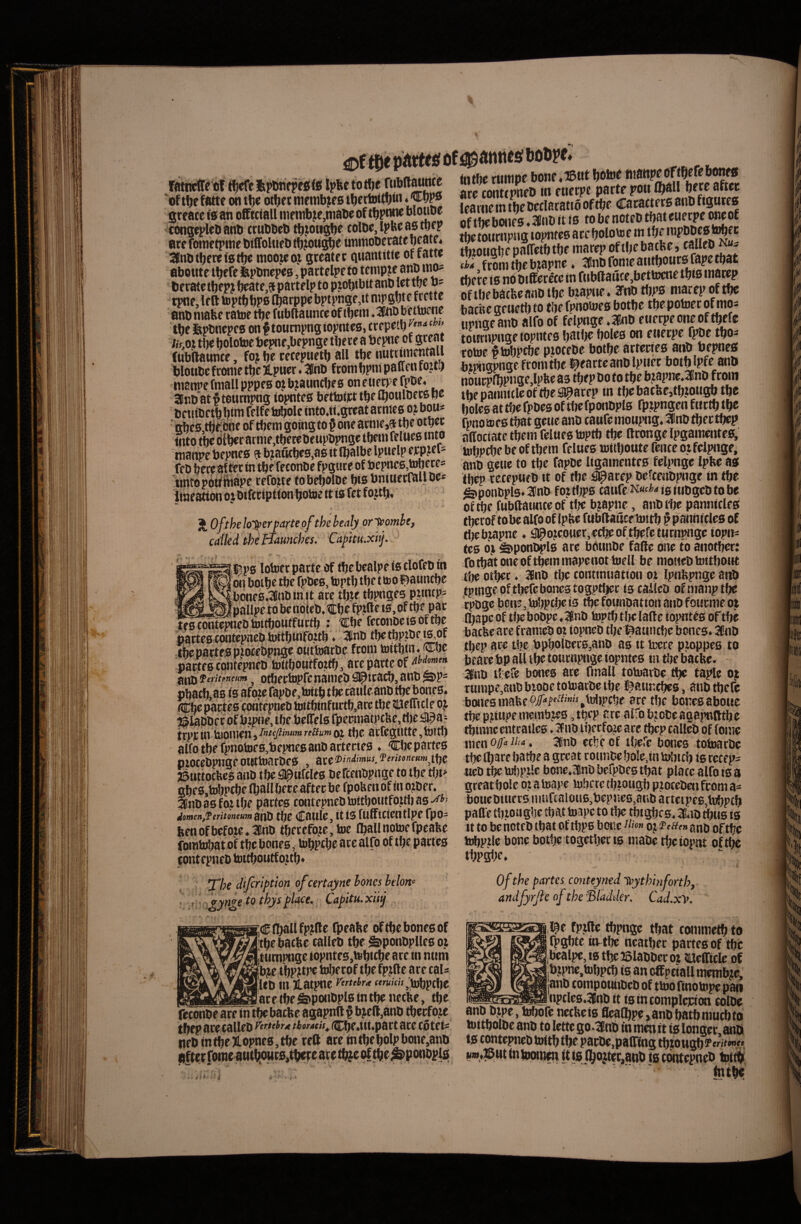 SSS«'<W< parte^%l im alte learne in thc Declaratio of Cacactrrs anD figates of (1iebwip0 «SlinD it is fo bc notcD tbateuerpe owoE tbe toticnpng lopntes acc tjolotoe m fi--* froni ti)c bjapne ♦ ijnDronicaiitfjoursfapetbat tbete 16 nb Differ ece in fubffauce,bettoeoe tifis matep oftbebatbeanDtbe btapiie. SPnDtbps marepoftbe batiteSfuetljto tijcfpHotoeebotbe tbepotocroftnoa urnae anD alfo of felptige »3l!nD etiecpeoneoftbefe towrnpngetopnteB batije boleo on eticcpc fpDe tbo- of tbr fatte on tbe otber membjee tbcrt»tfbin greacc (6 an offtctall me nib?e,niaDe of tbpnnr blouDe iongepleDanb truDDeb tbiougbe colDe.lpfeeaBtnep are fometpme DiffolueD tbiou^e uninoDccatc beate* 2lnDtbecei6tbe moojeoj greater ciuantitte of fatte aboute tbefe jfepDnepee, partelpe to tenipie anD in^ Deratetbewbeate,9partelpto pjobibitanDlettbe 0= tpne, le ft iuptbbPD fbarppe bptpnge,it nipgbte frette anD niafee ratoe fubllaunce of tbeni ♦ SEtiD bettuene tbe iipDncpee on ftoumpng iopntee, trepetb ihfii tJ)€ bolotoe bepne,bepnge tbe te a bepne of great iinu^Lwiiie.Irbcaa tber Doto tbe btapne.^nD froin tn8nrefniallpppc0ojb?auncbf6 oneiie^efpoe anbat^toumpng iopntee bettotpttbefl)oulDet6be DetiiDetbbitf felfe tobolc into.it*gteat atmee otbous ■ abe6,tbefbne of tbem going to § one arme,® tbe otbec tuto t^ bl^c arme.tbeteDeupDpngc tbenifelttee into tnanpe bepnee ^ b?au(be5,a6 it Ibalbe Ipuelp ej:p?er=: feD bere aftec in tbe te f onDe fpgtire of bepnc6,^etes tintopbtf^ape refotte fobc!)OlDc bis bninerrallDe* Iineatton oj Dtfttiptton boine It is fet fojtb. ^ Ofthelo^er parte ofthehenly or-iromhe, cailed theAunches. Capitti.xif *» -Jj5^P6 lotoer pacte of tbe bealpe is clofeD in M «1 botbe tbe fpDcs, toptb tbe tiro ibaunebe %6ne6.3lnD in it are tbte tbptiges pnneps pallpe to be noteb. €be b^fte te, of tbe par i^icwtepneDtottboutfurtb : tCbe fcconocieoftbe noutJSp«se,lpbea3 tbep Doto tbe btapne.3BnD froin tbepannitlcof tbe^arep in tbcbacbe,tb:oiigb tbe bolcB at tbe fpDes of tbefponDplB fptpngen fiictb tbe fpno i£D e6 tbat getie anD tanfe moupng. 3lnD tbec tbep affociate tbem felnee tuptb tbe ftronge IpgamenteB, tobpcbe be of tbem felues roitboute fcncc 01 felpnge, anb gene to tbe fapDe ligamentee felpnge Ipfee a6 tbep rccepufb it of tbe #arep DefcenDpnge in tbe ^ponDplB. SPnD fot tbps caufe 10 ttiDgcD to be of tbe fubftattttte of t!;c bjapne, anDtlje pannicleB t^cof tobe alfo of tpKe ftibffaucr loitb ^ pannicleo of tbebtapnc. ^otcouer, ecbeof tbefe turnpngctopn^ te0 6} ^ponDplB are bbtinDe faffe one to anotber: fo tbat one of tbem mapenot itieil be moneD toitbout tbe otbec. HnD tbe contmuatton ot Ipnbpnge anb tpingeoftlterebonestogptber 10 calleo ofmanptbe rpoge bon?, tobp^ is ^e fpimoation aiiD foutme ot fbape bf ti)e boope. nD tuptb tbe lailc iopnteo of tbe i2tra SSSSwK. S tbe tbP be 16 of batUe are frameo ot topneb tbe^aunebe boneB* 5«nD JtarteBContepjiepiwrnintojm. - boholoccB-anD as it tecp uinnncfs ta -tbe partes pjiofebpngeotitiuarDe froin tuitbin.Cbe partes contepneb luitbbntfottb, are parte of aMmen ttv^feritfneum ^ otbectopfcnameb Slpiracb,anD^P' pbacb,a6 ts afote fapDe, toitb tbe tatileanD tbe bone0. CbeparteBContepncDtnltbinfurtb.aretbeJiUeirtcIeot ©lapDccof bipne, tbe beffelo fpecmatpclte,tl)e St^a-^ trprln tupnten}i**/i'“’“ii““Oi tbe arregiute, tuiti) alfo tbe fpnolne0,bepne0anD artecies . 'Cbcpartca ptoceDpnge owttuarDeB , eiteD‘ndimus,Terimeum^t[fe. jSimocbes anD tfje ^l^nfcleo Defcenbpnge to tbe tl)t> gbeB.tubpcbe (ballbeceaftecbe fpoUenof in otDer. 3nD 36 f oj tbe partcB contepneD tuitboutfoit!) 80 dmen,ftriti)neum ahD tbe Caule, it 10 fufficientlpe fpo= feenofbefote.SfnD tbecefote,tue (ballnotuefpeabe fomb^at of tbe boneo, tobpcbe are alfo of tbe parteB tontepneb tuitboutfottb* !Z7?e difiription of certayne hortes helon^ y ? to thys place* Capttu* xit^ Clballfptffe fpeabe oftbeboneoof •tbebaebe calleD tbe ^ponDplleo ot ttimpnge topnte0,tubtcbe are in nnm bte tbpttre fabecof tbe fptfte are cals !i«d in latpnc yirteir.t «>T«*K>bpcbc ace tbe g>potibpl6 tn tbe netbe, tbe feconbe are in tbebacfee agapnft f bjeft.anb tberfoje tbep are calleD yirteh^t thratis^ iCbe«iii>partace cotet* iieD in tbe JLopneo, tbe reft are in tbe bolp bone,ano After fome atitt!our0,tbete are tb^e tbe ;&ponDpls tbep are tbe bpboiDec6,anD ab it tuere ptoppes to beare bp ali ibe toucnpnge iopnteo in tbe baebe. 3BnD tbefe bones are bnall totuarDc tbe taplc ot rumpe,ant)btooetotuarDetbe i^auntbes, atiD tbefe bonesmafeeQiToi-f^ii^.tuljptbe are tbe boneoaboiie tbe ptiupe membjcB, tbep are alfobjoDeagapnntbc tbinnccntrailcB. 3tno tbecfojc are tbep calleD of (orne men o/« ii--*. 3fnD ecfjcof iljefe bones totuarDc tbe ibare batbe a great romiDeboIe.in tulncb i6 recep= ueD tbe tu!}p.tlc bone.3Bni) befpDcs tbat place alfo 10 a great bole ot a lua)>e tubere tbtotigb ptoceDcn fcom a- boneDiiiers niufcaloti6,bepnc6,aiiD artcipe6,tubptb paffe tbiougbe tbat tuape to tbe tbigbcB. 2SaD tbiiB 10 it to bc noteD tbat of tbp6 botte ii-» oj auD of tbe tubptlc bone botbe togetbee ib inaDe tbeiopat oft^ tbpgbr. . ^ Ofthe partes conteyned 'ivythhiforthy andfyrjle of the &adder.' Cad.xy. I?e fptffe tbpnge tbat commetb to fpgbte in-tbe ncatbec partcB of tbe bealpe, 10 tbe lolaDDcr ot miefficle of btpne.tubpcb iB an eff petali memb^e,' janD compounDeD of ttuofinotupepai) -^ npcle0.3!nD it iBincomplcpion colDe anD Dtpc, tnbofc necbeiB flea(bpe>anDbatbmucbfo tu ttbolDe anD to lette go .lEnD in men it 10 longer anDt t0 contepneD tuitb tbe parDe.pafffng tbtougbferW. «w,JBwt tn toonjm tt is (bojtet,ai)D ts contepneD tot^ tntbe