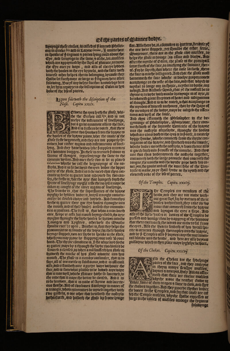 ongtaetebfJwanDlnjLatpnc^^»»' oraittebctf toTpeatte of $ regiuns 9 partes tping rouo about tbe Cpe,anO fcrupngeto t^e fatura oftbc«t>u*»nurcIcs idbitb are appopnteP bp tbc (bpll of |5atare,to tume (Cpe etirrpe faiape , auD alfo of tijeepelpbPes lottb tbe booles in tbe ep e bp^els, aitP tbe fatte lottb Piuerfe otberbelpes tberto belongnig,bpcauret(iep fl&albe fet fuctb moje at large in f figures afte e foloiuing. ©ut pf anp bcfpjc f urtber Hnotolebgc bere tn,let bpra tepap;e to tbe Difeription of <15alm in bps bobeoftbebfeof partes. \liere folo-ioeth the diferij^tim of the Noji. Cajntu xxxV. t iCttoenc tbe epes Ipctb tbe i3ore,ttbt= ,ebe tbe (Krebes callui™, anb is not ' onelpe tlje tnftrunient of finellpnge. I^biit a great oinanient alfo to tbe faee. i|3bib it is ftrde to be noteb, tbat tbere _itonie ttoo fptiotocsfroni tbe btapne to tbe booles of tbe b japne panne,tober tbe tauite of tbe |5ofe fiefte begpnnetb,anb tbep are not pjoperlp fps notoe6,but ratber oigans anb tnftcunientb offnicl- Ipng. inbtbep batiebeaDeslpbefmpplesotteates ofa toomans btigges.3|n tbefe is receitiebf oDour oji rauour of tbpnges, repiefentpnge rtje famrto tbe commontopttes.Sfnoouectbefetteo is fet oi placeD coUtorium tobitbe toe call tbe begjnmpnge of tlje no= ftrpls.aino it is fet bettoppt tbeepen bnber tbe t^pec parte of tbe ^ofe.Bnbit is to benoteb tbat tbPS ton* tauitcotbptbcotguttetiDas oibepueb foi ttoocait^ feSjtbefirffeiSj^attbe apte tbat bttngctb fottbtbe fptriteof ftnellpnge nipgbt refte tberm tpllttniape be tabenct caugbt oftbe inner otgansof fniellpnge, Cbe feconbe ts, tbat tbe fuperfluities of tbebjapne mpgbte be bpDDen bnber it,bntpll itmpgbt conuenia entipe be rlenfeb atoapeanb bc^beb. ^ib fromtbps bpebe oj gutter tljere goc t!*io bodes tb?oiigbe into tbe motitb.anbof tbefe boolfc artfetb tbte commobi- ttes ot pjofites.iCbe f scft is, tbat toban a man boctb rate, Qeape o? tede.bis inoutb bepnge clofeb,tbe apic nipgbte tb?ongbe tbefapbebooles be btaieen intotbc jLoiinges anb Jlpgbtes, otbertupfc tbe Sjpoutbe fboulbceucr beopen. 3(notberts,tbat tbep belpe tbe psonunciatt(m ot foutibe of tbe bopcc,fw tbefe booles bepnge (loppeb,nien are ftpbe to fpeabe in tbe.fl^ofc, tobicb poti niap pwtie bp ftopppng pour nofe B pout banb.'Cbetbptbe toniobitie is, § tbe afotefapb bpdje o: gntter,niape bp 9 tbjoiigb tbe fapbe ttoo booles be feoureb 9 tle nfeb,as u^en a nia fnuffetb bps ^fe oj ti,tatoetb tbe mticbe of bpa ii^ofe intoarbe into ^s ntoutb .Cbe/Bofe is a inentoteconfiiniler, tbat is to fape,all of one mettle ot nibllaunce,anb it ts oSiciall 8lfo,anbitfltanbetbottte ap^etpe toapetoitboute tbe face,anb ts fontetobatpliabletobe botoeb anpetoape tbataniantopll,tobtcbe^53ture batbefo fottrmeb,to tbe enbe tbat ttinape tbe betterbe rlenfeb. 2Ribit ts to be bnotoen, tbat it ts mabe of fbpnne anb lacerte^ ous 8ea(be«Sib of ttoobones ftanbpnge in maner of 8 ti:iangle,tobofe ejetremitirs be iopneb togetber toitb ttoo grillels, 9 one otber tbatbeutbetb tbe noScpls iDttbtnfuttb.ano bolbetb P^iBofe bpfromelpitise flat.3Hfotberebe.tf.t5caufte0Pt^fffi»»l'«^epf 8)c one teere ftoppeb, petfbo«U« otber fenie* ^oojieouer, tbere are in tbe 0oU ttoo ttutfd^.ttr belpetlje^ofctnboinge In® Duetpe.SInli aftettbempnbeof<Salen, tbe/i2ore istbe pjtncipall fettcrfuttboftbe facias toticbpng tbe fauotite.tber* of.jfotbrfapetbjtbattobere tbe nofe latlvetb,tbett tbe fate ts mucbe biffigureb J'nb tbat tbe iBofe moli? betommetb tbe face tobitbf ts bnelpe R«ip(^crone& accotbpnge to tbe celte oftbe face,anb tbat tobpcbtff neptber to longe no? tolboite,ncptbertob|obe.rio?i tobtQb.3nb3trtllotle(iipetb,tbat pf tbe neftttll beto ibpnneo?totopbetoitbmndjeb?atopi^e niof apte,tt betofeenetb great ftreptnes of bcart anb tnbignatioti of tbougbt.3fnb tt is to be notfb,9tbatatco?Dmge to tbe nipnbes of btuetfe autbotics, tbat bp tbe ibapc of tbe metnb^es of tbe bobpe,niape be tubgeb tbe aS^ec^ ttonsanbtopllof tbe foule. 3nb tbps effirmetb tbe )0bilofopbec fti tbe be« gpnninge of i^btlofopbie* iji^oo?eouer, tbere cotn^ metb furtb of tbe fotmofte tiaentrttle of tbe btapne into tbe nollrpls afojefapbc, tbiotigbe tbe booles tobicb are como botb to tbe epes 9 to f nofe, a meateip bpgge fpnotor, tobtebe connnetb from tbe tbp?be con- iugaiion of tlje b?apne,ano fptcbctb into tbetttniclej idnebe bnber topnetb tbe noftcpl6,9 frmii tbence alfo it goetl) fo.ttbinto # couffe oftbemotitbe. 3fno tbps tore tbat tinis bnbcnopnetb tbe noftrpls togetber,' contintretb toitb tbe large pannrcle tbat couerctbtbe tongiie,tbe montbe anb tbetopnbe pppe toitb bis co= ttcr,pea,tljcgoulctanbaIl tbe «mecfpbc of tbe iSJen^ tcitleoimatoe.aspe iball fpnbe in tbcnpntbanbtbe' eleuentb bofee of tbe bfe of partes» t Of the Temples. Capifu. xxxyf ©e (Cemples are membtes of tl^ , beabc,anb tbcp ace not niabe toitb= l,out great fbpi/ojbp meanesof tbeic booles toitbniftirtb,tbep tabe tbe btt biotir tbat commetb from tbe bjajHie anb bjprigcn tbe epen a flepe. ilno alfopftbefapbcboolesoi bentesof^Cemplesbs pieffeb anb toiotlge tban bp trapppng,of tbe bumotuf tbat tbere comtnuetb,tbe tcares acrmabcto fal feont tbecpes.Slirotbe l^eartefenbetbof bps bptallfpii rite in arteries tbiougb tbetemples mtotbe btapne anb bp f Cemples alfo § btjmes carptbenutf imen» tali bloiibe intotbebeabe, anb becearealfobepncs ptilfatpue tobtcb m tbps pfate mapclpgbapebc buct^ of the Chekes. Capitu.xxxy^; i|ii5b tbe Cbebes are tbe rpbeipncte partes oftbe face, anb tbep contepno m tbcpm manpe fleaibpr rnuldes' metb tljat tbecc are ttoelue miifcles thrm tn nn'****^ neatbcc cbatoeoi