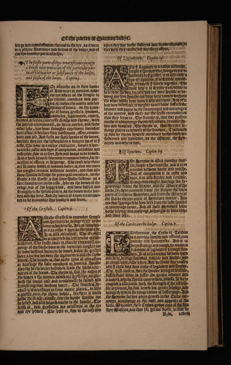 teD sc ant) mamMatlon tlieteof to tf)e epe, as it tuere f n a plapne ^Inatompe ano fectton of ttje boOpe,anO of aierpc Hienibje pertitnlatlpe* it<rhcfirjle parte ofthys treatyjeconteynyn^e a briefe interpretacion of the partkulerpar* tesofthematter or fuhjlaunce of the hoctye, andfi)jieoftl}ehones. Capku.j. afiiuicbe as in tbps boofte ot 3Bnatonipe is ntencion inaoe cpc tobere of tbr fpniple oj ^^!^«perticnler niembies anO par=^ ratbec tbc nwttcr ano fub |ftauoceofboHfs - as fo,i ejcanis ple of bone6,gcptlels,fpnotDes, iuanniclcg Ugaineutcs, tojOc», l)epnes,actenes,fatteneire,fleal]^e ano fbpnne, tu f tb tlje partes ercrcnientall, as brerc, naplcs, anO fucbc orijerlpbe.webaue tboiigbte erpeOimte fomtubat brrr afote to Oetiace tbcir ftibftauntc, office,comniOi Oitic ano Ofe.ainO fir(le,toe (ball fpeaUc of tbe bone s, becaufe tbep are tbe fultcntacles ^ bearefs bp of al § tefte^^Cbe bone is a inebjc conftmilar, finiplc j Ipecs tnatitbe,toloe ano o^pe bf complerton, infenftble anO tn8cictble,tbat is to rape,8pfe ano bnapt to be botueO* 3lno it bart) Opuetfe f onmies in manncs boOpe,f oj Oi^ «erfitieof offjces in belppngc. tcbrcaufetubP tbrre are fo nianp boncs in niannes boDpc,iB,tbat one niein brentpgbte remone toitboute anotfjer, ano ttjat alfo forne IboulDe oefenoe tbe puncipall meinb^es, as tbe ^eaoc9tbei5?efle,?itbat fomelbulOefuftcptie as a fure fomioacion to tbereCle ,lpfeeas tbebones of tbe rpOge,ano of tbe leggesooe, ano fonte fulfpll ano ftrengtben tbe bololu places,as fbc bones in tbe ban= Oes ano tbe feete.3fnO tbe bones of a man are actoun* teO to be tnaumb;e tb^bunOKb ano feuen* ^ Oftbe O/yJlels. Capitu-f enrcstbepOoe botb^ 'i 't ■■•.ej ■> • 4 . i Capitii, tf ■ T./l/ ‘-4 '|50p _ fimple 5 rperhiatitfee,betngenejcte in baroenes tof griilel, it is alfo colO ^ tjbtie Of cople)cion,it is flejciWie, ihfenfts bie.^bmoetb f bones togetber.Cbr caufe tobp it is flerible^nnfenftbleis beretobe flbetnco,foj pfitbaOiiot bene Sepiblein b(M tbe otber baooe bene moueO alfo ibitb bprii. 3Bno pfi t labonre anO papne in tbe toumpnges anO monpnges oftbeiopntfS,anO tbefe are tbefpjftecommooities tbat tbep fectieto. Cbe feconoe is, tbat tbep pfofpte tnticbe tn aoiopnpnge tbepbt to fpnotues, to raafee cop: Oes ano bjatones ♦Cbetbp.toc is, tbattbepare re= ftpnge places to Opuerfe of tbe fpnotues ♦ Cbe fonrtb is,tbatbp tbepm opuerfe membtes tottbinfotitbarc fnftepneo ano bpboloen.as tbe ^atcip,tbeitpO?. nepes anootbersmoe« XOfSymtees, Capttuiif j^eStpnovue iB alfo a raembje firaf^ lac,fmiple ^ fpcrniaticUe, anO it is in a meane bettuene baroe anO nealbe* |:3(lnO of compleirion it is colOe ano Oipe, it is alfo flejrtble anO fenfible,' ,,, ftrongeano tougbe,bauj«ge bis be* gpnnpnge frome tbeiSjapne, anO tbe ^arepof ^ bacbe,fottbccecon«netb fronte tbe25?aptietbefeup papie of fenfatiite fpnotues,anofront tbe ^arepof tbei&acbetbpjtpepapje of Stiniotoes moture ♦ KItto A \ ^ Ji50tbe<®rp(lelli6 antembfe fpmplc anO fpermattc}»f,betnge «terte to tbe jbone tnbaroeneffc. 2lito tn compleri^ on it is tolbe ft otpe as tbe bones be. ,3Iti6 alfo infenftble. Cbe (Brpftcll II miiii mi Illi otOepneOfojfprecaufesojcortts iioOities.Cbe fp?ae canfe is,tbattbeconttiiuall nto^ upnge of tbe barOe bone in tbe iopneture mpgbte not be obne tuttbotit burte to tbe bones,Oiiles tbe grinell toece a meane bettuene tbe ligamentes ano tbe f^oe boneS.CbefefonOeis,tbatintbe tpme of concunton Oi bitifinge tbe fofte mentbjes oi Ipmmes fboitloe tberebpbetbebettecoefenoeo fto«n tbe baroeertre^ inities of tfiebones. itlCbe tbP.tOeis, tbat tbe cnoe^gt tbe bones tbe iopnte6,toAitb are gtpftellpe,mpgbf e tnttb tbe mooje eafe ano npmbleneirebe folOeO.ano frettfO togetbec tottbout burte ♦ (5Cbe fonrtb t6,bp- cauf^ it is neceffatpe infame meane places, to fette agrplile,ast«t tbe tb.tote botole, fo^tbere tt ooetb hoioe tbe flealbe alottffe,tbat tbe lupnoe Ibouloe npt be letteO,aoO alfo ^Ipetb mnebe to tbe fotittO^ fpfft ts, tbat gcptlelles ace necelfatpe in tbe epe (ino epe Ipooes, ®be Ipitte ts.tbat to tbenoveano ojtoiitnpngeiopnte-. JnO ali tbefe ^pnotoes baite botbe felpnge ano inoapngc.altbongbe in forne mdje ano foine leffe. Of the Cordes in the bodye. Capitu.V. iBrtbermote,tbe Cotbc ot 'CenOon isa memb.te fimilacauo offictal,coni potmOe aiio fpennatitfee. 3flno it ts berpe ftrongeano taugb,bp meanes tt iSmaoe of Itgametes a totigb fmo tees.^it is alfo a meane bettuene batO anOfofte.bepngefdmtubat fenftble ano flerible,ano in ' ^ i w dllK fp?ft caiife iB,^t tbe fpnotue bepngal fenfible» futofetbttbtalbne to fHftretbe/0jc^e>toboucrano tratiaple,iubtibc IboulO coine to bpni,bnle6^be toete coupleO a aftociateo tnitb tbe ftrettgtbof toeinfepl^ ble Ipgamentjfof, tbat lettetb bto tipnge,accofOpn5e to tbe •topll anO appettte,pf tb® foule.^oteotier,tbere Co^Oes gcoitue outc pf (bpe i^itrcle0,aoD tbat fb^ geeate WpUe, m Ib^t ne