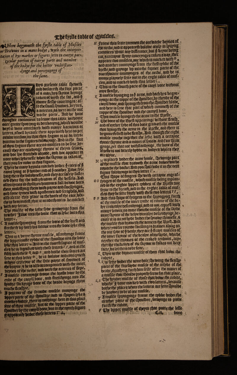 ■jcjiefy^etaweof «tsiutties. thfyrfiiM o/M«#. « jrlBrtflJJW* in a nums bcidyt > leyth the. interpre*. tacim of hys markes or figures jette to euerye par*^: tycular pcrtion of euerye parte and niembre bodyeforthe better y>nderjlan* ■ dynge and perceyuynge of tbefame^ , , pertente table n^cinett) anbPcdatft^ t!)ffoie parte of a majii»)p0fkpmie bcpnge 'tafeenoftoptb tbefat,atit)§ Ibinne 8f(bP coiicemges: aU fo tbcRnaU rpnotoc3,berncs, at5tecie0,a0 tocre on tbe ouf _ —-^imarftp parte. iboM^tc Tbiiucnteht to leawe tbt0 tablc ^uboute oUec greate fpottpng ojbetcbcjrpngjtobicb tooulbc * bepf tt toere cnteclacft) toitb iiiaiipe bacaeteto ot [ctter0,a(toU bpcaufc tbere appeatetb ber® no pe? tKtilacnictfion,a0tbattbp0 fpgnr? t^a? a» mittton to tbe figntea folotopn^.lnb w^be fate of ^P0 fpgwte tbere ace no nuiftleo to bf cauretbepaceewebpnge tbpnnc ot tbcpm feUie0, arSrbK fttSJb abiobe* anb bo^^^ noneotbeKpftencffc tobetttbeibpnne t0 tabenof, Cb«c be nianp bpjntta raarfeeb ftu pa«3 Ipinfl at ^ ^bcr enb of p nea%c jab^^^f* IpttgtfJce bolotoneffe,anb nebtbere foi tbe biftcpbutton of fljebeffete^tJ^ offen tpniea th tbpfbjettbuniotttafall bohJoe;biJttt SSSSs^eStmWpapneanbtoellpns^^^ anb fomc tpnie0 tottb apoftemea anb fccopbtlf^^' alfoaboue tbis place tgtb^booleoftbe.eac^t^i* tbet0 foinanifcttitbatit neabetbnotto be in^ ^te‘MuRie^<rffbe lefte fi>be grobjpngc tieatbec 3Rabje ittto tbe bone tbatt^ipbe bntatbi0i. ^nrofcle rptwigfng fcom tbe bone of tbebteR^M Ktedieib bp tottb bia felotoe intOitbe bonefpbetbt^ Sa wa betpe tbpnnc mufcle tbe bnoecniolte cpbbc of tbe. fbonlb.^ •bto tbe bwic \ KraWter%5«nb witbc fottdbfi^^^ cipfi bf tg (tatitf ieb toitb tbefe Ittterg ^ ^.;anb in tlje SAtolS «lanb«,anobotlte tbetrfcateaaw fS2a letter ®, be ia bolotoc anb cont^nctb. t«aifodccoiw^ toirtjt^e pincc. ^ __ifl» l1>reprfhmiiTe ttltO ftconbe mufirte monpnge tbe tttenetRe.anouappeBwvoMtw^ cteatiitea ‘tbout anp bifference^but ^ bepne bemg cut,5i cectapne apmp couctpngea t®ben ato^^c appeacc ttoo mufcle0,one tobttb ia marbeb toitb ®* anb anotbec tommpngefcom tbe firftepbbe ofw biclle,anb gopngc bp intotbe fo?niec patt£®“ba oiiectbtoatte toiimpngea of tbe wtke anb ^«« moojte plaptielp fettr out in tl)e epgbt tftble of iuiUt , tle0,anb ia niacbeb toitb tbia lettec C , h,* I ®bia ia tbe fonttb pacte of tbe taiipl bone tottbout jr IT^W^pnging to§ atme,mibbMf^P0 beg^ ^ npnge at tbe toppe of tbe canpUbonc,anbfpdngetbfconitbefbo«lb«bIabe,^ anb bete iafene tbat pattoftobicb toinmetb of tbe toppe of tbe fbotilber anb tbe tannpU bone. , CbiB.mnrcle bitngetb tbe acine to tbe ptepe. w Cbe bone of tbe !5ieft appearinge tottbout flealb, anbof cptbec fpbe of tbia bone grotoetb tbe^titcte tbatbiingetb tbe acnieto tbe iBjefle.^b^ecett begtnnetb ficfttobe feaibe.lBnb tbou^tbe ctgbt mufcle touc^ toge^ec tbe lefte toitb a^cectappe tbinne ftpnne anb a inanec of fpnoto anb f me fp^n 5Pnge,pet tbatnot toitbftanbpnge, tbe bone of^e ®.ie(to ia not btteclp bpbbe in bobpea tobifea tbep,, atealpue. s . /iu V wiaplaceb bnbectbe acmeboole, Cbetopngepatt ^ oftbemurtlc tbat bjatoetb tbe atrae botonetoaebe totoaebe tbe bacbe:31nb pou.flbal finbc it m t^ nept Sa ^a^of ^toetb cectapne mgeaf^ 0 0 fpngea of tlie ratifcle, tobitb rauftleteii^ tMlw« te& M tbe cpobte bppet c^ea of tbe ©telie boe feeue totbebteatb,ano t«tbejep8bt?t^ttf niw&r eWatbepbefettefoitb tot^ tbefettoo . f f 38nb ttiialbapeof^ngecaiatbe fpjpngpngf^^ of tbe mufcle of tbe innet cpnbe oi tirarae of Je b^ b>e ctobeolpcbercenopnge,anb la ^ ' tnanpe lcttetg,no raoje tb^itbe raufeie of tbe fapbe, innet tbpnne of tbe belpebicectl^ bcfcenbpng^b^ cilfe it ia aa petbpbe bnber tlje fpnotop tbmne^,® tberanftle tbatb^toetbtbeamietp tt)«^te(l.3lnb. tobetepottfce eounbeftoeUingea watoen almigoit tbe ottt fi>oe ofbealp.tbep ace piteapt mufclea of tbe innet rapnt^ of tbebealpe afoiefapbe, tobicbe^ neVtbec tbetbpraiea of tbe ttobeb t^nbona,nep*; tbrtie tlicbeU of tbe fbptme m folfeea not becp fatteboleftberatobefene. ' ii^Cbps latbe fojraecrauftleoftbera tbat botoe tbe ^ S^ffee »t tbe atmebole^fbetoing^fleamp oacte of tbe. foiefapbe raortle of tbe infpbe of tbe beaoe,tbtiiftpng futtbbira felfe aftec tiie manet of Ludie tbat (bbiilbcp^petlprec^f^ tb^ c s Cbebpnbetttiurtle oftbofetWtbotoetbfcubite, ; ' tohitbe'^ baWeittatl^cb toitb ttooletteta ib^ufe botbe tbe platea tobete tbe letteca ace (ette llboulbe bebn^entobe alonemufde. ^ ^ -r Urauftle fpipngwige ftonie tbe i^bo bbbettbe. rteatbet pK to putte tb^Ptitte tb< le®e I