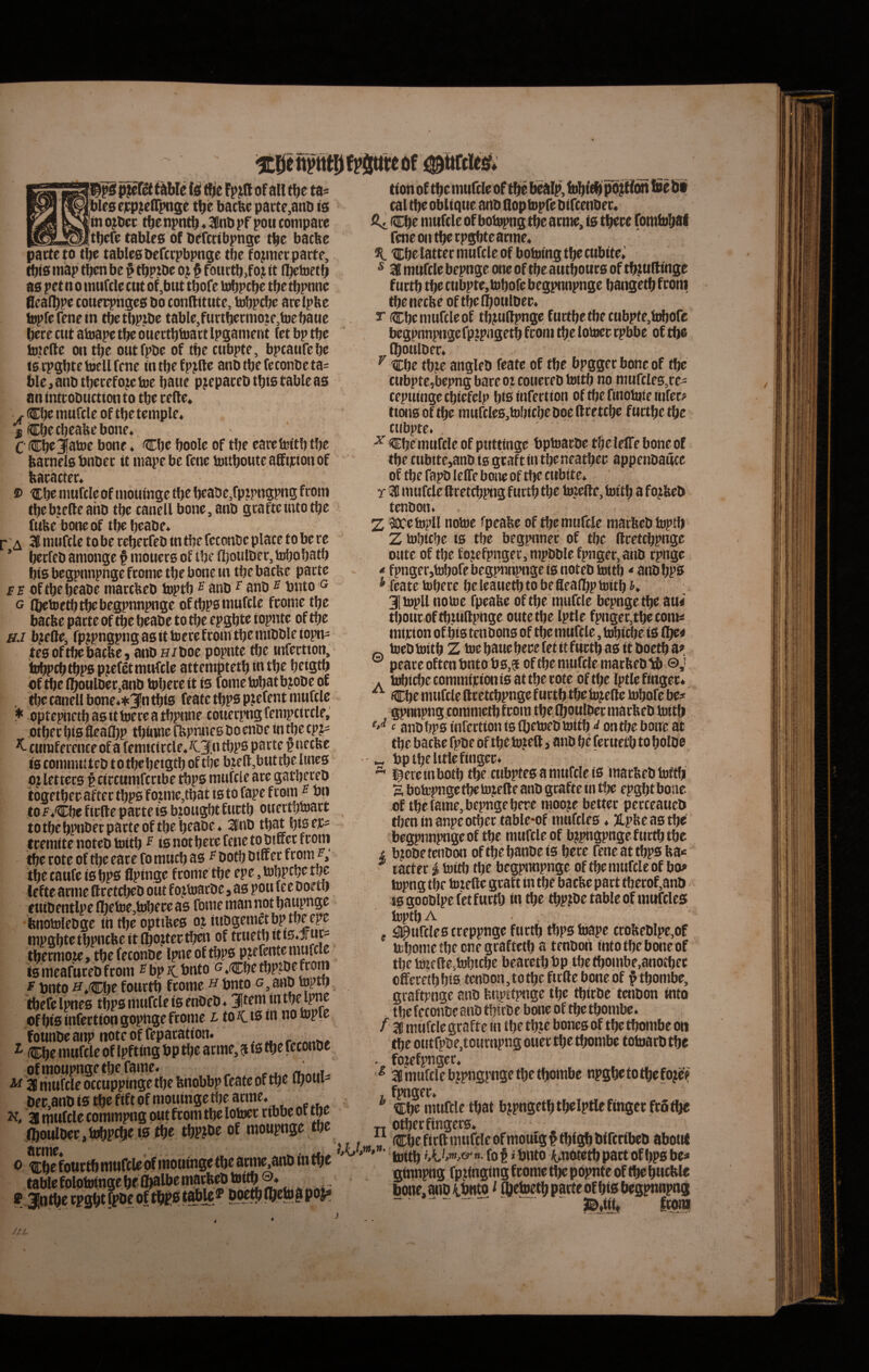 -...tas 'bleaeicp^eirpnge t^e bacbe parte,anD is in o^lici; tbe npntb * 3Pnti pf pou compare ^_thcfe tables of bercribpnge tbe bacbe parte to tbe taijle0befcrpbpnge tbc fopncrparte, tbiB tnap tben be ^ tbprbe oj ^ fourtb,foj it (Ijctoctb a0 pet n o inttfcle cttt of ,but tbofe tobpcbr tbe tbpnnc Ocall^pe coiterpnge0 bo conflittite, tobpcbe arelpbe topfefencin tbctbpibe tablc,furtbermoie,lijebaiie bcre cut atoape tbe ouertbtoart Ipgament fct bp tbe teefte on tbc outfpbc of tbe ciibpte, bptaufebe isrpgbtetocllfenc intbefpjlte anDtbefcconbctas blc,anbtberefoj;cb)e bane pjepareDtbt0tablea0 an introbtictionto tbc rcfte* r filCbc mufclc of tbc templc, j Cbccbcabcbonc* C (Cb? Jatoc bone ♦ Cbe boolc of tbc carcluftb tbc barnel0bnDcc it mapebe fene touboutcafftjrionof ® ttbe mufclc of tnouinge tbc bcat)c,fptpngpng from tbcbjcllcanD tbe cancll bone, anb grafteintotbc fuUc bone of tbe beabe* ' ^ Sfimtifcle tobe reberfeb in tbc fcconbc place toberc ’ l^cfeb amonge § moHere of tbc il)oulbcr,tDbobatb bt0 begpnnpnge frome tbc bone tn tbebaebe parte f E oftbcbcabe marcbeb bjptb ® anb ^ anb ^ bnto ^ G ibetoetb tbe begpnnpnge oftbpstwufclc fcome tbe barbe parte of tbc beabe to tbc epgbtc topnte of tbc ffj b?ette, fp?pngpnga0itbjerefromtbcmibbleiopn- tc0oftbebacbc, anbH/boc popnte tbc tnfertton, ti)bpcbtbp0 pjcfctmuftle attemptetb m tbc beigtb of tbc (boulber,anb toberc it te forne tobat bjobe of , tbe cancll bonc»*3ntbte feate tbps Ptefent mufclc * optcpnctb 30 it ioere a tbpnnc coucrpng fcmpctcclc, otber bte flcaCbp tbttine fbpnncB bo cnbc tn tbc cpj^ ^ citrafcrcncc ofa fcmici rtlc* ^C^n tbps pacte p nceSe te comnui teb t o tbe beigtb of tbe btclljbut tbc unc0 ojlctterb t circumfccibc tbp0 mufclc are gatbcccb togetbee aftee tbps fotmc,tbat i0 to fape from ^ bn to E*Cbe fiefte pacte te bzowsbt fuctb oucrtbteart to tbc bpnbcr parte of tbc bcaoc ♦ 3!nb tbat bte cc? tremite noteb toitb ^ tenotbcrcfcnctobiaetfrom tbe rotc of tbc care fo mucb a0 ^ bofb btncc ftom tbc taufe te bps flptnge fcome tbc epe, uibpcbe tbc Icftc arme ttrctcbeb out fojtoarbc»80 pou fcc boctb cuibcntlpc lbctoc,tt^cre a0 forne man not baupngc bnotolCbgc tn tbe opttlte0 oiiubgcm^tbp tbccpc mpgbtetbpncbcitlbottcrtb^ of tructbitte.J^urs tbcrmoze, tbc fcconbc Ipncoftbps ptefentemufclc te mcafuccb from ®bp icbnto G.fCbctbpjbcftom f bnto H*(Cbc fourtb fcome h bnto g, anb toptb tbere rpnc0 tbp0 liuifclc i0 enbcb ♦ jtem in of bte infectiongopnge frome l to/cte in no tepic founbe anp note of fcpacation. i Cbe mufclc of ipfting bp tbe arme, ? te tbe fcconbc ofmoupngc tbc fame. , ^ 3II mufclc occuppinge tbe fenobbp fcate of tbc ufoui- bcr,anb t0 tbc fift ofmouingctbc arme. . K a mufclc commpng out from tbc lotocc cibbe ot tbc (boulbcr.tobpcbctetbc tbPJbc of moupngc tbc ^ tCbc fourtb mufclc bf mouinge tbc amic,anb in tbt tablc fololBingc bf l^fbe ««atbeb toitb ®' tion of tbc mufclc of tbc bcaip, tobfcbpo^i^on foe bi cal tbc oblique anb Qoptopfc bifcenbcr. fU (Cbe mufclc of botopng tbc arme, te tbere fomtobal fene oii tbe rpgbte arme* “K. %ife lattcr mufclc of botetng tbe cubite; ^ 3K mufclc bepnge one of tbeautboura of tb^udinge ftirtb tbc cubptc,tobofc begpnnpnge bangetb from tbc necbe of tbc (boulber* r Cbe mufclc of tbmdpus® fuctbetbccubpte,tobofc bcgpnnpngcfptpagctb from tbc lotoer rpbbe of tbe fboiilbcr* ^ Cbe tbtc anglcb fcate of tbe bpggcr bone of tbc cubptc,bcpng barc oi coiicrcb toitb no mufcle0,rc- ccpuingccbiefclp bteinfertion of tbc finotoic infer? tton0 of tbc mufcle0,tobicbc boc (Irctcbc fnrtbc tbc ctibptc. ^ Cbe mnfcle of puttinge bptoarbe tbc IclTc bone of tbe cubttc,anb te graftintbeneatber appenbaucc of tbc fapb IclTc bojie of tbc cubite* y 3B mufclc ftcctcbpng ftirtb tbc tozcllc, toitb a fojbcb tcnbon* 2 Sccctopll notoc fpeabe of tbcmurclc macfecbtoptb Ztobiebe te tbc bcgpnnec of tbc ftrctcbpngc oiitc of tbc fozcfpngcc, mpbblc fpngcc,anb rpngc * fpngcr,tobofcbcgpnnpngci0notcb toitb * anbbpti * fcate toberc bclcauctbtobeflcaibptoitb J* 3|topll notoc fpcakc of tbc mufclc bcpngctbc au4 tbouroftbuidpnge outctbe Iptlc fpngcc,tbccomi mtrton of bts tcnbona of tbe mufclc, tobiebe te (tfci tocbtoitbZ tocbaucbcrefctiifuctba0itboctba? ^ pcareoftcnbntob0,f of tbe mufclc matbcbiib ©J * tobiebe commirion te at tbc tote oftbe Iptlc fingee. ^ Cbe mufclc ftrctcbpngc fuctb tbc tojcdc tobofe bcr c anDlj(p0 mfertion te Cbctocb toitb <i ontbc bone at tbc barbe fpbc of tbc tozcft i anb bc (crucii to bolbe „ bptbclitlcfinger* * l^crcmbotb tbc aibptc0amufclci0 macbcbtoitb a botopnge tbc tojcftc anb gcaftc in tbc cpgbt boue of tbc fame, bepnge bere moojc bettee pccccaucb tben in anpc otber table*of mufclcb * Jipbe a© tbc begpnnpnge of tbc mufclc of b?pngpngcfurtbtbe 4 bjobctcnbon oftbebaube te berc fene at tbp0 ba« ^ taeter | toitb tbc begpnnpnge oftbe mufclc of bo? topng tbc toictlc gcaf t tn tbc baebe part tbccof,anb tegooblpcfctfurtb intbe tbpibe tablc of mufcles toptbA f ^9urclc0trcppngcfuctbtbp0toapc crobcblpc,of tebomctbc oncgraftctb a tcnbon into tbc bone of tbc toteftCsirfitcbe beacctbbp tbetbombc.anotbcc offcretbbis tcnDoa,totbcfir(lcboneof ^tbombe, graftpngc anb bnpttpngc tbc tbiebe tcnbon into tbc fcconbc anb tbirbe bone of tbc tbombe* f 58 mufclc grafte in tbe tbje bonc0 of tbc tbombe oti tbc outfpbc.tournpng ouct tbc tbombe totoarbtbc . fozcfpngcc* ^ 58 mufclc bjpngpnge tbe tbombe npgbctotbcfo^c? t f?nscc» ®bc muTclc tbat bjpngctb tbclptlc finget fro tbe „ otbcrfingec0* *i /«. « Cbe firft mufclc ofmoulgftbfgbbircribcbabotK ' ’ toitb ». fo f»bnto Jtmotctb pact of bP0 bc? ginnpng fpjtinging frome tbe popnte of tbc bucble bone, anb iibnto f .^etoetb parte of bte bcgpnnpng “ ''  froni //