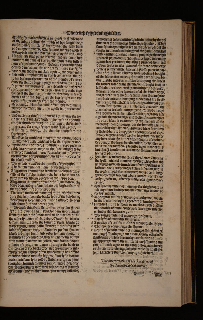 ^ ■ • VT ^PS longitntie,<i fet^e(Jo?tepnitjfclc of b?j>tigpngc t^e leffe i)on« § ctibpte tptoarb* feconbe msicttPD toprti S tsDcupbeDmtottDO partcsnotfDtoptMano ^mi& ^/tfpgnifict^mpacteto^jptOe fenbetf) fiirthhps teiibonto t^cbone of tfje toiefte npgb totbe fiiBepi liotic oftbe,tbonibe}anb / flbetoetf) tfjc oeatbcc pact Deupbeb in ttoapite,tbe onegrefFetb «nto tbe fpzftc » bpncoftbetbonibetnachebtDpt!) w.tbcotijcc mac# » ftcb inttb»ittiplantctb m tfjc feconbe anb tbpzbe Ijpace bettoene tbc toptues of tbc tijonibe. f ccbec^ nioie tfje tbpjbe begpnnpnge marfeeb toptb n is al- , ^ fo parteb in ttoo partes niarfeeb toitlj <> p tobeceof ^tbcbppecmotemarbebioptfj»isgraftemtbc tf)?e pones oftbctljoinbe,aiibtbeneatbernio.2e niarfeeb njptp /> (spe tpatbjpngetptpe foiefpngecanb tbe nipbble ftngec afeape from tl)e tfjonifae, f l^ere pangetp ftictpa nuifcle froiii pps begpnntng toppcfje ftretcpetb ftictb tpe toieftetoitponctcnbon -onelpe. r 3enb necte tpecpiefeatitpoticof tpuiUpiigc tpe Ip* (Ic fpiigerismarbeb toitfj. fp{?e iopfeas tpenittf: , cietpattpJtufletp fnctptpefo2ffpnger,tptTnpbble /finger,anb tperpnge fpngec tsinarbeb toptp A t ai innWc bjpngpnge tpe tpombe npgpeft to tpe ICDe 5® Wclesr. gcaft fn ^lelTebone 2 icpefeconbenmfcleofnioupngetpe tbigbe,5ubofe fRJpnSPiigcfurtpfomtepat Ipbetpe fozine ofafes mpeirrte^f^^ ^ bonote*1^ltpoBgpe«pftbps p.zefentc table bjcretoumebinojeontpe fpbe, ongbtetobe j rtcettpeb fomtopatinooce fo?h)3cDe,bHt^ Ipetoetp the iniertion of tpps mufclc Ipbc as«©'j bo befet tbetopolenmrcle* a Cpegreate ^iciittoarbepjbccireoftpefpfgpe» ■ 'f:befonctp nutfrie of inoupngctbetpigbe. ^ * ai fpgantent commpnge fcomtpe onert^actpioi cflTe rftpe fpftboneabotie tfje polpebone anb go= j. pngeintotpefpaepepjocefleoftbeppppebone. # Kganieiit coninipngefcoine tpe fapbe feate of tpe ppp>e bbiie;anb grafttntbelatteco.i pigfjec feate of tfjeappenbatfnceoftpepppbone* Cbetentlj ninfcleof inouingf tptgpjtobicb tnrneb otiec tpis toapfroin tpe-baebe fpbc of tfjepolpbone, llpeipt^asititfereanotbec nitirclc affpjceb to Ijpnj botp aboue bnn anb benetp pim* f ‘ ^peaufe tpis feate (I)albe fene as toell fn § nect Cablefplotopngeas in tpisttoe pauehot cutaiuap fromtpistabletpefpnotoinollto beniarbeb of all tpe otliec fpnotoes of tpebobpe.Cpatis pe, topiepe 6e topll numbje to be tbe foiirtb of tfjem, tobiepe go ^ » m ^ M * ^ ^ If V A ^ J. j. 9 ^ taWeof fpnotoes ioitb.7J*anbt{MS piefent fpnotoe topofe lebpnge fnrtp anb o^bectoepane tpongfjte fo mticpe to be tonfpbzeb,fs pe fapfolionic tpe ptiinp? irftfe runnetp botnne to tpe fete,etien frome tpe ain* plitubeoftpeb^zapne panne tp^ougpetpepooleih tPc.fopptesof tpebacfeeojbepneb to connep tPe ma? ftE^f.oif,fpetz^icpe ofteri tpinesraanp panefeltc foeuni^bofonc into tpe iegges, forne Ipbetoacnie' toater,anb foine Ipbe cofbe. anb tpecefo;eioe pane tpougpt it fo itrncp tpe nio;e connenient to (petoe tpe Sujcion of tpe pnmotirs bttto ^ps fpnoioe. icppjs flaine fpnotoepon (palle fee oii tbebaclte part of tptgpe fn tpepolotoe faologpt of tpe pamme mariti * toftp M altpoffgpe tpat h boetppzoperlp'e(peloepf0 greateft pojtf 6 topitp tpongp ft be fpzeb into manp bzatfncpes pet boetp tpe eptefe pacte ofppm faU botnne to tpe neatpcr parte of tpe foote bettone tpe g pcele f § tnnec ancle, e (petortp p (e(re parte o? poj= tfon of tpfs (Ignoto topere pe ts bcupbeb tn f bougpt of tpe ()5me ttoo toapes, tpe niofte part of ppmbe« ing fpj'ebbe tnto tpe niufcles otctippeng tpe fpbe $ tpe fozmec feate of tpe (ppnnfitopfdj ongpt toftp no ■ letTe labonr to be earneftip anb biltgerip obfecueb tpen anp of tpe otpec fpnotoes ofal tpe ^ole bobp! anbpftpecetoere no otpercatffe, bwttpattnfpcPe nien,botp pote anb bttcnpng niebecpnesare foofs ten tpere to abfffeb. anb beQ?be tpps a(fo tpatppf^ ffetons (pali perbp toell Pnotoe anbperceatie tpe place topere totpofe aburpnganb co?rcfpbeniebpa Csns (poulbe belapbe,f t (palbe alfo pzofptable anb a gooblp tppnge to toepe ano Ojetoetpe niatter poto tpcblccr topcnft tsabureb bp tpe ftrengtpof tpe nicbjcpns ntoulbe ponrge otit tpe pmnonc toppepe rtinuetp bp tpps fpnotoe. ifib tbps blcer fo abureb fs Ipctocb perc to be npgpe to tpe bzatincpc of tpps fpnotoe topptp fsnoteb toptp e. tofjpcppfftbemabe toiucc tfjcn tt)c bppet ^ppctWutwcc of ttjcbpn^ ber bone of tpe legge boetl; confpft, tpe fpnotoe cao in no topfe be toutpeo.3f toottlbe tozptc more oftpts buttpatj tooulbenot tonfotaibe tpepartesof tte fciensofpptfptftc. gottIpallfe inbotptpetppestppslettecir.notpn(i tpe fpjft mufcle of nioupng tpetpp|^,topp«) m tpe faUeneb onelp jto tpe bobpe at Pps infertitot anbtn tperpgpte tppgpepe remapnetp topere be fs bp(t- ^ gcrozcptefelpe fene^buttoperepofifee xpe iS te^ beclpe graf te tn, after tpe maner of a tppnne couc< ^ dEPe feuentp mufcle of mottpnge tpe tPfgb,not cone reb anpe mo?c toftp tpe tppnne couerpngc tenbon of , tpefpjctmtifcle, ^ CpetppfDcmnfcleofmoupngetpclbpnne ’ topofe PeabcismarPfb toptp», tpe feate ofpimbzpnafnff furtppps fpzfte tenbone fs marfeeb toptp i.cpc tppzbe tab!e of nmfcles Ibctoctp f«ttp pps fnfertfe onbnbcctpfsparacter j. 'Cpefourtpniurcleofmoupngetpel^ne; Cpefpftp of motipnge tpe (ppnne* f a poftfon of tpe ftfte mufcle of monpng tbetPfQb; <»(Cpereconbeofmoiipngetpelppnnet r epgpt mufcle ofmotttng § %n,§ ftr(l of mottpng § (ppn bepngc ent atoap, topfcpe otpertotfc fpulb patfebetifeftcperetntpp8cfrcle.anb fomueb as appectepnetp to tpe mufclc fet cn f fppnnc $ tpr fOte, all boetp agee to tpe tablcbefoze,asftboetb fotpettoelfefolotopnge.topp^c tablc toc (ball f^ toftp feacafterstpcrejconfempngetpofcpere* ! 1 » * V - v<. thedeuenthtableofinufQle^. ‘ ' • ' . I vV. ' i • %