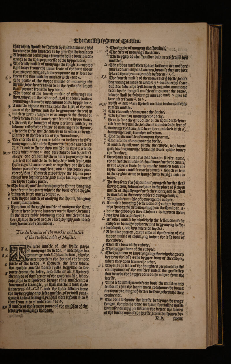 fboulb bc b? tbis batactct i bfti tue come to tbfe ftaractec a bp bp (balbe b edar cd 31 Ipgament commpngc ftom tbeljolpe bone,belon« ’bonc, . ttirneb bp - . .— oftbeboneabotic tbep?m^menib?es,anbcteappnge asit tecte bc< - K ^£««bettoortiurclesmacbcbl»itb «anbK. *■ v*^ab.e of tbe tbpjbe mufclc of motipngc tbe (ornne,tMbpcbc are taben to be tbe fpjftc of ali tbem Ipjpugc froiii tbe bpp bone, j(t (Cbe beabe of tbe fottrtb mnfde of rabupntte tbe *bptt>tnbpcb fs tbe left anb ^.tt,of tbe f oiirc beabes ronjni|ngc ffcom tbe appenbans of tbe bpppc bone. ^ 38 mtifclc bJbonic tec tabe to be tbe fi^tb of tbe mo- tiero of tbe (bpnnc, anb tbe begpnnpnge tbereof is marbtbtoptb v tobj^cbeto atcomptebtbe tbptbeof tboie beabeg tbat come bence from tbe bpppe bone, lifljetoetbtbebougbtcoftbps p.tefente mufcle, iti tebome rcftetbtbe tbpjbe of moupnge tbeflbpnne j, 0 beretbefpfte mufcleenbetbmatenbon,tobcims planteb in tbe fo^efeate of tbe (b<nne bone, ^ «CCecntenbe in tbe nejrtc tablc to bcclaretbefpftc ^ moiipnge mufcle of tbe llbpnne teitfrtbefe baractecs S,^,n,anb to ibetoe tbps imifclc in ^p0 pjefente fe-.tr table teitb ^ anb ^ anb afterteatbe toitb /anb st euerpe one of tbem bp tbem felfepopntpnge to a parte of tbe mtifcle to tbe tubpeb be botb ferue,anb fptfte tbps baracter ©• anb togetber boe (beto tbe binber part of tbe mufcle f ? ano n bi0 fo.injec part iberof.ffiut F (belretb p?opeclppc tbe fo/niecpoj- (ion of bpa: former parte,anb tbe latterpojtion o| tbe fapbefojmer parte, f bjingetb f urtb inarbeb vtiptb e. f tebe tbpjtbe mttftlc ofmoupng tbe (bjHine, banging from bis infertion,. T 38 po^tionoftbeepgbt mufcle of motipngtbe fbpn*’  3! baueijere fette no baracter on tbe ibinncibecatife nt tbeheirte table folobtpng tbofe mtifcleatbatbe jbittb baracters conuenient X/^c decUracion of the ntarkes and lettert ofthe npelfeth tahle ofMufcleSs [®e lefte mufcle of tbe fpjfle papje ]of moupngctbebeabe,-^ notetbbPSbe* ^'gpnnpnge anb bis tnfertion, tobpebe fteattemoteth in tbe bone of tbe bpnber ^ pactr^cbe beaoe,® m^tb tbe feate hiberc tbe rpgbte mufcle boetb fp?ffe bcgpnne to be> • partefrome tbe lefte, anb lalle of all ^Ibetoetb tbe infpbe of tbinfertion of tbe rpgbtmufcle, tober^ fotepfpebebtfpofebto b^pnge tbps mufcle into a fotirmeof a trtangle, pe (ball marbe it foitb tbefe baracters anb tbe fpace alfobetioene tbe ftpbe ppg^ anb lefte mtifcle i pf pe topll pma» fipnetttobeatdangle^efbail not'**'^''* “  tbenfrbm s to © anbftom ^^to ®, 31 mufcle,oftbeftcoiiibepap^e ' ^iCbetbpme ofmoupng me IbouIb^J - , ‘ (Cbefifteof moiipnge tbe arme» Cbebepgtb of tbe (boulberbelpuerebfeoineb^ mufcles,  ' ^ €be ribbes toitb tbeie fpaces bettoenc are not bere marbeb toitb anpebaracter0,bpcaufetbepare^e (pbe to tbe otber in tbe table befoje at €be foiirtb mufcle of tbe mouers of ^ me(le,tobofe begpnning is maebeb toptb K.% ^ betobnetb p feate ojs place t^ere be fp^S leauetb to grotoe anp moote from bp tbe longeft mufcle ofmoupnge tbe baebe, tobiebe (ball be folotopnge maebeb tottb ^ Ipbeas bere after frome X. to t-, M,M 'i^itb -^ anb A^arelbetoebcettainetenbonsoftbfg P?efent mufcle» , , ^ it:beelcuentbofmoupnge tbe baebe» Cbefpftentb ofmoupnge tbe baebe, i^ere is fme tbe gpbbofitie of tbe Iboulber belpue^ rebfcombpsmufcle.tobtcbetsnummebtbefprtof ‘ i^moupngctbearme.anbbe is bere marbeb toitb 2',' bangpngefoubfcombisinfertion. ^ ^ Cbe tljpjbe nniftle ofmoupng tbe arme» ®be feconbe of moupngc tlje btefte. 38 mufclc tbtuapttge furtbc tbe cnbpte, tobo btptoi getb bis beg^ipnge frome tbe lotoec rpbbc bnbec tbelboulber, V l^ere bangetb furtb fro tbat feateon § lefte arme' tbe outtoarbe mufcle of tbtullinge furtb tbe cubite’’ at tbctobpcbc feate be ig muebe tangleb toitb tbe rapbe figmer mufcle maebeb toitb r tobpcb isfene in tbe rpgbte arnieto bange furtb bepnge cutteas ^ 3u tbps feate fro § flboulber fpjpngetb furtb a fleae ibpe pojtion, tobomtoe baue in tbeplace of f tbptb mufclc oftbmttpnse furtb tbecubpfeiata>be , ®be bpnber mufcle of botopnge tbe cubpte» 0 38 mufcle bjinging p Icffe bone of p cubpte bptoarb tobo fpjingetb furtb mote bpgb on tl» Ibouiber, a^» 4 botietbegibbofptetberoftobererf is totptten (Iteltw , ^pnsbpsinfcrcion toptb ^ ' 3in otber mufcle bptmofebelp tbe leffetoneoftbc cubpte is bjougbt bptoacbe,bps begpnnpng is ffie^ j d toeb toptb f, anb bps infercion toptb ♦ f 31 fpnotoepoteion, ot tbe enbc of tbinfertion of tbe bpper mufcle of tbjuKpng botone tbe leffe bone of fbetubpte* k f ®be leffe bone of tbe cubpte» 6 Cbe bpgger bone of tbe cubpte; h CbelpganumtojbnpttpngtogetbertobpcbegoetH bettoene tbe leffe 9 tbe bpgger bone of tbe cubpt^ toberetbepopen from ecbe otber. *» l Cbps is tbe feate of tbe boii^tes ptepareb fot tbif conuepaimce of tbe mufcles anbof tbe grpftelles mamupbe tbe bpgger bone of tbe cubpte from me I CbpsfeatISbelpuerebfroin botb tbemtifclesanl» fenbons, tbat tbe ligamentes toimome tbe bone» ace iopiieb to.mpgbt p bette r be fene.otbertoifc tbeu coulbenot» ' . v k, P Cbe bone bebpnbe tbe tojette beacpnge tbe rpnge fpnger tbetobicbe bone toe baue Ibetiallpe notSSi bpeaufe poti mpgbteWfceme tbe better tbe bone® i .‘jh. 'i.-.; /J ' A ^