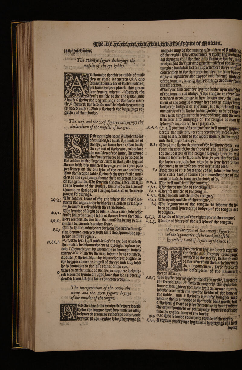 i 'U 1{Q it '***■' * triptriiyt (mak Jtclarynge the .mttfcles of the eye Ijddef. ort6cn»s«c({«lf.Cf;ett<ii!f^t t -J. i.t X.t^ottg^e t^r t^ictie table of mtifi» cire at t^rfe bacatteceC^it^» bpO (dttibbat cntrcatc of tWe itnifclrs, Fctbauotoebetoplacet) tb<s petit* „ Ipecfpgtire, toberai -^ibfioetb tbe »a<ifprft<> iwtirri» oftbe epe lpDDe,an5- 'toptfe cibctoctbe begpnnpnge of tbefapbeniun' tle,® ll^etoetb tfte fecwioe murtle febofe begpnnais <8 notcD irttb t jr fljetoftb tbe fenpttpwgcto* getberoftbcnibotbc* ' ’ 2he.xxj.and the.xxj.fygurecontcynynge the . declarationsoj^thefnu/cles oj^theeyes, - « ^tbtoeiutgbtnottn^loboletabl^s > ofiintftle8,ret futtb tbetnurcles of tbc fpe,toe baae bete tabmfactb tbeepeoiitoftbcbeaiWjtobeclarc ' tbc iMuftleiB of tbc fame j {bftopnge tbe figtire tberof to be bei^Den to f/i. nigp as map neitw inpgbte fomtobat bejter ejcp?effe beeetbepj natarai cburfc tben in tbe tb?eattlrtt5^#e, toe batie botocb agapne bptuatbejtbe tb'p?r>^ ano fttlentb wtiftica p ruivrMwn#; ^,s, ^, be fptie aiit» ttocntpr fpgwc ijafbe itpni oftbc.tonguetutalijape»9ibe tongnc istberefciie benpbfD acco.ziipngctobps loiTgptgDe,r% ipga* wcnt of tbetonguebrpge beretab# attapefwiii botbe tbe bdbpee bf tl^efarae, tbe rt^erfittaU ai^ outtoaVbe of tbjE fapbe bc^iegjtobic^ is b^tor to^j tbec b)itb a Ipgament tbece appeiirhig, anb tbe con*' llrnction anb mabpnge of tbe tongne of man ia IpbetopfeaapowfeeberepapnteD. • i,i,5.ifipo.ztibttof§tongtie(cfiei^;$ tnotitbgapiug befoze tbe infttipti, pet cqiierebti^tb^bis cbiiteifepi iifngt.oitfeIfe8ribtotbe ' anbtbeibacpeartcrpei ■ ■ i Mi CbpstpnefbctoetbpartcoftbefbzrapDfeoate jftrt froni tbemotitbjbptbefpbeaof tbe tieatbecjlatoe foz^epo.zttonpftbe toiigtie bepnge beee,as itjg feiie no tobereelsTzpon tfjelpne.ts pet tiotbebiwtl ftc fapbe fote.anb tb,at tobptbe is fenebere bnOet tbecpte ig in no hjpfe fOiiet^ toitb tbat cotei SIpojtion of tbis fojcfapDe coate.tobicbe toe baue bere ctittf atoape frome tbe tnmooile paete of fbe mowtbeanptljetongnetbertnitbalfo* ' “ 4 V r- reabet toitbbilpgentei^nb in tbefpzfte fpgurb tbe^efoitb biP ronfcles bepnge pet in tbetc pjoi peeieates on tbeoneQ>be oftbe epeatebeclac^* anb tbe feconbe table ibetoetb tbe fpf e fpjfle mnf- cies of tbe epe.Ipinge fronte tbeicinfertion alonge ...^„,..^v j».v*./v.v..»„v»mvvw.«» h»iv4 • ®nwe4rqnnbe*C^ftti|ntb f^zotoe retceiiebgpll ®®i,x 'ibefieftinttfcleoffbeliongtze^'• ^ ■■is 'i? ^ iU to tbe fpnoiwof tbe fp^te *©nt tbebetlacationof %:betbicOemufrie of tbetdngnei''' ^ •' ' rii'» f.M Cbefpftmufrie oftbetongtie» . ’ r Ga»z» itibcfetientb mufrie of tbe tongne; ’ ' i Hw.z Cbebpnfbmnfcleoftbetongue, Cbe Ipgamenteof tbe tongue fo Jobome tbef^ btesotfinaUlpnesof tbebobpes of tbetongue are bzougbfe* » _ - , ...,jtbedarebintbenette pagpnfolotepnge» fajmer feate of tbe epe febere tbe cp?rie be; t^etbetobpteanbtbeblacbefs,cailebinaatpnc betaufe it rcfemWetb tlK rapnebot»* #«i«X4 ^^^f^alwqffpgbtozbifUie.tf)erecutte,loberebe v, gttte failetb mto tbe feate oftbeepe from tbefcuH* 36 bpnbe of fib?es of tberigbt fpbeof tbe tonnue ■ «itWerpiwof - - iDf tbe fpates n^icbe are betlnme t^ ftcit firlf muf# ' ♦ des bepnge coueeeb ‘*'*^^^'^«“''' ‘'«*^ \ ‘ ’ • -f - • - ^ peareititbpsfpgure. u Lir,L. '^'^♦'^befpte fpjft mufcles oftbe epe^biit nnotet^ tbe mufrie bpfebome tbe epe <6 bzougbf bptoarbe anb ^ Ibetoetb bpmbp a^oine be is ^oiigbt boton* toarbe t^,(betoe tbem bp tobome be is toumeb^^ aboute ,K.ibetoetbbimbp tobome beis bjioiigbte to tbe bpggec tozner oz angpll of tbe epc anb l bp tobo be is bjtougbte to tbe Icffe foznee of tl)e epe. g. Cbe fenentbmufricof tbe epe,m no parte belpue* ,ceb fronrtbe fpnoto of fpgbt.fauetbat be is btterin (lenpeb f rom alltbat fatte tbat couereb bim* The interpretation of the.xxUj.tbt xxiij, and the. .xx'» .fygures hynvt ofthemufJesofthetonzue. t ' |5b tbe tfjfe anb ttoenfpetbfpgure boetb fbetoe tbe tongue toptb bps nmfries alfo; belpnereb from tbe ceft of tbebobpe,anb ’ The. depl^atyon dffhe^i x^&^jfy^f^i fi ', ' >of the lygimenief^t^ehKadJmd:^hi ‘ ' lygametis.t.and ij. ferites ofthtmckf- tberon afficeb. lo^es of tf)e;nei^, beriarcb i^b ^ tow fu rtti w ibac&eftbe tbetc ipgamentes ♦ »f olotoetb tbe befcription tbe baVatterg N <ts tbe feconbii5ut ^ S”riji tnmrage iopntei S tbe; bone of i ‘j