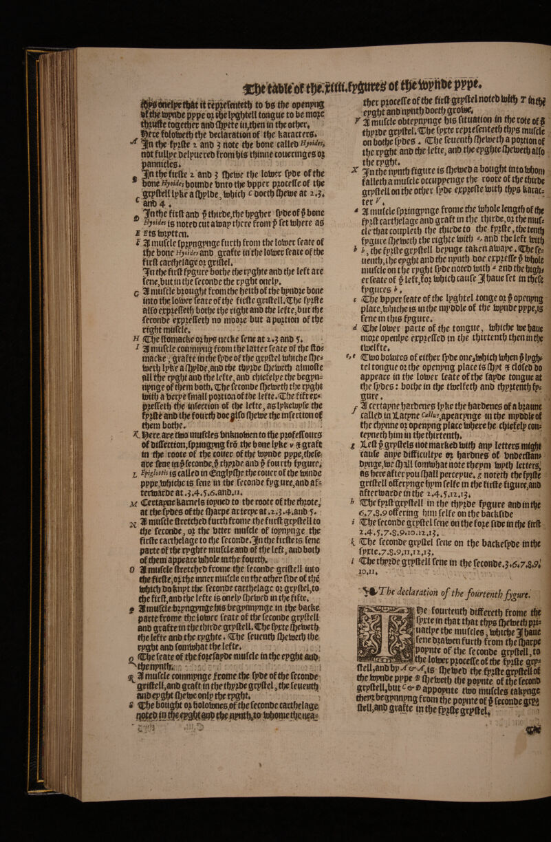 ^ itrepjctmtet^ to t)6 tfje openptig ttf libe lopnpe pppe o;t t6e IpQbtell tongue to be mo;e ^ufie tose^er anb C^tte tii^en in tbe otper* #n:c fotoioet^ t^e beclacation of t^e bacactcrs* jn tije fpjfte x anb ? note tbe bone calleo not fullpe OelpuereO feomOl0 tOtnne cottecingeo o$ pannirtes» jlntljefirile x anO ? fljetoe tbe lotoec fpDe oftOc * bone^yM^ibounOf OntotljeOppec pjocelTeof tbe 8i:pftelllpfeea®pl0e,toblfb c DoetO l^ebje at i,h *' ano 4. . 3'nt!)ef(t(lanoft0ic0e,t0eljpg0et fpOcoffbcnc Bytides ts noteo cut atoap tOcce ftom f ft t toOere ao «Ktgtoipttm. f iP muftle fpjpnsptigc fnctb fcoin tbe lotoet feate of tOe bone hjisWm ano grafte «n tbe lotocc feate of tbe fitfl cawijeiage oj gcillel* [?n rtje firft fpgwce botbe tije cpgOte anO tlje left ace (ene,but.iij tbe feconoc tbe cpgbt onelp. c 3B iiuifcle biougOt fconi tbe OettO of tbe bpnO?c bone mto tl;e lotoec feate of tbe fiefte gpjlleU.'?Et)e fptfte alfO eeptelTetf) botbe tbe rtgOt ano tbe le f te,but tbe feconoe ejCp^elletO no inoo.te but a po^Uion of tOe rtgbt nwifcle» - H COcftoniatbcoibpsnetbe feneatx.jano 5* tnacfee; grafte intbe fpoeof tfjc gcpftel tobiebe lOe* toetblpfeeaflbplOe.anOtbe tbp.toe (OeloetO almollc ali tOe epgfjtano tbelefte, anO cbtefelpe tbebegpns npnge of tbein botb* tEbe feconoe (Oetoetb t!je rpgbt toWb a berpe fmall potttonof tbe lefte.Cbe fiftep* Pl^elfetb tbe infertion of tbe lefte, aglpbetopfe tOe tbem botbe> ^ l^ereaeetbio mufcles Onbnotnen to tbe p^tofelfotiro of OiflTectton.fp^ttngpng fro tbe bone Iptte v 9 gcaft In tbe coote of tfje totiec of tbe topnoe pppe,tbefe! ace fene tn.§ feconoe,^ tb??oc ano f f ou rtb fpgnrei I r^giottis ig calleo in (gnglpnje tbe coiiec of tbe totnoe pppe.teblcbe is fene ni tbe feconoe fpg Mce,anO afi tertoacoe at .5«4.5»6*anD*ii» M Cettapnebacneistopneoto tbe coote of tbe (b?ote,' at tbe fpOfS oftbc fljarpe acterpeat .1.j ♦4.anO T. 2^ 3 mufclc fteetebeo f urtb fcome tbe f tirft gcpftell to tbe fecottte, oj tbe Ottec muftle of topnpnge tbe firilc caitbelage to tbe fetonOe,3intbe ficlleis fene pacte ohbe cpgbte nuifclr ano of tbe left, auObotb oftbemappeacctebolemtbe fonrtb» 0 3lnutfcle fteetebeO fcome tbe feconoe grilleJl tuto tobicb Oobnpt tbe feconoe cactbelagc 0? gtpltel,to tbe ftcft.ano tbe lefte ie onelp (betoeo in tbe ftfte. t airauTclebzpngpngebisbegpnnpnge in tbe baebe parte frome tbe loiuec frate of tbe feconOc grpftell ano grafte in tbe tbtrOe grpftell.Cbe ft>ictc (^toetb^ tbe lefte anO tbe cpgbte. Cbe fenentb Ibebjetb tbe rpgbt ano (ombJbat tbe lefte- 0 * ^tbenpntter gciftell,anO gcaft in tbe tbp^Oe gcpftel, tbe reuentb anoepgbt (belpc onlp tbe rpgbt. s tEOe botigbt 0^ boloi])ne6,of tbe feconOe cartbelage; tbecpjocelTeoftbe fitft gcpftel noieOtoflb rftitbj epgbtanonpntbooefbgcotee. ^ ^ 3 mufcle obtepnpnge bis fitnation in tbe cote of| tbpzoe gcpftcl.tCbe fpete ceptefentetb tbps muftle on botbe fpoes. Cbe fenentb ft)eb»etb a pojtion of tbe rp^t ano tbe lefte, am» tbe epgbte l^eioetb aifo ^ Jtt tbe npntb figtite is (betoeo a botigbt fntobiboin f alletb a mufclc occnppe nge tbe roote oftbc tbiroe grpftdlon tbe oti;ec fpOe eicpzeftetoitb tbps barat tec - 3 miilcle fptingpnge fcome tbe tobole lengtb of tbe fpzft cartbelage ano gcaft m tbe tbirDc,o? tbe nmfi clrtbatcoupletb tbe tbicoeto tbe fp?fte,tbetentb fpgure (betoetb tbe rigbte biitb anO tbe left fcub * i tbe fprfte gcpftell bepnge taken atoape. Cbe fes uetitb.tbe epgbt anO tbe npntb Ooe erp?f (Te § tobole mufcle on tbe rpgbt fpoenoteo tottb ^ ano tbcbiglK er feate of f left,foj tobteb catife 3! baue fet in %fe fpgncfgi, t Cbe oppee feate of tbe Ipgbtel tonge ozfopenpng plaee,tobicbei0imbempooleof tbe topnoe pppe,ig fene m tbis fpgure. Cbelotoer parte oftbc tongue, tobicbetocbaue mojeopenlpc ejcpjelTcDin tbe tbirtentbtbenintlw ttoelfte. f, * Ctoo bototcg of ettbec fpOe one,tobicb toben f Ipgb^ tel tongue 0: tbe openpng place is fbpt 9 ftdfeO Oo appeare in tbe lotoer feate of tbe fa^e tongue at tbe fpOes: botbe in tlje ttoelfetb anO tbpjtentb fp* gure. r 3 certapnebarOeneg IpbetbebacOencgof abjanne calleo in jLatpnec^Wwapeatpnge in tbe mpobleof tbe cbpnne of openpng place tobece be cbiefelp com fepnetb bimin tbetbtrtentb. g ^eftf grpftelgnotmarbebtoitb aiip leftergmigbl taufe anpe bifficultpe oj bscOnrg Of Onberftan» Opnge,toe(ballfomtobatnotetbepm toptb lettersj agbereaftecpoul^allpercepue.^notetb tbefpjfte gctftell offecpngc bpm fclfe in tbe ftrftc fi8nre,anD aftectoacDetntbe 2.4.5.ii.i?. * Cbe fptft gcpftell in tbe tbPjOe fpgure anbinibc 6.7.8.9 offering bim feIfe on tbe baefefibe » Cbe feconoe grpftel fene on tbe f oje fiOe in tbe ftrft 2.4.5.7.8,9.10.iX.IJ» . i Cbe feconoe gcpftel fene on tbe bacfeefpOe in tbe fPJCte.7,8.9.iMi,i5. / Cbe tbp?Oe grpftell fene in tbe reconOe.j.<s.7.8.?» 10,11. -■ ■ ' ■ • ^ - i ■ '^Tbe declmtion of the fourtenth fywei l^c fourtentb Oifferetb ftome tbe fpete in tbat tljat tbps ^toe tb p?i= uatlpctbe mufcleg,tobtcbe3ba«e feneoja toenfurtb from tbe (Saepe popnte of tbe feconOe grpftcll,to bp (Setoeo tbe^zftegrpftellof ibe^iOe pppe ® ^rtoetb tbe popnte of tbefeconO 8c^rtl,butappopnie ttoo mufcleg tabpngc § feconoe grge fteU,8n.0gcaffe|btbefpjftegcpftcU ' ; ^