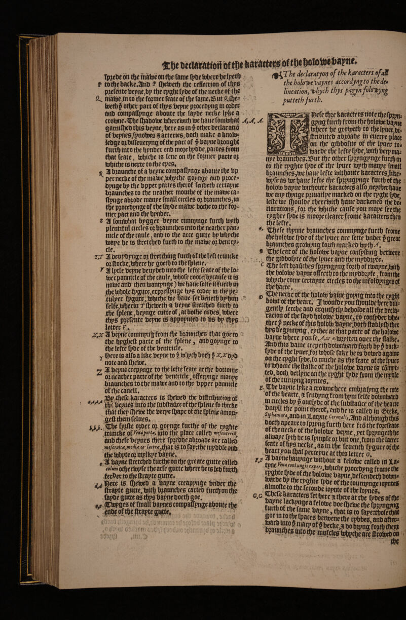 Tp^ebe 'dn flje maiue on tbe fame fpbe fobrrc f totbebacbe.3nl>fb^tuetb tbe rrSection oftbpa pjefchte bcpne,bp tbe cpsbtfpbe of tbc ne tfee Df tfjc matoe,ni to t!)e formet featc of tfje fame«ffi «t faietf) § otbce part of tbpa beptir p.:ocrl)png in o.i{!ec atib compaffpnQe aboute tbc fapbe nccbe Ipbe a crobme.itibe (babobie toberehiitt) tue baite fomtobat a, A samiOjeb tbfabepnc, brre as mf otbecbftlacatio ofbepnes/piiotocsaartecieg.Dotf) niabc abnoto-- Icbgc oj bincuf rpng of tf)e patt of f bapne bj^otigbt furtb into rtje bpnbei'enb mojc bpbbe,partes ftoin tbat featc, tobicbe is frne on tbc fojnier patteoj tobicbe ts nejctc to fbe epes, * 31 bnauncbc of a bepnc compaflpngc aboute tbe bp pecnccbeof tbe matoe,tobptbe gopctgc aiib pjoces bpnge bp tbe bpper partes tberof fenbetb cettapne btauntbes to tbe neatbec niotitbe of tbe matoc ca^ (Ipnge ab^obe tnanpe (mali cirtles o^ bmtincbes ^tn tbe pjiotebpnge of tbe fapbe matoe botbe to tbe fo|^ luer part anO tbc bpiibet, « 31 foratobat bpggec bepne rtmnpngc furtb toptb plentif ul tittles ox bjauncbes into tbe ncatber pan< nide of tbe caule, attbto tbe arce gutte bptobpcbe toape be ts ftcctcbeb fudb to tbe maSBc ojbentrp# de* r,r abeupbpngeojftcetcbing furtboftbclefttcuncbe ot (lotfee,tobece be goetb to tbefplcne. ^2B Iptle bepne beupbcb tuto tbe leftefeate oftbeios toccpannide of tbe caule, iobofe coote(bpcatjfe it is notoe anb tben toantpnge) toc baue rettcft?urtb in tbc tobale fpgt!re,e]cpjeirpuge bps orber in tbe pei culpet fpguce,tobicbc toe liaue fctbeUetb bFbrfti * felfe,toberin r O&etoetb a bepnc ftcctcbeb furtb to tbe fplene, bepnge ctitte of, at botbe' ehbcs, tobeec tbpS prerentc bepne is appopnttb to bs bp tbps lemn j'^3^ bepne commpnb:ftom tbe bratmcfics tbatgoetd tbc bPftfKft parte of tbe fplene, anb gopnge to tbe lefte fpbc of tbc bentride♦ j- i^ere is alfoa libe bepne to t tobpcb botb § note anb fl)etoe, , 2 3B bepne creppnge to tbe lefte feate attbe bottome ‘ ^ or neatbec pacte-of tbe benftfde, offerpnge manpc btauncbes to tbe matre anb to tbe bpper pannide 'oftbecaneU, ^^eCe bacactecs ts (betoeb tbe bfftrtbntton of. '''' tbcbepnesintotbefnbftauceoftbetplmcfotbtcbe A gefttbemfelues.^ t tCbe fpjfte orbet oj gopnge fnrtbe of tbe rpgbte ' * ^ttunebe of f'iiidport4^ mtO tbC plaCC talleb anbftefcbepnes tbete fpjebbeabjtoabearecaUeb mtfimctt^medu o-i0tofap:d&empbblcaoo tbe tubpte oj mplfepe bapne* , 311 bapne ftcctcbeb fnrtbe on tbe greate gutte calidi silum otbectopfe tbe aefe gutte bibete be ts leb f u^ fecbee to tbe fttapte gutte* ts (betoeb a bapne cceappnge bnbec tbe ' fttapte gutte, tottb bjauntbes cacieb futtbontbc fapbe gutte as tbp0 bapne boetb goe. 9^ pnpges of Onall bapnes compaupnge aboute tbe . -K J dedaratyon of the karacters ofaU the holoToeyaynes accordyngto the de* lineatwn,Ti>hych thys pa^nfoloipytig putteth jurth. l^efe tbre baractecs note tbe fp^pm gpng f tictb f r om tbe bolotoc bapne tobere be grotoetb tb tbe Ipuer.bii ftribtiteb ab^oabe in eueepe place ,on tbe gibboftte of tbe Ipnec to» _^_toaebe tbe lefte fpbe, toitb berp mai npe brauncbes.i3ut tbe otbec fpjpugpnge f tittb in to tbe cpgbtc fpbe of tbe Ipuec toptb m^pe fmall b^auncbes>toe baue lefte toitbotite bacactec6,ltae» topfc as toc baue lefte tbe fp?pngpnge furtb of tde boloto bapne tottboute bacactecs airo,neptber baue toe anp tbpnge p.riuadpe marlteb on tbe cpgbt f^e, lefte toe Iboulbe tberetoitb baue barbeneb tbebei daratioii3,for tbe tobicbe catifc pou mape fcetbe rpgbte fpbe is moore dearec ftome batacters tiben tbelefte. “ ** tcbefe fbpnne bjaunrtes eommpge furtb feome tbe bolotoe fpbe of tbe Ipiiec are fette bnbec § gceat braunebes grotopng fortb maebeb h^tb « 'Cbe reatof tbe bolotoe bapne confpfting bettome . tbegibbofpteoftbelpnccaiTOtbempbbr^e* ^ €be left bjaucbes fpjpngpng fojtb of ttoapne,toitb tbe bolotoe bapne offcetb to tbe mpbb^ipfc, from tbe tobpcbe tome cectapne dedes to tlje ihfotbpngesof tbebacte. , j, ?!Cbenecbe bf tbebolotobafiiesopug tuto tbe cpgbf botot oftbebeart. 3 tootilbepon fltoftlbebere blli« gentlp. fetebeanb ejcquilpdpbdjolbealltbebeda^ cacton of tbc fapb bolotoe.bapnei i$ tonfpbec l.i ^sbegpnnpng, eptbecat tbat pacte of tbe bolotoe bapne tobere poure,^,&».torptteaouectbfftalltf; 3nb tbts baine trepetbbotonterbftijtb bp § baebs fpbe of tbc lpuec,for tobofe fafec be ts botoebagame 00 tbc cpgbt fpbc,fo mttebe as tbe feate of tbe Ipuec t0 tdijoliie tl^ ftalUe of tOe t^oloioe te coinpt^ be'dpiic 031 tfje vp^t. ^Oe from tbe nipblc _ of tbe tunipng topntes* ® ccotoiiebere embjafpng tbe rotc of tbe bearte, a reubpngfcombpmrelfebotontoacO ^ outfpbc oftbe ftihftauce of tbe bearte ^ djccof, cnb be is talleb in <©rebe, %im,anb inXatpne nffiE«^fk*^^^<??'*PSfMctbberc fcotbc fojefeate be}?nc,pct Ipjpngetbbe rtf *? fpmple 0? btit one,fcom tbelattet feuentb fpgureoftbe beaw pott Ibal peccepue at tbis lettec g» Ste rtf a'Pjocebpng ftome tbe fi» ijapne.bcfcenbetb boton* toumpnge iopntei mmoftc to tbc feconbe iopote of tbc lomM bapne laSS? f fuS n rtStbe fp?pngpng noe in tfl rftfe fapet^ofS cpbbes,anbaftet«, f