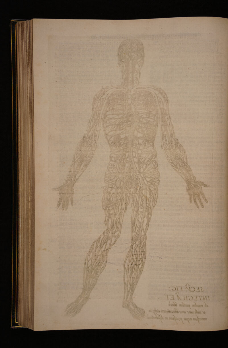 i! , i !’■ ;v ■■'r V- ■v '• •^, ■.< > .-■A/r] \ .a; .,-. i i, ■) ; •'^ ■' ■ .:.S -1 , ■ .-i' ■■• rt»* 'v A r'< ■• J'.V^/ '• ■ ' ?''i ■* * - ‘'4'w?: i. A* T.'\ '■' / / - :'J Aj , j? .;• i ,'vt! i ' -\ ■:•, ,'.7 ^ 1 ? r-ic i •^^^ I VA !a ;^ '4 A ,:s.-'Ji aK •■ / ;4,;■?;!: ../~- /■7 \ ' y ■t' . .' y' i'., ’. .-■ -.- ' ■ i 'i ' ' S ■■ ’f •■1' j' I , > ^/ A •■ 4 - ,.*>■»' .r . ■- /'V V^v // i f ■• - iv-\/y ’r \ i\y;4 /f •■:-;■'■:! . Vfc^str- ;rV v\ \‘', A .L-.'. s -.'i \v A.\U '■'A AXv'^Ai.\ \\A>VArx\ \V''A7^;4 '■' '« i. 'V' ^ *i .V f if ■y/ .■•■■•■'•A--- A': yV//-A' a; ' ■.■ ■' y/ >>>•■ ' ■'>-yMy-yy/\ -x-V V /y.; -• • -J* , J , '••/ .;• /A ' / \ ' .*-'y\ri ■; 4*' ' T;''7-’ '4-' . ( j\ \ \ ?; . \ .'■■'•N '% vA N • AA^X'. '4 4| y v-*, <-i;\■■ ■•■.■,’ •-''. ■ l»> - it- ^ ri \ V .i i <'•;. 'j / iiTi'r,i.*,■•■. ■■■,■,' - H'/ ! .'■■■.. • • ■■' ■ ' '‘'l ,{Ais.----- '.\ ■- {V-'!*’i.1 ‘'i'7-\ iw my * - V 'S' ' \ ■ 'A '*' // */5 »* ■» ! ™ ‘ vx^xAvA;/ |: //t f# 7f/ 4-; /A> ^ Tr -- '-'f'j J i\ i,'7 f. . :S\ ! f 1 'V // /I' / f :S\ • f ■! -' 'V / l ; r ^ imf- pu miiml hf^m ,yy/;-54Xi y!> ''•’ / ! ' A .y / X'!kv,);;, y y f MfPlf y'S ,'. .‘ J'i?. 1', i; . j v-M ; ; .J ■'• r.ij '■^>..; -..>j .■•.■» 1 / /xi ' i ■ i ■ i > ' i ■ I ' ifXj > ; ' - V/*-» e A. vi( UJ d.AA-V . / / A '• ';’--y I )..-'3'\ A.: ' l I \' Y: : 0ih .!> ni 2/^-/^?V/ y, Aw/i-A\?/ ! i . > hl - f ■. ' ‘-Aci ,= \;\. .'li-AM \'1H  ^ . • a'.A s'; J VfA.A '.'i' ■■Tt- ‘tV A re.' ^ y- A ' i f ' /A\iA‘m th' M M/i Py’ /A/ A '' V // yA ■: , / A ' ,’ ' , '■•■ ■; ' ' <^1 V ' •■ '*' ' ‘ • <7/ y' '■ /:‘ . iyyyi (1 V'A ■■ 7< .y f-' -rt ri' Z! '/^ ' l! fi '■ MM/} { ■r iil/f: '^!/Z i i>w'j, » /’J. </ ;/ /V7 V' f ;i A y y ^ \. yf. y A.y>ih / /i ■ :-■ p 'yyPMii// \’'yyy<yy/ 1-4 //..H \\ Zl ^ '/-//'1 f'-f / r^A i ^yy /; ^ ^ *- i ,' y i Z'P\ J ‘ * i/ 'L yV*; // < y \’/ (j.ii j ./'l-fp^ J ^ a; am-y !} i • ^ \7 (,.11 J ./ ff' II i 'i^^ ''’'f'y W fi:' ^ZiMkhHH ii' 4 i yfiiin/ ,! ^;; A4'X * y~ Afi' ^ - M ■ I' ! i'*’ .‘i ‘ i \ '! ! V, (r y i ' ‘v l/ ^ * J A i U y ' , .7 • xyy,,' 1; i.! ,-vi 1' !.' Ii ' > ‘ in i i')\ , ^ .} ■. ■w u • ■1-I'l’ A V' ■ t \X;vi iM,u\yi\i'.'iU\\ni ' 4i\n\5 V\''Ut i ,‘V' V ''A \ a-\'4'. V- i\mA\ vy\f^y\s\n . -Jf