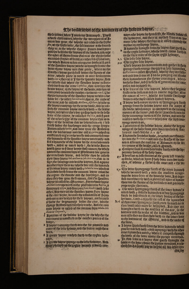 ^ _ mp2#aatompfe,3|l»i|»U reijmc «Kdfcnamc0,tD^ptf)e rtie fntetpjcfers of ai< utcen doe scue,t^p h^pclje atereadeint^cfpjlle of tp fpUlc boUc, fift Doctrine 9 tf)c fourifi cl)ap‘ec,mtl()c toljpcbe cbapter ijulten aoctpptic^ pofclpc Percctbptf)^ bapps of tbc ijanbcs.tafeiPHgc tljpojbec oftfKpitift:ome<Balfn in tbe tbpjibcbofee fniittilcb § Djbct of ff ctidjO’. tatbfc f w 5E)itbaitu0, tlje to^icf) 36tttcm oj ^ig intcrpjetcc botf) cal t part of tf}e 0)oulBei; aapne,li)!)icbe ts bjougbt fcome tt)c iJitcct^jotc Dapne uuo tbat parte, hjpreagtp QJotilbftBapnegoeUjfirft bnDettbcftvpimeof tfje. arme, tepcbe parte tg noteb in otirc beclaration tditb “ ^ < tbcp cal it 3 fap tbe fpatwler bapne.lnD t)e callctl) tljat Mpre tbe l^oulber Papiie tg (tteti cf)cb furti) oii tbe arme O^htiUa ^ t^at ig to fape tbc beabe bapnC, ot tbc bapne of tbcbeaDe,anb ibpg tg comepncD beneatb tbf ncatber»bettocne * (s-f, cbc t bpjDc b)atincf)c of tbe IboulDcr bapne on tobom bic batiefet; bccaUco/«”f»»^''‘«ft>».tf>3tig,tbe cojDeof tf»c armc,aiib Ije caUetb MiiUns,xjpiiaris^\xt’)K\)e 15 ff)e bapne rtmnpngc bp tfje arme boole, anb be cal* Ictbtbe common bapne macbebtottb * tbeblahe bapii ?,anb bibere tbcfc boc go flopebipfe to ibe ie ffc bone oftbc ctibptCjbe caUetbft so/^^^^janbgpart of tbeotbecleggc oftbc common bapnctbatigto fape; of tbc bciufion tbat toe Ipftcncb ro y oj Icb fuctb bnbcr tbc foiefpngcr anb tbc rpngc fpngcc SdtKccncaUctb^j^^^^.anb fome tpmc tbc Itcabians anb tbc baebarous menboc caUits)ft<»«,tobptbig conflitutcb nigbc to tbc totcfle anb comme^) feome tbc bjaunebe of tbe (botilber bapne noteb toitb»anb fro a bjatincbc of tbc bapne bp tbc acmcijolc noteb toitb»,attbit tg noteb toptb i ,tbchJbicbc2Btitcen boctb gctic to t fame bepnc tbofe nameg,tp bifttcb nameg tbc common fo.ttc of Idbifittong boc gcucto ^carmcboolc bapne, anb bcfpbe tbpg be calletb tbpg fame bapne ig to fape,tbc falupngcanb bealtbc bapnes.ifinb agapne anotber fo?tc tberc are toljitbc boe call tbc btauncb of f comon bapne noteb toitb vsakteiu vf»« ^bteb ig nrctcbcbfttttbfcomctbccommon bapne toioarp tbcregton tbctbombcanb tbc fotcfpngcr.anb to tbpstbcpboc geue tbefenameg, tbat tbc ibcnlbcc bapne ig caUeb bp«#o)coticr, facmcboolcbapne ^xilliris>ettaapcnt(ttf tO tbC pbtntt6StObC®V'/««,J fomtpmcg K's'*,mx> fcmtpmc/w» ^»^«^''.teitb Ipfec otber.lnb tbep cal tbc Iboulbcr bapne J epe bapne 9 tbe care bapne, becaufe ibe inflamatiog of § epea aitbcareg arebeareb bp tbefe bapneg, tiotbetaurc ttbatl^tbe bcgpmipnge bnbec tbe care, iriitcbe tb^gc i^wftotic Bpb folplbclp teaebe. 3lnb tbe toin inon bapric ia calteb bf tbc common fojte^^-iMA* diana&Ctrf oralis^ 128pottion of tbcbolotoe bapnc,bp tbcbibpcbetbc nutriment ia mtntlfceb to tbc ticatber pattea of tbe bobpc, ■ 10 bapne rnnnpnge fttctb into tbe fat panniele anb ' r > ^ » bnto. i 30 greate bapne reaebeb fttetb totbc rpgbte bpb* nape*' ' • 1 ^ gceatebapneigopngc fotbciefteltobnapf*3lnbt ' cons «ape ecbe bapne bp bpm fdfe,i tbe ftpbnepeg, anb tbere ig mp.. .. mout Ipbe tobape tbetfoje ig it calleo coinoiilptbc nmifeec ot mplfepnge baiw*, ^ ^ ^ ^ ^ ^ 30 btaunebe btongbt frompbe bapne matgoetb in* “ totbecpgbtbpbnape,b)bicl)eboetb ciiiinc furti) tn to tbe fatte coate of tbe fapbe cpgbt fepbnape,, tebe lefte febe bapne. tttt Cbe rpgbte febe bapne. ^fjefe bapiicg bo commwnicate anb gatber in tbeft gopnge fuctb pounge tbipggeg ot Iptle btauncbeg, tofwvoH/mcaileb^ipbacb, toberbp tbeparcfafte* ueb anb boecleatteat f baefee potojpng out abtobe tbeiebtaunebegto tbetbpnnecoueringcs, tebVrc* tottb tbe (Ione,aiib § belTelg of genetatton ate com* pofeb aub totappeb in. » «Ibe fcatcohbc febe bapneg,fobecetbepbcginne fp^ftetobefoiDeninanb to tourne togetbec aftec tbc maner of sorites ^ tobiebe are btoabe fioelipnge bapnea otberbjpfe talleb bjobeb bapneg. I 30 bapne tottb manpeiopntes of fp^tnginges furtft gopnge from tbcbolotoe bapne uno tbe maepe 0^ tbe bacbe.b^icb marpe ta contaptieb in tbctunitng iopntfg of tbelo}>nc0,anb tbcncepiocebetbfntotbe fapbe totirnpnge iopntea oftbc lopnea,anb into tbc nmfciea toitb tbe/’'*»»'»» tobicb boe tbe fapb tour* npnge iopntea on. • t partitton of tbc bolotoe bapne, aboue tbe begpm' npnge of tbc boipe bone,into ttoo trunebeg ot llot* bfgnot mutbbnlplteA V .« 30 bjauncbe (bmtobat b)obe j beupbeb ouee^toart* Ipe into tbe feritomm anb fnto tbe flcaflbe ibe lop» uea 9 alfo into tbc mufclca of 30bbomen ot tbe bt* *• ? i ' X •• •* f ^ Certapne fnial biauncbea fenbef urtb into tbebp* permote booleaof tbe bolp bone» ^ , 30 betiifion ot biftribtitton of tbe great left trnncftc ' ot lloc}te,tobid) ia bpon § bolp bone into ttoo btafi* ebeg, of tobome i Ibctoeib tbc innet anb * tbebt* ter. T,T Cbe btter fptpngpnge fuctb oftbc innec btauncb tobitbctoc noteb toitb § mto tbe mufcles occupp* inge tbc btter feate of tbc baunebe bone,3tnb bige< fteb ouettbtoattlp toitb a plentifuil otbetof btaum ibea mto tbe fbpnne of tbe bottocKea anb pactea lU pngcnpgbe tbernnto. V Cbe inner fptpngpnge furtb of tbe tnnec btaunc!-c noteb tott!) s onbtbcbtatmcbeaofbtsfpnmapnae fnttb bc biftnbiitfb in tbclotoer booleaoftbdjo* lptbone,xanb4crptciretbeceftof tbe btannebeg of tbpg inner fptmgpugcfurtb,fuea romiicbaa in tbpglmaUtablcmapebe bcffrpbeb. 36ab tbep are btougbtcfurt!) to tbe mufcleg of tbc arce to tbe bottome anb tbe nrctvc of tbe blabber.anbintoot nien alfo tbep are Ktetcbcbfuttb to tbclotoer feate tbefam?.‘°’'°^ anbtotbcnecfeepC 6 30 bapne fpteb fitittb from tbc btter btaunebe tobftfl pourcemarlicbtoitb «anb lopnpngetoitliflteotbct !iJ”i bibere it crcapctbtfnougft Pteupe membtegj 90«^ tbtougbc tb« «cmembteg.drc^ aU bispfbcccpr) >- i -