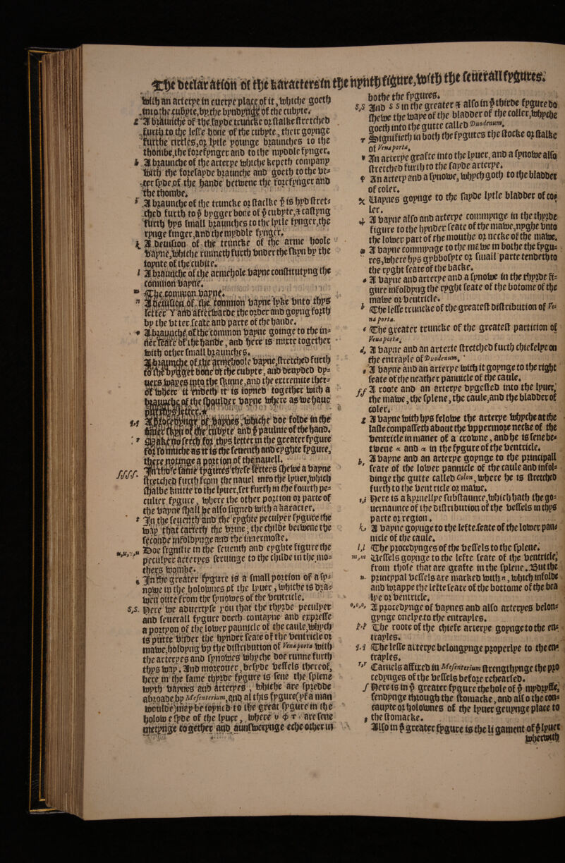 artetpe tn r uerpe plajc,^ of tt jteljttfje goctft ‘aftbecubptc.- 4nip.mfwopie,Dpirjc opnopnttk Pi roe «lupu-v e''^ bf ib«^,tapl)etturicRc ojftalfecftcctcbet» lcn‘c bone of tbc tttbptc, tbetc fiopngc ,,.(,oj Iptic pounge bjatmcbes totbe tbbnibc.tbe foie fpngec anb tottje nipDDlcfpngcr, * HlbjaiintbcoftbeartecptWacbebepetb companp Mti) t!)c fojicrapbe biatincbe anb goctb to tbc bt^ tJtorfpbejof tbe banbc bcttocnc tbc fojcfpngec abb .tbetbonibe* . „ * ,28 bjauntbe of tbe tttintbe o? (laclfee f ib bPb (fret< -theb fttctb to§ bpggerbonc of ^tubptf,?tta(ti>ng tu«b bps fmall bjauiubfstotbelptle fpiigfMbo rpnge finget,anb tbenipbble fpngft» ' i iS beniOoa of-tU| ttiincbe of Ibc batme^bibiciic ttmnftbfbctbbnbertberapnbp tbc iopnteoftbettibite. , I l,b?anatbe of ibe atmebole bapne conditutpng tbe cbftribori b'apfie* ‘ J' '■ i i , l ^bbimoh bapnc Ipbe bnto tbps Khtc Yaiibiftf tfbacbefbcojiDecaiib gopng^f^^^ bp tbebttccfcaXcanb parte of tbebanbe, « ILbiapucbftoftbeeominonbapiie goingc to tfje in=> accW#c‘bfibtbanbe, anb bere isnnrtc togctber feitb otberrmaUbJ,aniVb.fP«^ .=-^ . ., abmdie ofJtbc a^wole bapnc,(h:et^^ fsWimiet bimeift m tabpte, anb beapbcb bp* I tlje tbinne.ano tbe ett eemite tbet^ S^ls iopneb togetbcc btttba fto? attblpattliifeof tbe banb< ^if^«bs#tbefetten^anbepgbtefpg« thccf iiottngcapou(gboftb|natteU.' ,- rrrr Jaiflb^fe^i-fFgOT^iWewtecs Ojetoe a bapne arettbebfutt&fpntbenauel tntotbelpu€r,tobifb (balbe bintie to tbe ipucr,rf t fnttb ta ebe fourtb pc^ ttiUer fpguve, tobere tbe otbec pojtion oi parte of tfte bapne Iball bc alfo figneb toftb a baract er* ■ * tbc fcueiltb^bnb «teYpgbte pectiiper fpgtirc tbe toap' tbat fatfetb tb^ bwhe, tbecbilbe bcttoenc tbe' feconbe pifblbpnge anb tbc iiWf ciiioflc* „ aDoefigmfictn tbc ffuentb anb epgbtefigttrctbc • pcciUpcr artcrpes fectunge to tbc cbilbe in tUe mo- tberstoonibe.  • . . „ , . e '^ni^ gtcbtihr ^itrc ts a fniallpottion of afp- nptoctntbc bololonesof tbc Ipttcr jlubicbetsbjai’ tofii btite froni tbc fpnotDf s of tbc bcntriclc* s,s. i^crc toc abucrtpfc pbu tbat tbc tbp?bc pccnipcc anb fciicrall fpgtirc Doetb-contapne anb ceptcffc a pottpon of tbc lotocc paiinjclc of tbc caHlc,iW)pcb is putte bitbec tbc bpbbcr feate 6 {tbc bcntriclc ot inatoe bolbpng bp tbcbiftribtitton of toitb tbc artcrpes anb fpiiobics tobpcbc bocrunncfurtb tbps toap* anb inoteouec.bffpDe bcllcls tbcrcof, bere in tbc.fame tbWbe fpgitre is fcnc tbc fplcne toptb baptics anb aftcrpcB , tobiebc ace fpjcbbc abioabe bp al tbis fpgure(pf a man tootilbV^ntapbeibpncbto tbe gecat fpgtttc in tbe njetpngc tbgetbcc aob. autiflDetpngc e^eotbet iii botbe tbe fpgurcs- 3i!nD s s tn tbe greatet ?(alfoinf tbitbe fpguteboi ffictue tbelnapeof tbe blabberof tbecoller,tobpcbe ctoertj into tbe gutte calleD Duodenum, r Sifietb tn botb tbc fpgtttes tbe (loclte oj ftalbe (\lVfnd porta ^ »3!,| arterpe gcafte into tbe Ipucr, anb a fpnolwe alfo (Iretcbcbfwrtbtotbefapbeartcrpc* i f 3nartetpanDafpnotoe,li)bpcbgt*tb to ibe blabbet % JLtapnes gopnge to tbe fapPe Iptie blabber of co^ IfC jL 28 bapne alfo anb arterpe coinmpnge in tbe tbpjbe fiacirc to tlie bpnbee feate of tbc matoc,npgbe bnto tbclotoeepartoftbcniowbe o?nctUeoftbe matoc. « 3 bapne coinmpngc to tbe matoc in botbe tbc fpgu* ' rc0,tolicrcbpsgpbborptco? fuiaU partctcnbetbto tberpgbtfcatcoftbcbacbc* ^ ^ ^ 4 3 bapne anb arterpe anb a fpnotoc in tbe tfipjbe ft^ gure tnfoibpng tbe rpglit feate of tbe botome of tbe matee otbcntritle* ^ Cbc IfIfe triintUc of ti)e geeateU billributioa of na porta. * ®bc gceatec trimcfee of tbe greatell particion of Veuapofta^ i, 3 bapne anb an artciic llrettbcb furtb cbicfclpc on tbccntraplcof®«‘’<t««“*' , ’3 bapne anb an arterpe toitb it gopnge to tbc rigbt feate of tbe neatber patmiclc of tbe caule. ff 3 rootc anb an arterpe bpgcfteb into tbe Iptiet,’ tbe inatoe, tbe fplene, tbc caule,anb tbe blabber of z 3bapnetoitbbP0felotoe tbe arterpe tobptbeattbe - laQecompairetbabonttbebppermo^necbeof tbe bentricle in maner of a ttotonc,anbbe tsfenebe* ttoene« anb «in tbe fpgutc of tbe bentricle. L 3 bapne anb an arterpe gopnge to tbe puncipall ' feate of tbe lotoer pannicle of tbe caule anb infol* bingetbc gutte callebe()/oM,toberc be ts (teetebeb f urtb to tbe bent «cie o? matae. M l^ecc is abp^nellpe fubflauncejtobicbbiitb tbego= uctnannteoftbebtScibiitionoftbe belfclsttitbps parte o.iregion. K> 3 bapne gopnge to tbc lef teXeate of tbe lotoer paiw ntcle of tbe caule. i.i <Cbf pioccbpnges of tfte belTels to tbe fplcne. m,>u ^jciTers gopnge to tbe lefte feate of tbe bentriclej from tbole tbatare gcaftc in tbe fplene .3&ut tbc #• pjttuppal befiels are inarbeb toulj«, tobtcb infolbe * anb toiappe tbe lefte feate oftljebottoinc of tbc bea Ipeoi bentricle. 3p,r6cebpngeofbapne0anbalfo artcrpesbeloni gpnge onelpeto tbe entraples. tEbe rooteof tbc cbiefe arterpe gopnge to tbe em < traples. ; Cbeleircatterpcbclongpngeptoperlpe to tbcem > traples. Carneis affircb in-w>/wmttm(itcngtbpnge tbe pjo cebpngcs of tbe belfels befote r ebeacfcD. /Ibereistn^ grcatcrfpguretbcboleof^ mpb.ipffif;; fenbpnge tbiougb tbe (lomacbc, anb aU o tbe con* taupte 01 bolotones of tbe tpuer geupngc place tP