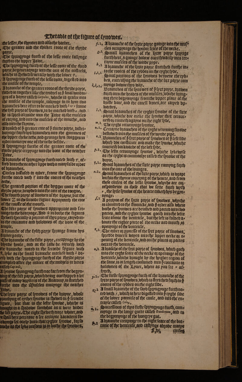 f^eldTer,!^ t^pnner anti alfo tl)e ^ Ctie greatet; anO t\it t^icHec coote of P8P.ZC* ; fpzlnspngc fcitff) of t^c leffc coote fallpnge fo?tf; tot^e topper 31atoc,. ; ^ttoe fptpngpns furtlj of tlje lelTe coote of tlje HjicD papie.toegenecatpngc into ttoe cote oftlje noftcels, to!jicl)c ts f^etoel) feuccallp toitlj t^e lotoec fp* » 35 fpjipngpnge fuctf) of tfje Icffe rootc, toigefteto foto tUe imiftfe of ttje teniple* , 35 b.zaunttoe of tfje greatec coote of tfje ttoptoc papte, folDeto in togctljec ItUe tbe teniizel ot ^ fmal tointom^ geo of a toapne calleto c^rpoius , toljiclie i0 gcaftc tnto ttoe iiiufcle of tl)etemple,.taivpnge fn to ijpm tioo bjaunc!;es bcce aftec to fae niacKeto toitl) ^ c?- ‘ frotiic ■ tbe fpft papjte of fpiiotoe0,to be marbcto tottfj <*. anto Ije torpjetoabioatoe fnto tfje Jatoe oj,tbennifcle0 of eatpng,anto itito tbc m«fcle0 of ttje moutlje, anto alfotntotbeftopnne* , 35 bjauclj of § gceatcc cote of p tbictoe papje, toiftci=» biitpngefo?tljl)p0b.zattncf)e6into tfjc gtitimietoof tIjeiJPPft cbefec tetf)c,anto geiiinge bp0 ttoigges wi ojtoectoeuecpe one of tbe tctbe facfttoe* 35 fptpngpnge furtbe of tlje gceatcc coote of ttoc' tbictoe papje cceppnge itito t^e bone of tlje neatfjec '^atoe. ' 35 biauncbc of fpjipgpnge furti; noteto tof tlj r, of< freto tontattoentatl;ec lippe tottba inanpfoltoeo^toee of btatmcbeo* Ciccle0 tolffufeto tn ottoec, fronte tbe fp^pngpnge fttctbe noteto toitb T tnto ^e cootea of tbe neatbec ‘tctbe* Ct;e greateft pottfon of i^e bpggec coote of tbe (Ijpjtoe papiCjiieuptoeto tnto tl;e cote of tfje tongne«. Cbf foucttopapteo^finotoesoftfje bjapne^bnt tOe - lotoec Z irttbefcconDeftgttce appopntert; ttoecote of tfje tottffe of4)ci moutl)* Cbeftftepapje of fpnotoea appzoptiate anto fec< tiingetotbelteacpnge>35nto $ tnbott;etl;e figucea fljctoeti; fpeciallp a pojtion of tbpa pap;e,cacpcto tns to tbe concatitte anto bololonea of tf;e bone of tt;e temple» 35b;auncbe of tfjt fpftij papze Tp.zonge fconic top0 fopecpacte* iCfje bjatinclje of tbe ftfte pap.ze, cceappnge bp tfje' bipntoe !toole,anto at tbe falle be topnetb toitb t';e bjanncbe noteto tn tbe fecontoe fpgtice tottb 5l,lpfee 80 tbe fmall bzatincbe matfeeto tmtb ^ too=> etf; toitb tbe fi);pngpage fnctbof tbe tbp;Depap;c ccttmpleto aftec tbe maiiec oftbetento.telatntotnea calleto 35 fpnotoe fpjtngpngftictbnotfacfcom tbebegpui iiing of tbe f tft pap je,tDbtcb being ouecbippeto ^ let paffe of manp tojpttecaof tbe 35natoinp,i0 (Icetcbeto ftictbe tnto tbe ^ttfclea niouptige tbe neatbec laioe* : . Cbefpicte papte of fpnotoea oftbe b;apne,tDbore p^ocetopng of eptbec fpnotoe is flbetoeto tn § fecontoe bguce, totit 'tbat ta tbe lefte fpnotoe, tobtcbe is lipiugbttna (batootoe fomibbat aatt toece tontoec %e fift pap^«Cbe ctgbt Ibetoetb mofe tobttec,anto ^iballbecepecceatte ^ fee cectapne bacacteca fo* otopnge fet onelp tonto tbat cpgbte fpnotoe, ffo s /. t* 31 bfaimcbe oftbe fppte papte gofngc fnt o tbe mtir? cies occtippengc tbe bpntoecfeateof tbe tiecfte» ' Snnall bjauncbes of tbe fp/Cte pap^e fp.tpnge fiirtbbece.jgoingc toobwe duectbtoactlp tnto cer^ . tapneinurclesoftbetbintoepppe» 35btauntbe oftbefpjctepapjie ftcetcbeto ftictbetni /♦i,! cootcs of tbe cpbbes on tbe rpgbt fptoe, ^nialpo;tionsof tbe fpnotoes bettoene tberpbi b ea, encceafpng tbe bianncbe of tbe ftjct papje coin •apasetootonetbpstoap* 33:atincbes of tbe fpno toes of •§ fpict pap;e, to;atoeti foub tnto tbe bcaoes of tbe miircle6,tobtcbe tojings ingtbetcbegpnnpnge fcom tbe topper place oftbe bzede bone, anto tbe canell bonea.ace caepeto bp^ toartoca* - ' S>inalfatattncbea of tbe cpgbte fpnotoe of tbe ficte - papte, tobiebe tooe niabe tbe fpnotoe tbat cetouci ^ tietb oj rtinnetb agapne ou tfje ctgbt fptoe* • 'Cbe rpgbt retucnpngc fpnotoe* Cectapne bzattncbcs oftbe rpgbtrefttmtng finotoe bcflotocto tnto tbe mufcles of tbe topntoe pipe* ^ 23;attncbes of f fpict papje of fpnotoes of § left fitoe . tobtcb tooe conftittitc anto mabe tbe fpnotoe,tobicbe tourrietb bacbtoartoc of tbeleftfptoe* e‘*«!gcbeleftecetucnpnge fpnotoe, tobiebe Ipbetopfc aa tbe rpgbt ia coninionlpe calleto tbe fpnotoe oftbe toopee,- ^raal bjatincbea of tbe ficte papje ctinnpng foztb into tbe cote oftbclonngeo. ^malbjauncbea oftbe ficte pap?e,tobtcb tstojapt tottbttt tbe tbpnne cotiecpng of tbe bearte,anto fcoin tbefe ctcclea of tbe lefte fpnotoe, tobpcbe are co^- cefpontoente to tbefe tbat toe fette fo^tb toptbt . npnge* 35 pouppn of tbe fpcfe papic of fpnotoea, tobp^e tscomtttetototbe lton]ac{te,anto#oztoetalfo ^ere botbe tbe fpnotoea ace toeuttoeto anto pacteto tpto ttoo partes, anto tbe cpgbte fpnotoe goetbtnto^c lefte feateabone tbe Uentctcle, but tbe left tafoltoetoa^ boiite tbe ctgbte pacte of tbe necbe anto nioittb,oj op«ipnge 0 f tbe bentctcle* Cbe ojtoec oz pjocelTe of tbe fpet papte of ffnotoea,’ fp.zetotoe totueefe toapes tnto tbe bppec necbe o; 04 pentng of tbe benttttle,anto on tbe places oz partes nectto tbe bentctcle, «*t 35bjaucbeoftbefpctpapzeof rpnotoes, tobtcb gotb tnto tbe rpgbt feate of tbe necbe o; opentnge oftbe t)entcicle,tobtfbe bzougbt bp tbe bpgbcc cegion of tbe fame,ts at lengtb confunteto tnto § concatitte o$ bolotones of tbe jtpuee, tobece aa poit fee * af> fpeeto* ,;z* Cbeftcllerpzpngpngefuctb oftbe bjauncbc oftbe fpete pap;e of fpnotoea,ti^icb is (Icetcbeto fo^tb to § cootea oftbe cpbbes ontbe ctgbtfttoe* »*z 35fniaUbtaiincbeof tbefaptofptpngpngeftictbnos teto tottb J, tobtcb ts bece tof gelleto tnto § rpgbt fttoe oftbe lotoec panntcle oftbe caule, anto titto^cen* tcaple calleto cd/o», 5,2., ^uccefftons of tbps ftcflc fpjpngpnge fuctb, coms mpnge to tbe longe gutte calleto nuoJe/tm^nnD to tbe bcgpnnpngc ot tbe bungepe gut. ^ an^uncbecceaptngetotbectgbtfeateoftbebot^ r»* Anti UMOOC maUM iiPf» I
